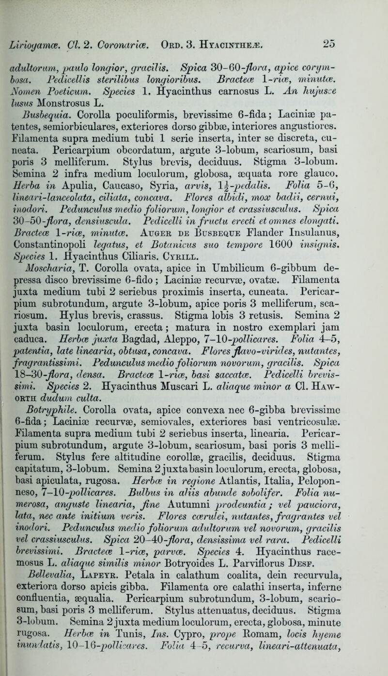 adultorum, paulo longior, gracilis. Spica 30-60-flora, apice corym- bosa. Peclicellis sterilibus longioribus. Bractece 1-rice, minutce. Nomen Poeticum. Species 1. Hyacinthus carnosus L. An hujusce Insus Monstrosus L. Busbequia. Corolla poculiformis, brevissime 6-fida; Laciniae pa- tentes, semiorbiculares, exteriores dorso gibbae, interiores angustiores. Filamenta supra medium tubi 1 serie inserta, inter se discreta, cu- neata. Pericarpium ob cor datum, argute 3-lobum, scariosum, basi poris 3 melliferum. Stylus brevis, deciduus. Stigma 3-lobum. Semina 2 infra medium loculorum, globosa, aequata rore glauco. Herba in Apulia, Caucaso, Syria, arvis, 1 \-pedalis. Folia 5-6, lineari-lanceolata, ciliata, concava. Flores albidi, mox badii, cernui, inodori. Pedunculus medio foliorum, longior et crassiusculus. Spica 30-50-flora, densiuscula. Pedicelli in fructu erecti etomnes elongati. Bractece 1 -rice, minutce. Auger de Busbeque Flander Insulanus, Constantinopoli legatus, et Botanicus suo tempore 1600 ins ignis. Species 1. Hyacinthus Ciliaris. Cyrill. Moscharia, T. Corolla ovata, apice in Umbilicum 6-gibbum de- pressa disco brevissime 6-fido; Laciniae recurvae, ovatae. Filamenta juxta medium tubi 2 seriebus proximis inserta, cuneata. Pericar- pium subrotundum, argute 3-lobum, apice poris 3 melliferum, sca- riosum. Hylus brevis, crassus. Stigma lobis 3 retusis. Semina 2 juxta basin loculorum, erecta; matura in nostro exemplari jam caduca. Herbce juxta Bagdad, Aleppo, 7-10-pollicares. Folia 4-5, patentia, late linearia, obtusa, concava. Flores flavo-virides, nutantes, fragrantissimi. Pedunculus medio foliorum novorum, gracilis. Spica 18-30-flora, clensa. Bractece 1 -rice, basi saccatce. Pedicelli brevis- simi. Species 2. Hyacinthus Muscari L. aliaque minor a Cl. Haw- orth dudum culta. Botryphile. Corolla ovata, apice convexa nec 6-gibba brevissime 6-fida; Laciniae recurvae, semiovales, exteriores basi ventricosulae. Filamenta supra medium tubi 2 seriebus inserta, linearia. Pericar- pium subrotundum, argute 3-lobum, scariosum, basi poris 3 melli- ferum. Stylus fere altitudine corollae, gracilis, deciduus. Stigma capitatum, 3-lobum. Semina 2 juxta basin loculorum, erecta, globosa, basi apiculata, rugosa. Herbce in regione Atlantis, Italia, Pelopon- neso, 7-10-pollicares. Bulbus in aliis abuncle sobolifer. Folia nu- merosa, anguste linearia, fine Autumni prodeuntia; vel pauciora, lata, nec ante initium veris. Flores ccerulei, nutantes, fragrantes vel inodori. Pedunculus medio foliorum aclultorum vel novorum, gracilis vel crassiusculus. Spica 20-40-flora, densissima vel rara. Pedicelli brevissimi. Bractece 1-rice, 'parvce. Species 4. Hyacinthus race- mosus L. aliaque similis minor Botryoides L. Parviflorus Desf. Bellevalia, Lapeyr. Petala in calathum coalita, dein recurvula, exteriora dorso apicis gibba. Filamenta ore calathi inserta, inferne confluentia, aequalia. Pericarpium subrotundum, 3-lobum, scario- sum, basi poris 3 melliferum. Stylus attenuatus, deciduus. Stigma 3-lobum. Semina 2 juxta medium loculorum, erecta, globosa, minute rugosa. Herbce in Tunis, Ins. Cypro, prope Bomam, locis hyeme inundatis, 10-10-pollioaves. Folia 4-5, recurva, lineari-attenuata,