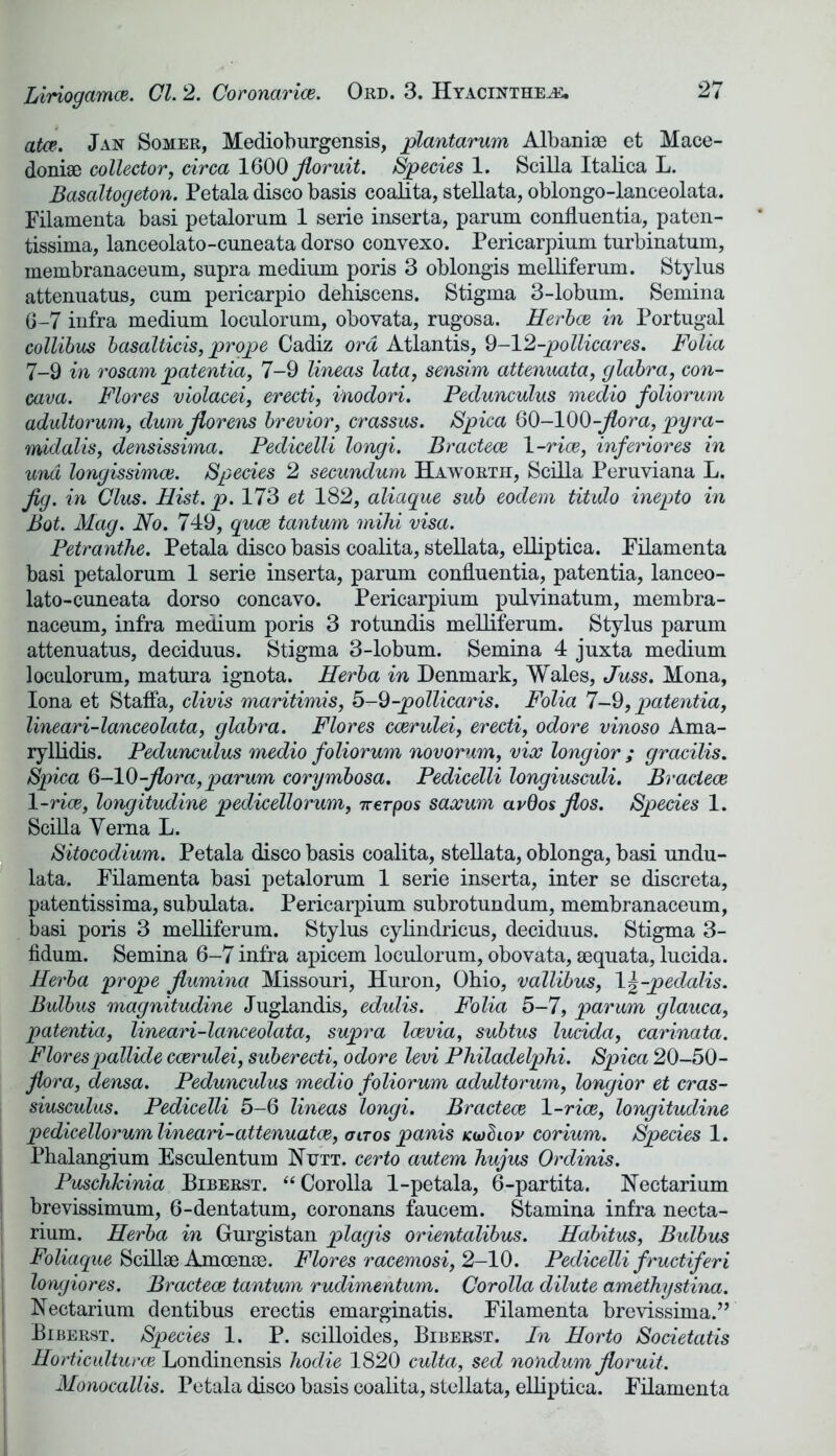 atce. Jan Somer, Medioburgensis, plantarum Albanise et Mace- donia collector, circa 1600 floruit. Species 1. Scilla Italica L. Basaltogeton. Petala disco basis coalita, stellata, oblongo-lanceolata. Filamenta basi petalorum 1 serie inserta, parum confluentia, paten- tissima, lanceolato-cuneata dorso convexo. Pericarpium turbinatum, membranaceum, supra medium poris 3 oblongis melliferum. Stylus attenuatus, cum pericarpio dehiscens. Stigma 3-lobum. Semina 6- 7 infra medium loculorum, obovata, rugosa. Herbce in Portugal collibus basalticis, prope Cadiz ord Atlantis, 9-12-pollicares. Folia 7- 9 in rosam patentia, 7-9 lineas lata, sensim attenuata, glabra, con- cava. Flores violacei, erecti, inodori. Pedunculus medio foliorum adultorum, dumflorens brevior, crassus. Spica 60-100-flora, pyra- midalis, densissima. Pedicelli longi. Bracteae 1 -rice, inferiores in und longissimce. Species 2 secundum Haworth, Scilla Peruviana L. Jig. in Clus. Hist. p. 173 et 182, aliaque sub eodem titulo inepto in Bot. Mag. No. 749, quae tantum mihi visa. Petranthe. Petala disco basis coalita, stellata, elliptica. Pilamenta basi petalorum 1 serie inserta, parum confluentia, patentia, lanceo- lato-cuneata dorso concavo. Pericarpium pulvinatum, membra- naceum, infra medium poris 3 rotundis melliferum. Stylus parum attenuatus, deciduus. Stigma 3-lobum. Semina 4 juxta medium loculorum, matura ignota. Herba in Denmark, Wales, Juss. Mona, Iona et Staffa, clivis maritimis, 5-Q-pollicaris. Folia 7-9, patentia, lineari-lanceolata, glabra. Flores caerulei, erecti, odore vinoso Ama- ryllidis. Pedunculus medio foliorum novorum, vice longior ; gracilis. Spica 6-10 -flora,parum corymbosa. Pedicelli longiusculi. Braciece 1 -rice, longitudine pedicellorum, 7rerpos saxum avQos flos. Species 1. Scilla Verna L. Sitocodium. Petala disco basis coalita, stellata, oblonga, basi undu- lata. Filamenta basi petalorum 1 serie inserta, inter se discreta, patentissima, subulata. Pericarpium subrotundum, membranaceum, basi poris 3 melliferum. Stylus cylindricus, deciduus. Stigma 3- fidum. Semina 6-7 infra apicem loculorum, obovata, sequata, lucida. Herba prope flumina Missouri, Huron, Ohio, vallibus, \\-pedalis. Bulbus magnitudine Juglandis, edulis. Folia 5-7, parum glauca, patentia, lineari-lanceolata, supra Icevia, subtus lucida, carinata. Florespallide caerulei, suberecti, odore levi Philadelphi. Spica 20-50- flora, densa. Pedunculus medio foliorum adultorum, longior et cras- siusculus. Pedicelli 5-6 lineas longi. Bracteae X-rice, longitudine pedicellorum lineari-attenuatce, a or os panis kojSiov corium. Species 1. Phalangium Esculentum Nutt, certo autem hujus Ordinis. PuschJcinia Biberst. “Corolla 1-petala, 6-partita. Nectarium brevissimum, 6-dentatum, coronans faucem. Stamina infra necta- rium. Herba in Gurgistan plagis orientalibus. Habitus, Bulbus Foliaque Scillae Amoenae. Flores racemosi, 2-10. Pedicelli fructiferi longiores. Bracteae tantum rudimentum. Corolla dilute amethystina. Nectarium dentibus erectis emarginatis. Filamenta brevissima.” Biberst. Species 1. P. scilloides, Biberst. In Horto Societatis Horticultural Londinensis hodie 1820 culta, sed nondum floruit. Monocallis. Petala disco basis coalita, stellata, elliptica. Filamenta
