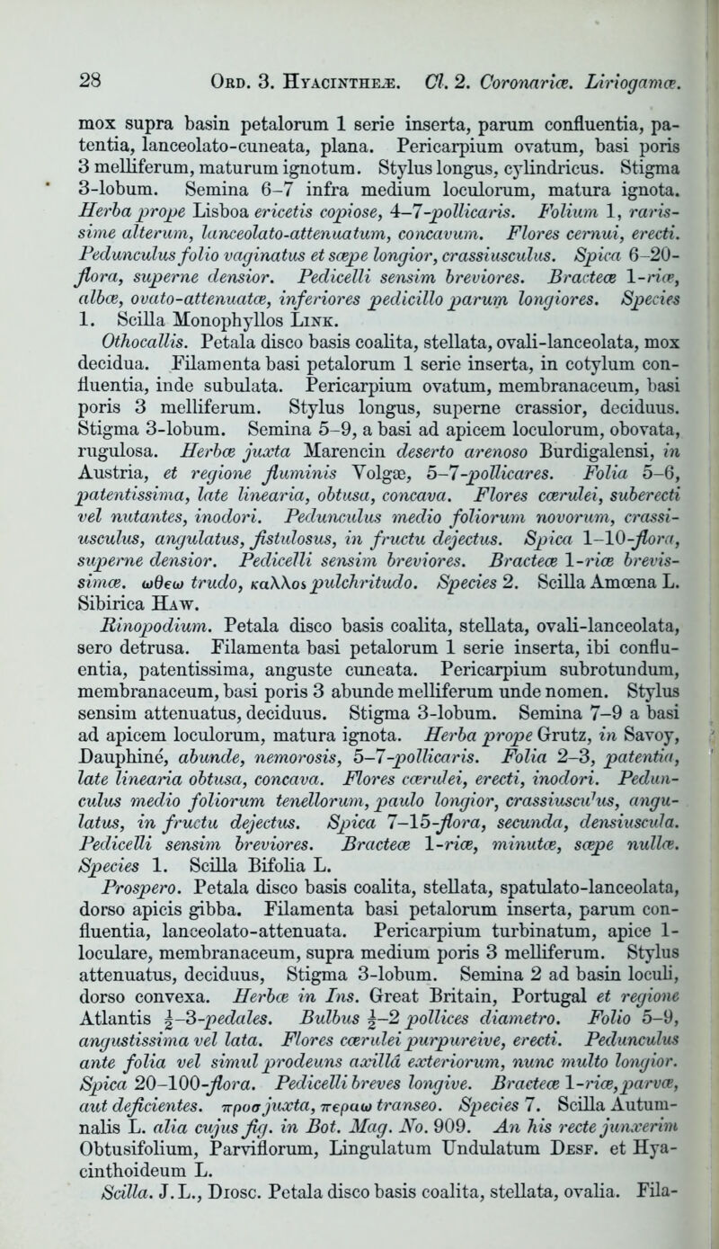 mox supra basin petalorum 1 serie inserta, parum confluentia, pa- tentia, lanceolato-cuneata, plana. Pericarpium ovatum, basi poris 3 melliferum, maturum ignotum. Stylus longus, cylindricus. Stigma 3-lobum. Semina 6-7 infra medium loculorum, matura ignota. Herba prope Lisboa ericetis copiose, 4—7 -pollicaris. Folium 1, raris- sime alterum, lanceolato-attenuatum, concavum. Flores cemui, erecti. Pedunculus folio vaginatus et scepe longior, crassiusculus. Spun 6-20- jlora, superne densior. Pedicelli sensim breviores. Bractece 1 -rice, albce, ovato-attenuatce, inferiores pedicillo parum longiores. Species 1. Seilla Monophyllos Link. Othocallis. Petala disco basis coalita, stellata, ovali-lanceolata, mox decidua. Filamenta basi petalorum 1 serie inserta, in cotylum con- lluentia, inde subulata. Pericarpium ovatum, membranaceum, basi poris 3 melliferum. Stylus longus, superne crassior, deciduus. Stigma 3-lobum. Semina 5-9, a basi ad apicem loculorum, obovata, rugulosa. Herbce juxta Marencin deserto arenoso Burdigalensi, in Austria, et regione jluminis Yolgae, 5-7-poUicares. Folia 5-6, patentissima, late linearia, obtusa, concava. Flores ccerulei, suberecti vel nutantes, inodori. Peduncidus medio foliorum novorum, crassi- usculus, angulatus, fistulosus, in fructu dejectus. Spica 1-10-flora, superne densior. Pedicelli sensim breviores. Bractece 1 -rice brevis- simce. lodew trudo, KaWoi pulchritudo. Species 2. Seilla Amoena L. Sibirica Haw. Binopodium. Petala disco basis coalita, stellata, ovali-lanceolata, sero detrusa. Filamenta basi petalorum 1 serie inserta, ibi conflu- entia, patentissima, anguste cuneata. Pericarpium subrotundum, membranaceum, basi poris 3 abunde melliferum unde nomen. Stylus sensim attenuatus, deciduus. Stigma 3-lobum. Semina 7-9 a basi ad apicem loculorum, matura ignota. Herba prope Grutz, in Savoy, JDauphine, abunde, nemorosis, 5-7 -pollicaris. Folia 2-3, patentia, late linearia obtusa, concava. Mores ccerulei, erecti, inodori. Pedun- culus medio foliorum tenellorum, paulo longior, crassiuscu7us, angu- latus, in fructu dejectus. Spica 7-15-flora, secunda, densiuscula. Pedicelli sensim breviores. Bractece 1-rice, minutce, scepe nullce. Species 1. Seilla Bifolia L. Prospero. Petala disco basis coalita, stellata, spatulato-lanceolata, dorso apicis gibba. Filamenta basi petalorum inserta, parum con- fluentia, lanceolato-attenuata. Pericarpium turbinatum, apice 1- loculare, membranaceum, supra medium poris 3 melliferum. Stylus attenuatus, deciduus, Stigma 3-lobum. Semina 2 ad basin loculi, dorso convexa. Herbce in Ins. Great Britain, Portugal et regione Atlantis ^-3-pedales. Bulbus |-2 pollices diametro. Folio 5-9, angustissima vel lata. Flores ccerulei purpureive, erecti. Pedunculus ante folia vel simul prodeuns axilla exteriorum, nunc multo longior. Spica 20-100-flora. Pedicelli breves longive. Bractece 1-rice,parvee, aut deficientes. irpoa juxta, Treputo transeo. Species 7. Seilla Autum- nalis L. alia cujus jig. in Bot. Mag. No. 909. An his recte junxerim Obtusifolium, Parviflorum, Lingulatum Undulatum Desf. et Hya- cinthoideum L. Seilla. J. L., Diosc. Petala disco basis coalita, stellata, ovalia. Fila-