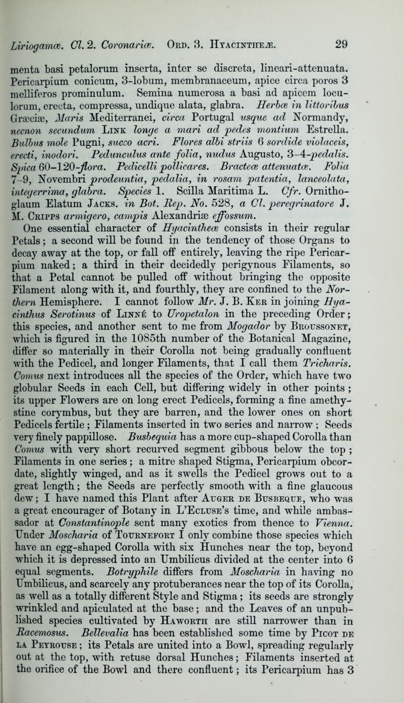 menta basi petalorum inserta, inter se discreta, lineari-attenuata. Pericarpium conicum, 3-lobum, membranaceum, apice circa poros 3 melliferos prominulum. Semina numerosa a basi ad apiccm locu- lorum, erecta, compressa, undique alata, glabra. Herbce in littoribus Graeciae, Maris Mediterranei, circa Portugal usque ad Normandy, necnon secundum Link longe a mari ad pedes montium Estrella. Bulbus mole Pugni, succo acri. Flores albi striis 6 sordide violaceis, erecti, inodori. Pedunculus ante folia, nudus Augusto, 3-4-pedalis. Spica 60-120-flora. Pedicelli pollicares. Bractece attenuates. Folia 7-9, Novembri prodeuntia, pedalia, in rosam patentia, lanceolata, integerrima, glabra. Species 1. Scilla Maritima L. Cfr. Ornitho- glaum Elatum Jacks, in Bot. Rep. No. 528, a Cl. peregrinatore J. M. Cripps armigero, campis Alexandriae effossum. One essential character of Hyacintheai consists in their regular Petals; a second will be found in the tendency of those Organs to decay away at the top, or fall off entirely, leaving the ripe Pericar- pium naked; a third in their decidedly perigynous Filaments, so that a Petal cannot be pulled off without bringing the opposite Filament along with it, and fourthly, they are confined to the Nor- thern Hemisphere. I cannot follow Mr. J. B. Ker in joining Hya- cinthus Serotinus of Linn£ to Uropetalon in the preceding Order; this species, and another sent to me from Mogador by Broussonet, which is figured in the 1085th number of the Botanical Magazine, differ so materially in their Corolla not being gradually confluent with the Pedicel, and longer Filaments, that I call them Tricharis. Comus next introduces all the species of the Order, which have two globular Seeds in each Cell, but differing widely in other points ; its upper Flowers are on long erect Pedicels, forming a fine amethy- stine corymbus, but they are barren, and the lower ones on short Pedicels fertile ; Filaments inserted in two series and narrow ; Seeds very finely pappillose. Busbequia has a more cup-shaped Corolla than Comus with very short recurved segment gibbous below the top ; Filaments in one series; a mitre shaped Stigma, Pericarpium obcor- date, slightly winged, and as it swells the Pedicel grows out to a great length; the Seeds are perfectly smooth with a fine glaucous dew; I have named this Plant after Auger de Busbeque, who was a great encourager of Botany in L’Ecluse’s time, and while ambas- sador at Constantinople sent many exotics from thence to Vienna. Under Moscharia of Tournefort I only combine those species which have an egg-shaped Corolla with six Hunches near the top, beyond which it is depressed into an Umbilicus divided at the center into 6 equal segments. Botryphile differs from Moscharia in having no Umbilicus, and scarcely any protuberances near the top of its Corolla, as well as a totally different Style and Stigma; its seeds are strongly wrinkled and apiculated at the base; and the Leaves of an unpub- lished species cultivated by Haworth are still narrower than in Racemosus. Bellevalia has been established some time by Picot de la Peyrouse ; its Petals are united into a Bowl, spreading regularly out at the top, with retuse dorsal Hunches; Filaments inserted at the orifice of the Bowl and there confluent; its Pericarpium has 3