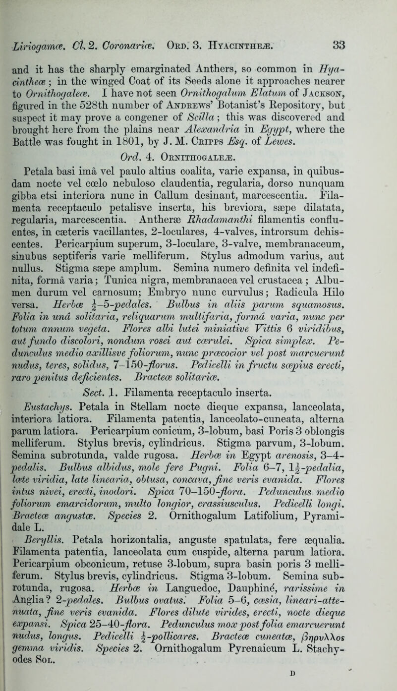and it has the sharply emarginated Anthers, so common in Hya- cinthece ; in the winged Coat of its Seeds alone it approaches nearer to Ornithog alecs. I have not seen Ornithogalum Elatum of Jackson-, figured in the 528th number of Andrews’ Botanist’s Repository, hut suspect it may prove a congener of Scilla; this was discovered and brought here from the plains near Alexandria in Egypt, where the Battle was fought in 1801, by J. M. Cripps Esq. of Lewes. Ord. 4. ORNITHOGALEiE. Petala basi ima vel paulo altius coalita, varie expansa, in quibus- dam nocte vel coelo nebuloso claudentia, regularia, dorso nunquam gibha etsi interiora nunc in Callum desinant, marcescentia. Eila- menta receptaculo petalisve inserta, his breviora, ssepe dilatata, regularia, marcescentia. Antherae Rhadamantlii filamentis conflu- entes, in caeteris vacillantes, 2-loculares, 4-valves, introrsum dehis- centes. Pericarpium superum, 3-loculare, 3-valve, membranaceum, sinubus septiferis varie melliferum. Stylus admodum varius, aut nullus. Stigma saepe amplum. Semina numero definita vel indefi- nita, forma varia; Tunica nigra, membranacea vel Crustacea; Albu- men durum vel carnosum; Embryo nunc curvulus; Radicula Hilo versa. Herbes \-h-pedales. Bulbus in aliis parum squamosus. Folia in und solitaria, reliquarum multifaria, forma varia, nunc per totum annum vegeta. Flores albi lutei miniative Vittis 6 viridibus, aut fundo discolori, nondum rosei aut ccerulei. Spica simplex. Pe- dunculus medio axillisve foliorum, nunc prcecocior vel post marcuerunt nudus, teres, solidus, 7-150-florus. Pedicelli in fructu scepius erecti, raro penitus dejicientes. Bractece solitaries. Sect. 1. Eilamenta receptaculo inserta. fEustachys. Petala in Stellam nocte dieque expansa, lanceolata, interiora latiora. Eilamenta patentia, lanceolato-cuneata, alterna parum latiora. Pericarpium conicum, 3-lobum, basi Poris 3 oblongis melliferum. Stylus brevis, cylindricus. Stigma parvum, 3-lobum. Semina subrotunda, valde rugosa. Herbes in Egypt arenosis, 3-4- pedalis. Bulbus albidus, mole fere Pugni. Folia 6-7, 1 \-pedalia, j lode viridia, late linearia, obtusa, concava, fine veris evanida. Flores intus nivei, erecti, inodori. Spica 70—150-flora. Pedunculus medio foliorum emarcidorum, multo longior, crassiusculus. Pedicelli longi. Bractece angustes. Species 2. Ornithogalum Latifolium, Pyrami- dale L. Beryllis. Petala horizontalia, anguste spatulata, fere sequalia. Eilamenta patentia, lanceolata cum cuspide, alterna parum latiora. Pericarpium obconicum, retuse 3-lobum, supra basin poris 3 melli- ferum. Stylus brevis, cylindricus. Stigma 3-lobum. Semina sub- rotunda, rugosa. Herbes in Languedoc, Dauphine, rarissime in Anglia? 2-pedales. Bulbus ovatus. Folia 5-6, ccesia, lineari-atte- nuata, fine veris evanida. Flores dilute virides, erecti, nocte dieque ; expansi. Spica 25-40-flora. Pedunculus mox post folia emarcuerunt i nudus, longus. Pedicelli \-pollicares. Bractece cunecttce, firjpvWos gemma viridis. Species 2. Ornithogalum Pyrenaicum L. Stachy- odes Sol. d