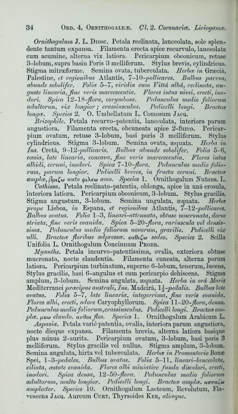 Ornithogalum J. L. Diosc. Petala reclinata, lanceolata, sole splen- dente tantum expansa. Filamenta erecta apice recurvulo, lanceolata cum acumine, alterna vix latiora. Pericarpium obconicum, retuse 3-lobum, supra basin Poris 3 melliferum. Stylus brevis, cylindricus. Stigma mitraeforme. Semina ovata, tuberculata. Herbce in Graecia, Palestine, et regionibus Atlantis, 7-10-pollicares. Bulbus parvus, abunde sobolifer. Folia 5-7, viridia cum Vittd alba, reclinata, an- guste linearia, fine veris marcescentia. Flores intus nivei, erecti, ino- dori. Spica 12-18-flora, corymbosa. Pedunculus medio foliorum adultorun, vix longior; crassiusculus. Fedicelli longi. Bracteoe longce. Species 2. 0. TTmbellatum L. Comosum Jacq. Brizophile. Petala recurvo-patentia, lanceolata, interiora parum angustiora. Filamenta erecta, obcuneata apice 2-furco. Pericar- pium ovatum, retuse 3-lobum, basi poris 3 melliferum. Stylus cylindricus. Stigma 3-lobum. Semina ovata, aequata. Herba in Ins. Creta, 9-12-pollicaris. Bidbus abunde sobolifer. Folia 5-6, ccesia, late linearia, concava, fine veris marcescentia. Flores intus albidi, cernui, inodori. Spica 7-10-flora. Pedunculus medio folio- rum, parum longior. Pedicelli breves, in fructu cernui. Bracteoe amplce, fipi£b) nuto (pi\eu) amo. Species 1. Ornithogalum Nutans. L. Caihissa. Petala reclinato-patentia, oblonga, apice in una erosula, interiora latiora. Pericarpium obconicum, 3-lobum. Stylus gracilis. Stigma angustum, 3-lobum. Semina ungulata, aequata. Herbce prope Lisboa, in Espana, et regionibus Atlantis, 7-12-pollicares. Bulbus ovatus. Folia 1-3, lineari-attenuata, obtuse mucronata, dorso striata, fine veris evanida. Spica 5-20-flora, rariuscula vel densis- sima. Pedunculus medio foliorum novorum, gracilis. Pedicelli vix ulli. Bracteoe floribus aclpressce. kciQi^uj sedeo. Species 2. Scilla Uni folia L. Ornithogalum Concinnum Prodr. Myanthe. Petala incurvo-patentissima, ovalia, exteriora obtuse mucronata, nocte claudentia. Filamenta cuneata, alterna parum latiora. Pericarpium turbinatum, superne 6-lobum, tenerum, lucens, Stylus gracilis, basi 6-angulus et cum pericarpio dehiscens. Stigma amplum, 3-lobum. Semina angulata, aequata. Herba in ord Maris Mediterraneiprcecipue australi, Ins. Madeira, 1 \-pedodis. Bulbus late ovatus. Folia 5-7, late linearia, integerrima, fine veris evanida. Flores albi, erecti, odore Caryophyllorum. Spica 11-20-flora, densa. Pedunculus medio foliorum,crassiusculus. Pedicelli longi. Bracteoe am- pice, yvu) claudo. avdosflos. Species 1. Ornithogalum Arabicum L. Aspasia. Petala varie patentia, ovalia, interiora parum angustiora, nocte dieque expansa. Filamenta brevia, alterna latiora basique plus minus 2-aurita. Pericarpium ovatum, 3-lobum, basi poris 3 melliferum. Stylus gracilis vel nullus. Stigma amplum, 3-lobum. Semina angulata, hirta vel tuberculata. Herbce in Promontorio Bon® Spei, 1-3-pedales. Bulbus ovatus. Folia 5-11, lineari-lanceolata, ciliata, cestate evanida. Flores albi miniative fundo discolori, erecti, inodori. Spica densa, 12-50-flora. Pedunculus medio foliorum adultorum, multo longior. Pedicelli longi. Bracteoe amplce. aairaCut amplector. Species 10. Ornithogalum Lacteum, Bevolutum, Fla- vescens Jacq. Aureum Curt. Thyrsoides Ker, aliceque.