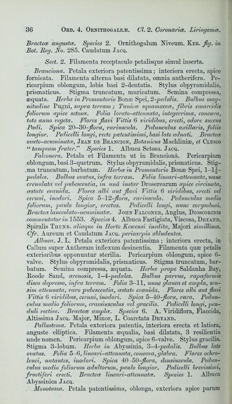 Bractece angustce. Species 2. Ornithogalum Niveum. Ker. fig. in Bot. Reg. No. 285. Caudatum Jacq. Sect. 2. Filamenta receptaculo petalisque simul inserta. Branciona. Petala exteriora patentissima; interiora erecta, apice fornicata. Filamenta alterna basi dilatata, omnia antherifera. Pe- ricarpium oblongum, lobis basi 2-deritatis. Stylus obpyramidalis, prismaticus. Stigma truncatum, muricatum. Semina compressa, aequata. Herba in Promontorio Bouse Spei, 2-peclalis. Bulbus mag- nitudine Pugni, supra terram ; Tunicce squamacece, fibris emarcidis foliorum apice setosce. Folia lorato-attenuaia, integerrima, concava, toto anno vegeta. Flores fiavi Vittis 6 viridibus, erecti, odore succus Pacli. Spica 20-30-fiora, rariuscula. Pedunculus axillaris, folds longior. Pedicelli longi, recte patentissimi, basi late adnati. Bractece ovato-acuminatce, Jean de Brancion, Botanicus Machliniae, et Cltjsio l( tanquam frater.” Species 1. Albuca Setosa. Jacq. Falconera. Petala et Filamenta ut in Branciona. Pericarpium oblongum, basi 3-quetrum. Stylus obpyramidalis, prismaticus. Stig- .ma truncatum, barbatum. Herbcein Promontorio Bonae Spei, 1-1 \- peclcdes. Bulbus ovatus, infra terram. Folia linear i-attenuata, nunc crenulata velpubescentia, in und instar Droserearum apice circinata, cestate evanida. Flores albi aut fia vi Vittis 6 viridibus, erecti vel cernui, inodori. Spica 5-12-flora, rariuscula. Peduncxdus medio foliorum, paulo longior, erectus. Pedicelli longi, nunc corymbosi. Bractece lanceolato-acuminatce. John Falconer, Anglus, Dioscorldis commentator in 1553. Species 4. Albuca Fastigiata, Yiscosa, Dry and. Spiralis Thunb. cdiaque in Horto Kewensi inedita, Majori simillima. Cfr. Aureum et Caudatum Jacq. pericarpio abludentes. Albuca. J. L. Petala exteriora patentissima; interiora erecta, in Callum super Antheram inflexum desinentia. Filamenta quae petalis exterioribus opponuntur sterilia. Pericarpium oblongum, apice 6- valve. Stylus obpyramidalis, prismaticus. Stigma truncatum, bar- batum. Semina compressa, aequata. Herbce prope Saldanha Bay, .Boode Sand, arenosis, 1-4-pedcdes. Bulbus parvus, rapceformis disco depresso, infra terram. Folia 3-11, nunc glaucaet ampla, sen- sim attenuata, raro pubescentia, cestate evanida. Flores albi aut fiavi Vittis 6 viridibus, cernui, inodori. Spica h-AD-fiora, rara. Pedun- culus medio foliorum, crassiusculus vel gracilis. Pedicelli longi, pen- duli rective. Bractece amplce. Species 6. A. Yirididora, Flaccida, Altissima Jacq. Major, Minor, L. Coarctata Dryand. Pallastema. Petala exteriora patentia, interiora erecta et latiora, anguste elliptica. Filamenta aequalia, basi dilatata, 3 resilientia unde nomen. Pericarpium oblongum, apice 6-valve. Stylus gracilis. Stigma 3-lobum. Herba in Abyssinia, 3-4-pedalis. Bulbus late ovatus. Folia 5-6, lineari-attenuata, concciva, glabra. Flores odiro- lend, nutantes, inodori. Spica 40-50-flora, densiuscula. Pedun- culus medio foliorum adultorum, paulo longior. Pedicelli brevissimi, fructiferi erecti. Bractece lineari-attenuatce. Species 1. Albuca Abyssinica Jacq. Monotassa. Petala patentissima, oblonga, exteriora apice parum