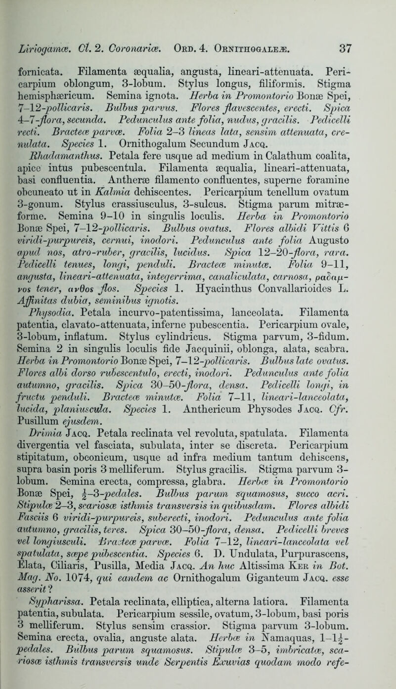 fornicata. Filamenta aequalia, angusta, lineari-attenuata. Peri- carpium oblongum, 3-lobum. Stylus longus, filiformis. Stigma hemisphaericum. Semina ignota. Herba in Promontorio Bonae Spei, 7-12-pollicaris. Bulbus jparvus. Flores flavescentes, erecti. Spica 4—7-flora, secunda. Pedunculus ante folia, nudus, gracilis. Pedicelli recti. Brcictece parvce. Folia 2-3 lineas lata, sensim attenuata, cre- nulata. Species 1. Ornithogalum Secundum Jacq. Rhadamanthus. Petala fere usque ad medium in Calathum coalita, apice intus pubescentula. Filamenta aequalia, lineari-attenuata, basi confluentia. Antherae filamento confluentes, superne foramine obcuneato ut in Kalmia dehiscentes. Pericarpium tenellum ovatum 3-gonum. Stylus crassiusculus, 3-sulcus. Stigma parum mitrae- forme. Semina 9-10 in singulis loculis. Herba in Promontorio Bonae Spei, 7-12-pollicaris. Bulbus ovatus. Flores albidi Vittis 6 viridi-purpureis, cernui, inodori. Pedunculus ante folia Augusto apud nos, atro-ruber, gracilis, lucidus. Spica 12-20-flora, rara. Pedicelli tenues, longi, penduli. Bracteoe minutce. Folia 9-11, angusta, lineari-attenuata, integerrima, canaliculata, carnosa, parity- vos tener, avOos flos. Species 1. Hyacinthus Convallarioides L. Ajflnitas dubia, seminibus ignotis. Physodia. Petala incurvo-patentissima, lanceolata. Filamenta patentia, clavato-attenuata, inferne pubescentia. Pericarpium ovale, 3-lobum, inflatum. Stylus cylindricus. Stigma parvum, 3-fidum. Semina 2 in singulis loculis fide Jacquinii, oblonga, alata, scabra. Herba in Promontorio Bonae Spei, 7-12-pollicaris. Bulbus late ovatus. Flores albi dor so rubescentulo, erecti, inodori. Pedunculus ante folia autumno, gracilis. Spica 30-50-flora, densa. Pedicelli longi, in fructu penduli. Bractece minutce. Folia 7-11, lineari-lanceolatai lucida, planiuscula. Species 1. Anthericum Physodes Jacq,. Cfr. Pusillum ejusdem. Drimia Jacq. Petala reclinata vel revoluta, spatulata. Filamenta divergentia vel fasciata, subulata, inter se discreta. Pericarpium stipitatum, obconicum, usque ad infra medium tantum dehiscens, supra basin poris 3 melliferum. Stylus gracilis. Stigma parvum 3- lobum. Semina erecta, compressa, glabra. Herbce in Promontorio Bonae Spei, |-3-pedales. Bulbus parum squamosus, succo acri. Stipulce 2-3, scariosce isthmis transversis in quibusdam. Flores albidi Fasciis 6 viridi-purpureis, suberecti, inodori. Pedunculus ante folia autumno, gracilis, teres. Spica 30—50-flora, densa. Pedicelli breves vel longiusculi. Bractece parvce. Folia 7-12, lineari-lanceolata vel spatulata, scepe pubescentia. Species 6. 11. TJndulata, Purpurascens, Elata, Ciliaris, Pusilla, Media Jacq. An hue Altissima Ker in Bot. Mag. No. 1074, qui eandem ac Ornithogalum Giganteum Jacq. esse asserit ? Sypharissa. Petala reclinata, elliptica, alterna latiora. Filamenta patentia, subulata. Pericarpium sessile, ovatum, 3-lobum, basi poris 3 melliferum. Stylus sensim crassior. Stigma parvum 3-lobum. Semina erecta, ovalia, anguste alata. Herbce in Namaquas, l-lg- pedales. Bidbus parum squamosus. Stipulce 3-5, imbricatce, sca- riosce isthmis transversis unde Serpentis Exuvias quodam moclo refe-