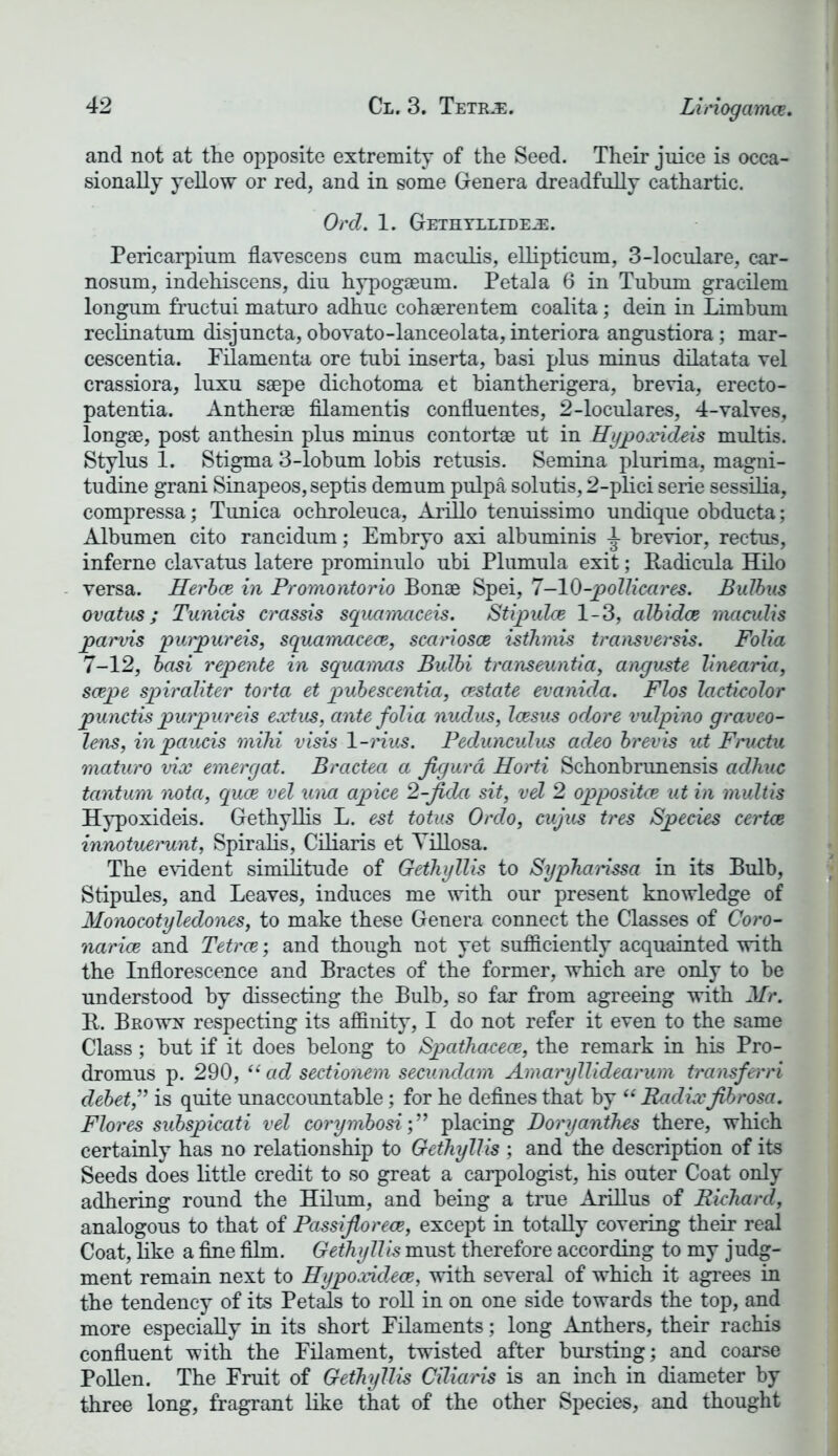 Linogamce. and not at the opposite extremity of the Seed. Their juice is occa- sionally yellow or red, and in some Genera dreadfully cathartic. Ord. 1. Gethyllideje. Pericarpium flavescens cum maculis, ellipticum, 3-loculare, car- nosum, indehiscens, diu hypogaeum. Petal a 6 in Tubum gracilem longum fructui maturo adhuc cohserentem coalita; dein in Limhum reclinatum disjuncta, obovato-lanceolata, interiora angustiora; mar- cescentia. Filamenta ore tubi inserta, basi plus minus dilatata vel crassiora, luxu saepe dichotoma et biantherigera, brevia, erecto- patentia. Antherae filamentis contluentes, 2-loculares, 4-valves, long®, post antbesin plus minus contort® ut in Hypoxideis multis. Stylus 1. Stigma 3-lobum lobis retusis. Semina plurima, magni- tudine grani Sinapeos,septis demum pulpa solutis, 2-pbci serie sessiba, compressa; Tunica ochroleuca, Arillo tenuissimo undique obducta; Albumen cito rancidum; Embryo axi albuminis L brevior, rectus, inferne clavatus latere prominulo ubi Plumula exit; Eadicula Hilo versa. Herbce in Promontorio Bon® Spei, 7—10-pollicares. BuJbus ovatus; Tunicis crassis squamaceis. Stipulce 1-3, albidce maculis parvis purpureis, squamacece, scanosce isthmis transversis. Folia 7-12, basi repente in squamas Bulbi transeuntia, anguste linearia, scepe spiraliter torta et pubescentia, restate evanida. Flos lacticolor punctis purpureis ext us, ante folia nudus, Icesus odore vulpino graveo- lens, in paucis mihi visis 1-rius. Pedunculus adeo brevis ut Fructu maturo vix emergat. Bractea a Jigurd Horti Schonbrunensis adhuc tantum nota, quae vel una apice 2-Jida sit, vel 2 oppositce ut in multis Hypoxideis. Gethyllis L. est totus Ordo, cujus tres Species certce innotuerunt, Spirabs, Cibaris et Yibosa. The evident similitude of Gethyllis to Sypharissa in its Bulb, Stipules, and Leaves, induces me with our present knowledge of Monocotyledones, to make these Genera connect the Classes of Coro- narice and Tetrce; and though not yet sufficiently acquainted with the Inflorescence and Bractes of the former, which are only to be understood by dissecting the Bulb, so far from agreeing with Mr. B. Brown respecting its affinity, I do not refer it even to the same Class; but if it does belong to Spathacece, the remark in bis Pro- dromus p. 290, “ ad sectionem secundum Amaryllidearum transferri debet” is quite unaccountable; for be defines that by “ Radixfibrosa. Flores subspicati vel corymbosiplacing Doryanthes there, which certainly has no relationship to Gethyllis ; and the description of its Seeds does bttle credit to so great a carpologist, bis outer Coat only adhering round the Hilum, and being a true Aribus of Richard, analogous to that of Passiflorece, except in totaby covering their real Coat, bke a fine film. Gethyllis must therefore according to my judg- ment remain next to Hypoxidece, with several of which it agrees in the tendency of its Petals to rob in on one side towards the top, and more especiaby in its short Fbaments; long Anthers, their racbis confluent with the Ebament, twisted after bursting; and coarse Poben. The Fruit of Gethyllis Ciliaris is an inch in diameter by three long, fragrant bke that of the other Species, and thought