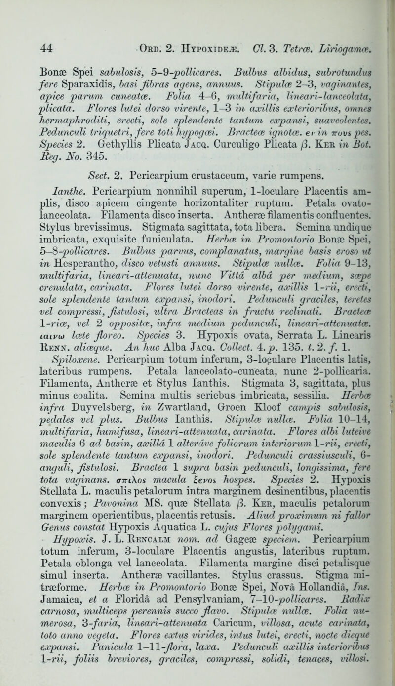 Bonce Spei sabulosis, 5-9-pollicares. Bulbus albidus, subrotundus fere Sparaxidis, basi jibras agens, annuus. Stipulce 2-3, vaginantes, apice parum cuneatce. Folia 4-6, multifaria, lineari-lanceolata, plicata. Flores lutei dorso virente, 1-3 in axillis exterioribus, omnes hermaphroditi, erecti, sole splendente tantum expansi, suaveolentes. Fedunculi triquetri, fere toti hypogcei. Bracteoe ignotce. e»- in ttuvs pes. Species 2. Gethyllis Plicata Jacq. Curculigo Plicata (3. Ker in Bot. Beg. No. 345. Sect. 2. Pericarpium crustaceum, varie rampens. Ianthe. Pericarpium nonniliil snperum, 1-loculare Placentis am- plis, disco apicem cingente horizontal ter mptnm. Petala ovato- lanceolata. Filamenta disco inserta. Antherse filamentis conflnentes. Stylus brevissimus. Stigmata sagittata, tota libera. Semina imdique imbricata, exquisite funiculata. Herbce in Promontorio Bon* Spei, 5—8-pollicares. Bulbus parvus, complanatus, margine basis eroso ut in Hesperantho, disco vetusti annuus. Stipulce nullce. Folia 9-13, multifaria, lineari-attenuata, nunc Yittd alba per medium, scepe crenulata, carinata. Flores lutei dorso virente, axillis 1 -rii, erecti, sole splendente tantum expansi, inodori. Pedunculi graciles, teretes vel compressi, fistulosi, ultra Bracteas in fructu reclinati. Bracteoe. 1 -rice, vel 2 oppositce, infra medium pedunculi, lineari-attenuatce. iciivu) Icete floreo. Species 3. Hypoxis ovata, Serrata L. Linearis Rexn. aliceque. An hue Alba Jacq. Collect. 4,p. 135. t.2.f. 1. Spiloxene. Pericarpium totum inferum, 3-loculare Placentis latis, lateribus rampens. Petala lanceolato-cuneata, nunc 2-pollicaria. Filamenta, Anther* et Stylus Ianthis. Stigmata 3, sagittata, plus minus coalita. Semina multis seriebus imbricata, sessilia. Herbce infra Duyvelsberg, in Zwartland, Groen Kloof campis sabulosis, pedales vel plus. Bulbus Ianthis. Stipulce nullce. Folia 10-14, multifaria, humifusa, lineari-attenuata, carinata. Flores albi luteive maculis 6 act basin, axilla 1 alterdve foliorum interiorum 1 -rii, erecti, sole splendente tantum expansi, inodori. Pedunculi crassiusculi, 6- anguli, fistulosi. Bractea 1 supra basin pedunculi, longissima, fere tota vaginans. cttiXos macula Zeros hospes. Species 2. Hypoxis Stellata L. maculis petalorum intra marginem desinentibus, placentis convexis; Pavonina MS. qu* Stellata (3. Ker, maculis petalorum marginem operientibus, placentis retusis. Aliud proximum ni fallor Genus constat Hypoxis Aquatica L. cujus Flores poly garni. Hypoxis. J. L. Bencalm nom. ad Gage* speciem. Pericarpium totum inferum, 3-loculare Placentis angustis, lateribus raptum. Petala oblonga vel lanceolata. Filamenta margine disci petalisque simul inserta. Anther* vacillantes. Stylus crassus. Stigma mi- tr*forme. Herbce in Promontorio Bon* Spei, Nova Hollandia, Ins. Jamaica, et a Florida ad Pensylvaniam, 7-10-pollicares. Radix carnosa, multiceps perennis succo flavo. Stipulce nullce. Folia nu- merosa, 3-faria, lineari-attenuata Caricum, villosa, acute carinata, toto anno vegeta. Flores extus virides, intus lutei, erecti, node dieque expansi. Panicula 1-11-flora, laxa. Pedunculi axillis interionbus 1 -rii, foliis breviores, graciles, compressi, solicli, tenaces, villosi.
