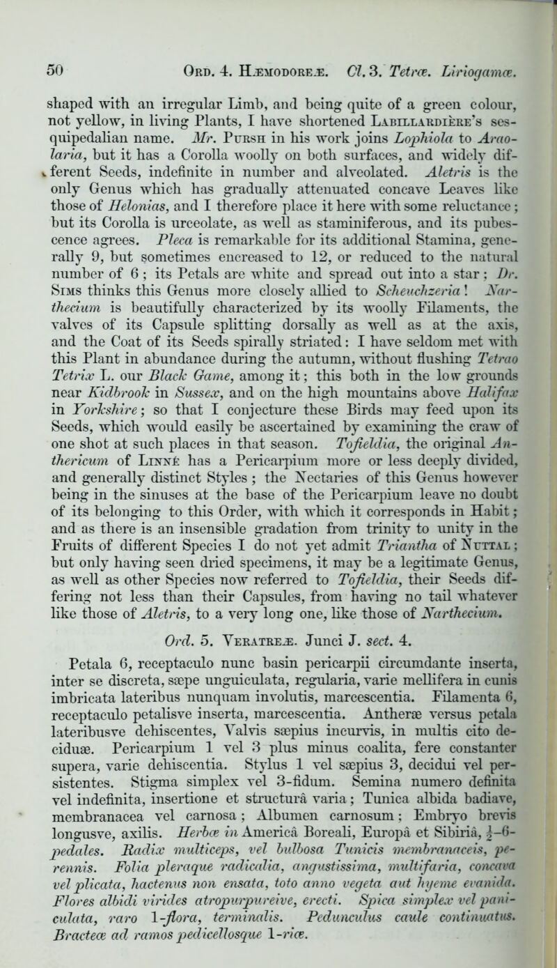 shaped with an irregular Limb, and being quite of a green colour, not yellow, in living Plants, I have shortened Labillardiere’s ses- quipedalian name. Mr. Pursh in his work joins Lophiola to Arao- laria, but it has a Corolla woolly on both surfaces, and widely dif- ferent Seeds, indefinite in number and alveolated. Aletris is the only Genus which has gradually attenuated concave Leaves like those of Helonias, and I therefore place it here with some reluctance; but its Corolla is urceolate, as well as staminiferous, and its pubes- cence agrees. Pleca is remarkable for its additional Stamina, gene- rally 9, but sometimes encreased to 12, or reduced to the natural number of 6 ; its Petals are white and spread out into a star; Dr. Sims thinks this Genus more closely allied to Scheuchzeria! Nar- thecium is beautifully characterized by its woolly Filaments, the valves of its Capsule splitting dorsally as well as at the axis, and the Coat of its Seeds spirally striated: I have seldom met with this Plant in abundance during the autumn, without flushing Tetrao Tetrix L. our Black Game, among it; this both in the low grounds near Kidbrook in Sussex, and on the high mountains above Halifax in Yorkshire; so that I conjecture these Birds may feed upon its Seeds, which would easily be ascertained by examining the craw of one shot at such places in that season. Tofieldia, the original An- thericum of LixnE has a Pericarpium more or less deeply divided, and generally distinct Styles ; the Sectaries of this Genus however being in the sinuses at the base of the Pericarpium leave no doubt of its belonging to this Order, with which it corresponds in Habit; and as there is an insensible gradation from trinity to unity in the Fruits of different Species I do not yet admit Triantha of Nt:ttal ; but only having seen dried specimens, it may be a legitimate Genus, as well as other Species now referred to Tofieldia, their Seeds dif- fering not less than their Capsules, from having no tail whatever like those of Aletns, to a very long one, like those of Narthecium. Ord. 5. Yeratre^e. Junci J. sect. 4. Petala 6, receptaculo nunc basin pericarpii circumdante inserts, inter se discreta, saepe unguiculata, regularia, varie mellifera in cunis imbricata lateribus nunquam involutis, marcescentia. Filamenta 6, receptaculo petalisve inserta, marcescentia. Antherae versus petala lateribusve dehiscentes, Valvis saepius incurvis, in multis cito de- ciduae. Pericarpium 1 vel 3 plus minus coalita, fere constanter supers, varie dehiscentia. Stylus 1 vel saepius 3, decidui vel per- sistentes. Stigma simplex vel 3-fidum. Semina numero definita vel indefinita, insertione et structura varia; Tunica albida badiave, membranacea vel carnosa; Albumen carnosum; Embryo brevis longusve, axilis. Herbce in America Boreali, Europa et Sibiria, |-6- pedales. Radix multiceps, vel bulbosa Tunicis membranaceis, pe- rennis. Folia pleraque radiccdia, angustissima, multifaria, concava vel plicata, liactenus non ensata, toto anno vegeta aut hyeme evanida. Flores albidi virides atropurpureive, erecti. Spica simplex vel pani- culata, raro 1-flora, terminalis. Pedunculus caule continuatus. Bractece ad ramos pedicellosque 1 -rice.