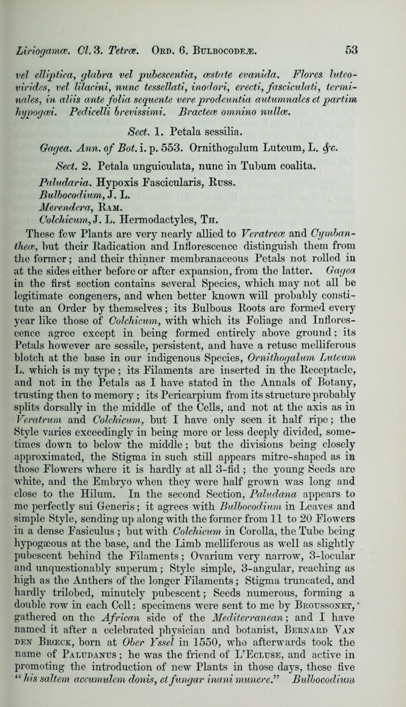 vel elliptic*a, glabra vel pubescentia, cestate evanida. Flores luteo- virides, vel lilacini, nunc tessellati, inodori, erecti, fasciculati, termi- nates, in aliis ante folia sequente vere prodeuntia autumnales et partim hypogcei. Pedicelli brevissimi. Bractece omnino nullce. Sect. 1. Petala sessilia. Gagea. Ann. of Bot. i. p. 553. Ornithogalum Luteum, L. fyc. Sect. 2. Petala unguiculata, nunc in Tubum coalita. Paludaria. Hypoxis Fascicularis, Buss. Bulbocodium, J. L. Merendera, Bam. Colchicum, J. L. Hermodactyles, Th. These few Plants are very nearly allied to Veratrece and Cymban- thece, but their Badication and Inflorescence distinguish them from the former; and their thinner membranaceous Petals not rolled in at the sides either before or after expansion, from the latter. Gagea in the first section contains several Species, which may not all be legitimate congeners, and when better known will probably consti- tute an Order by themselves; its Bulbous Boots are formed every year like those of Colchicum, with which its Foliage and Inflores- cence agree except in being formed entirely above ground; its Petals however are sessile, persistent, and have a retuse melliferous blotch at the base in our indigenous Species, Ornithogalum Luteum L. which is my type; its Filaments are inserted in the Beceptacle, and not in the Petals as I have stated in the Annals of Botany, trusting then to memory ; its Pericarpium from its structure probably splits dorsally in the middle of the Cells, and not at the axis as in Veratrum and Colchicum, but I have only seen it half ripe; the Style varies exceedingly in being more or less deeply divided, some- times down to below the middle; but the divisions being closely approximated, the Stigma in such still appears mitre-shaped as in those Flowers where it is hardly at all 3-fid; the young Seeds are white, and the Embryo when they were half grown was long and close to the Hilum. In the second Section, Paludana appears to me perfectly sui Generis; it agrees with Bulbocodium in Leaves and simple Style, sending up along with the former from 11 to 20 Flowers in a dense Fasicuius ; but with Colchicum in Corolla, the Tube being hypogaeous at the base, and the Limb melliferous as well as slightly pubescent behind the Filaments; Ovarium very narrow, 3-locular and unquestionably superum; Style simple, 3-angular, reaching as high as the Anthers of the longer Filaments; Stigma truncated, and hardly trilobed, minutely pubescent; Seeds numerous, forming a double row in each Cell: specimens were sent to me by Broussonet, ' gathered on the African side of the Mediterranean; and I have named it after a celebrated physician and botanist, Bernard Van den Brceck, born at Ober Yssel in 1550, who afterwards took the name of Paludanus ; he was the friend of L’Ecluse, and active in promoting the introduction of new Plants in those days, these five “ his saltern accumulem donis, etfungar inani munere.” Bulbocodium