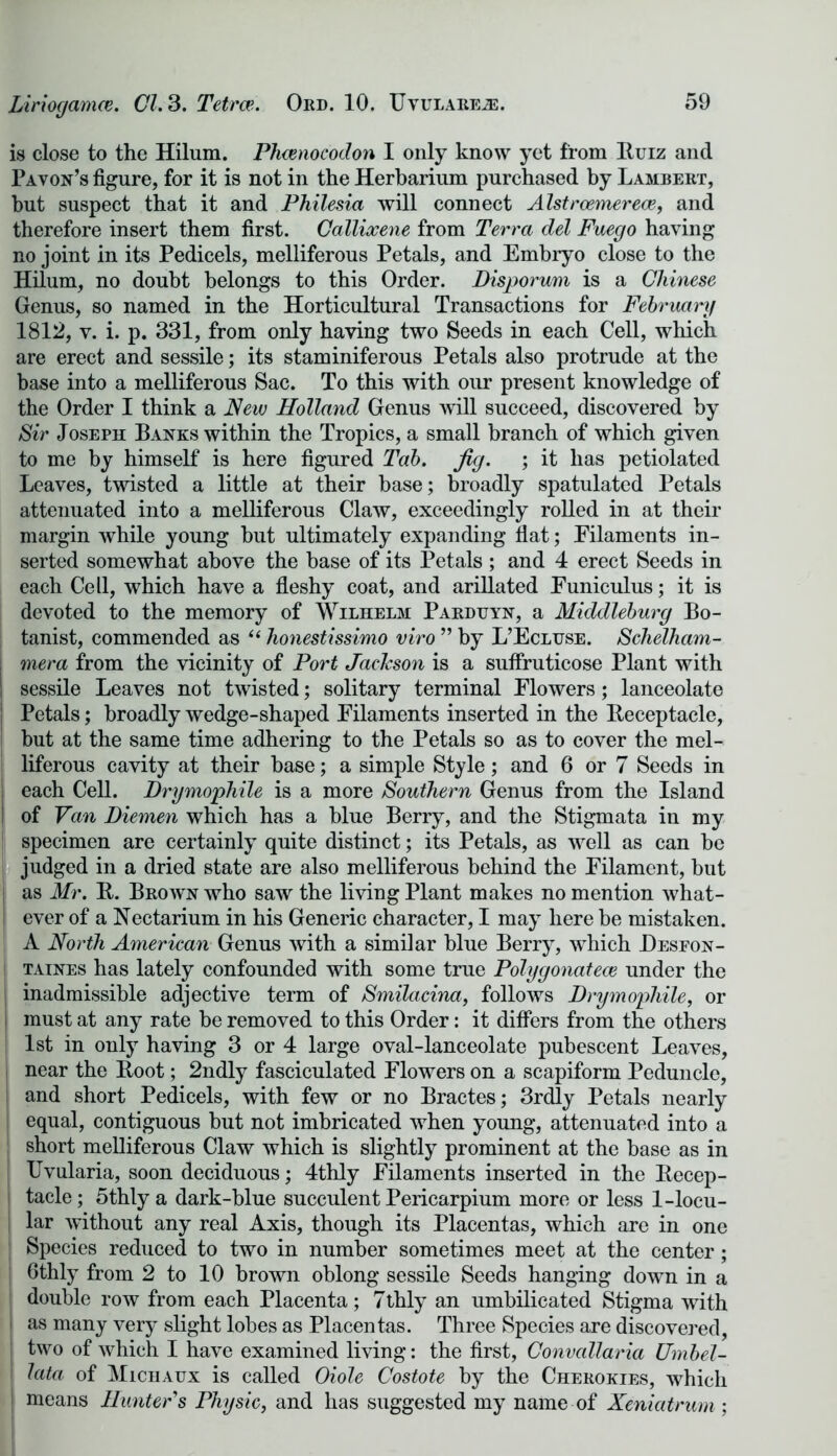 is close to the Hilum. Phcenocodon I only know yet from Ruiz and Pavon’s figure, for it is not in the Herbarium purchased by Lambert, hut suspect that it and Philesia will connect Alstroemerece, and therefore insert them first. Callixene from Terra del Fuego having no joint in its Pedicels, melliferous Petals, and Embryo close to the Hilum, no doubt belongs to this Order. Disporum is a Chinese Genus, so named in the Horticultural Transactions for Fehruarg 1812, v. i. p. 331, from only having two Seeds in each Cell, which are erect and sessile; its staminiferous Petals also protrude at the base into a melliferous Sac. To this with our present knowledge of the Order I think a New Holland Genus will succeed, discovered by Sir Joseph Banks within the Tropics, a small branch of which given to me by himself is here figured Tab. jig. ; it has petiolated Leaves, twisted a little at their base; broadly spatulated Petals attenuated into a melliferous Claw, exceedingly rolled in at their margin while young but ultimately expanding flat; Filaments in- serted somewhat above the base of its Petals ; and 4 erect Seeds in each Cell, which have a fleshy coat, and arillated Funiculus; it is devoted to the memory of Wilhelm Parduyn, a Middleburg Bo- tanist, commended as “ honestissimo viro ” by L’Ecluse. Schelham- mera from the vicinity of Port Jackson is a suflruticose Plant with sessile Leaves not twisted; solitary terminal Flowers; lanceolate Petals; broadly wedge-shaped Filaments inserted in the Receptacle, but at the same time adhering to the Petals so as to cover the mel- liferous cavity at their base; a simple Style; and 6 or 7 Seeds in each Cell. Drymophile is a more Southern Genus from the Island of Van Diemen which has a blue Berry, and the Stigmata in my ! specimen are certainly quite distinct; its Petals, as well as can be judged in a dried state are also melliferous behind the Filament, but as Mr. R. Brown who saw the living Plant makes no mention what- ever of a Nectarium in his Generic character, I may here be mistaken. A North American Genus with a similar blue Berry, which Hesfon- taines has lately confounded with some true Polygonatece under the | inadmissible adjective term of Smilacina, follows Drymophile, or must at any rate be removed to this Order: it differs from the others 1st in only having 3 or 4 large oval-lanceolate pubescent Leaves, near the Root; 2ndly fasciculated Flowers on a scapiform Peduncle, and short Pedicels, with few or no Bractes; 3rdly Petals nearly equal, contiguous but not imbricated when young, attenuated into a short melliferous Claw which is slightly prominent at the base as in | Uvularia, soon deciduous; 4thly Filaments inserted in the Recep- tacle; 5thly a dark-blue succulent Pericarpium more or less 1-locu- lar without any real Axis, though its Placentas, which are in one Species reduced to two in number sometimes meet at the center; Gthly from 2 to 10 brown oblong sessile Seeds hanging down in a double row from each Placenta; Tthly an umbilicated Stigma with as many very slight lobes as Placentas. Three Species are discovered, two of which I have examined living: the first, Convallaria Umbel- i lata of Michaux is called dole Costote by the Cherokies, which | means Hunter's Physic, and has suggested my name of Xeniatrum;