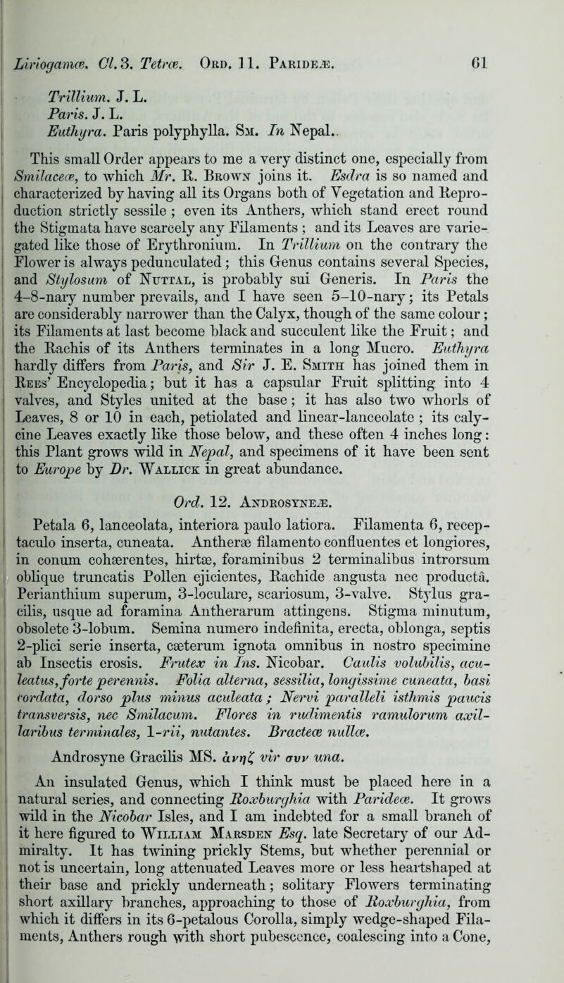 Trillium. J. L. Paris. J. L. Euthyra. Paris poly phy 11a. Sm. In Nepal.. This small Order appears to me a very distinct one, especially from Smilaceoe, to which Mr. R. Brown joins it. Esdra is so named and characterized by having all its Organs both of Vegetation and Repro- duction strictly sessile; even its Anthers, which stand erect round the Stigmata have scarcely any Filaments ; and its Leaves are varie- gated like those of Erythronium. In Trillium on the contrary the Flower is always pedunculated; this Genus contains several Species, ! and Stylosum of Nuttal, is probably sui Generis. In Paris the | 4-8-nary number prevails, and I have seen 5-10-nary; its Petals are considerably narrower than the Calyx, though of the same colour; its Filaments at last become black and succulent like the Fruit; and the Rachis of its Anthers terminates in a long Mucro. Euthyra hardly differs from Paris, and Sir J. E. Smith has joined them in Rees’ Encyclopedia; but it has a capsular Fruit splitting into 4 ; valves, and Styles united at the base; it has also two whorls of ! Leaves, 8 or 10 in each, petiolated and linear-lanceolate ; its caly- cine Leaves exactly like those below, and these often 4 inches long: this Plant grows wild in Nepal, and specimens of it have been sent to Europe by Dr. Wallick in great abundance. Ord. 12. Androsyne^:. Petala 6, lanceolata, interiora paulo latiora. Filamenta 6, recep- taculo inserta, cuneata. Antherse filamento confluentes et longiores, in conum cohaerentes, hirtae, foraminibus 2 terminalibus introrsum oblique truncatis Pollen ejicientes, Rachide angusta nec producta. Perianthium superum, 3-loculare, scariosum, 3-valve. Stylus gra- cilis, usque ad foramina Antherarum attingens. Stigma minutum, obsolete 3-lobum. Semina numero indefinita, erecta, oblonga, septis 2-plici serie inserta, eaeterum ignota omnibus in nostro specimine ab Insectis erosis. Frutex in Ins. Nicobar. Caulis volubilis, acu- j leatus, forte perennis. Folia alterna, sessilia, longissime cuneata, basi | cordata, dorso plus minus aculeata; Nervi paralleli isthmis paucis transversis, nec Smilacum. Flores in rudimentis ramulorum axil- j laribus terminates, 1 -rii, nutantes. Bractece nullce. Androsyne Gracilis MS. avr]£ vir aw una. An insulated Genus, which I think must be placed here in a natural series, and connecting Roxburghia with Paridece. It grows wild in the Nicobar Isles, and I am indebted for a small branch of it here figured to William Marsden Esq. late Secretary of our Ad- miralty. It has twining prickly Stems, but whether perennial or not is uncertain, long attenuated Leaves more or less heartshaped at I their base and prickly underneath; solitary Flowers terminating I short axillary branches, approaching to those of Roxburghia, from which it differs in its 6-petalous Corolla, simply wedge-shaped Fila- ments, Anthers rough with short pubescence, coalescing into a Cone,