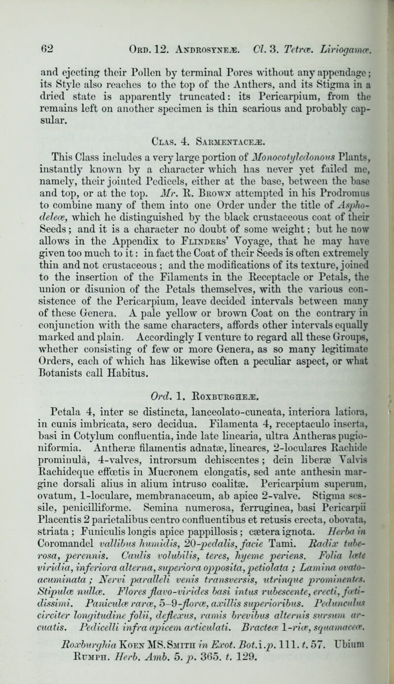 and ejecting their Pollen by terminal Pores without any appendage; its Style also reaches to the top of the Anthers, and its Stigma in a dried state is apparently truncated: its Pericarpium, from the remains left on another specimen is thin scarious and probably cap- sular. Clas. 4. Sarmentace.®. This Class includes a very large portion of Monocotyledonous Plants, instantly known by a character which has never yet failed me, namely, their joiuted Pedicels, either at the base, between the base and top, or at the top. Mr. R. Brown attempted in his Prodromus to combine many of them into one Order under the title of Aspho- clelece, which he distinguished by the black crustaceous coat of their Seeds; and it is a character no doubt of some weight; but he now allows in the Appendix to Flinders’ Voyage, that he may have given too much to it: in fact the Coat of their Seeds is often extremely thin and not crustaceous ; and the modifications of its texture, joined to the insertion of the Filaments in the Receptacle or Petals, the union or disunion of the Petals themselves, with the various con- sistence of the Pericarpium, leave decided intervals between many of these Genera. A pale yellow or brown Coat on the contrary in conjunction with the same characters, atfords other intervals equally marked and plain. Accordingly I venture to regard all these Groups, whether consisting of few or more Genera, as so many legitimate Orders, each of which has likewise often a peculiar aspect, or what Botanists call Habitus. Ord. 1. Roxbtjrgheje. Petala 4, inter se distincta, lanceolato-cuneata, interiora latiora, in cunis imbricata, sero decidua. Filamenta 4, receptaculo inserta, basi in Cotylum confluentia, inde late linearia, ultra Antheras pugio- niformia. An therm filamentis adnatae, lineares, 2-loculares Rachide prominula, 4-valves, introrsum dehiscentes; dein liberae Valvis Rachideque effcetis in Mucronem elongatis, sed ante anthesin mar- gine dorsali alius in alium intruso coalitae. Pericarpium superum, ovatum, 1-loculare, membranaceum, ab apice 2-valve. Stigma ses- sile, penicilliforme. Semina numerosa, ferruginea, basi Pericarpii Placentis 2 parietalibus centro confluentibus et retusis erecta, obovata, striata; Funiculislongis apice pappillosis; caeteraignota. Herbain Coromandel vallibus humidis, 20-pedalis, facie Tami. Radix tube- rosa, perennis. Caulis volubilis, teres, liyeme periens. Folia late viridia, inferiora alter na, supenora opposita, petiolata ; Lamina ovato- acuminata ; Nervi paralleli venis transversis, utrinque prominentes. Stipules nullce. Flores jlavo-virides basi intus rubescente, erecti, feeti- dissimi. Pamculce rarce, 5-9-Jlorce, axillis superioribus. Pedunculus circiter longitudine folii, dejlexus, ramis brevibus alternis snrsum ar~ cuatis. Pedicelli infra apicem articulati. Bractece l-rice, squamaceas. Roxburghia Koen MS. Smith in Exot. Bot. i .p. 111. t. 57. Ubiuni Rumph. Herb. Amb. 5. p. 365. t. 129.