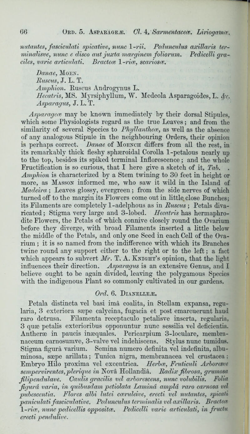 nutantes, fasciculati spicative, nunc 1 -Hi. Pedunculus axillaris ter- minolisve, nunc e disco ciut juxta marginem foliorum. Pedicelli gra- ciles, vcirie articulciti. Bractece 1 -rice, scariosce. Danae, Moen. Ruscus, J. L. T. Amphion. Ruscus Androgynus L. Hecatris, MS. Myrsiphyllum, W. Medeola Asparagoides, L. <$v. Asparagus, J. L. T. Asparagece may be known immediately by their dorsal Stipules, which some Physiologists regard as the true Leaves; and from the similarity of several Species to Phyllanthece, as well as the absence of any analogous Stipule in the neighbouring Orders, their opinion is perhaps correct. Danae of Moench differs from all the rest, in its remarkably thick fleshy sphaeroidal Corolla 1-petalous nearly up to the top, besides its spiked terminal Inflorescence; and the whole Fructification is so curious, that I here give a sketch of it, Tab. . Amphion is characterized by a Stem twining to 30 feet in height or more, as Masson informed me, who saw it wild in the Island of Madeira; Leaves glossy, evergreen; from the side nerves of which turned off to the margin its Flowers come out in little, close Bunches; its Filaments are completely 1-adelphous as in Ruscus; Petals diva- ricated ; Stigma very large and 3-lobed. Hecatris has hermaphro- dite Flowers, the Petals of which connive closely round the Ovarium before they diverge, with broad Filaments inserted a little below the middle of the Petals, and only one Seed in each Cell of the Ova- rium ; it is so named from the indifference with which its Branches twine round any support either to the right or to the left; a fact which appears to subvert Mr. T. A. Knight’s opinion, that the light influences their direction. Asparagus is an extensive Genus, and I believe ought to be again divided, leaving the polygamous Species with the indigenous Plant so commonly cultivated in our gardens. Ord. 6. Dianelle^:. Petala distincta vel basi ima coalita, in Stellam expansa, regu- laria, 3 exteriora ssepe calycina, fugacia et post emarcuerunt haud raro detrusa. Filamenta receptaculo petalisve inserta, regularia, 3 quae petalis exterioribus opponuntur nunc sessilia vel deficientia. Antherae in paucis inaequales. Pericarpium 3-loculare, membra- naceum carnosumve, 3-valve vel indehiscens. Stylus nunc tumidus. Stigma figura varium. Semina numero definita vel indefinita, albu- minosa, saepe arillata; Tunica nigra, membranacea vel Crustacea; Embryo Hilo proxima vel excentrica. Herbce, Fruticuli Arboresve sempervirentes,plerique in Nova Hollandia. Radix fibrosa, grumosa filipenclulave. Caulis gracilis vel arborescens, nunc volubilis. Folia figura varia, in quibusdam petiolata Lamina ampla raro carnosa vel pubescentia. Flores albi lutei cceruleive, erecti vel nutantes, spicati paniculati fasciculative. Pedunculus terminalis vel axillaris. Bractece 1 -rice, nunc pedicellis oppositce. Pedicelli varie articulati, in fructu erecti pendulive.