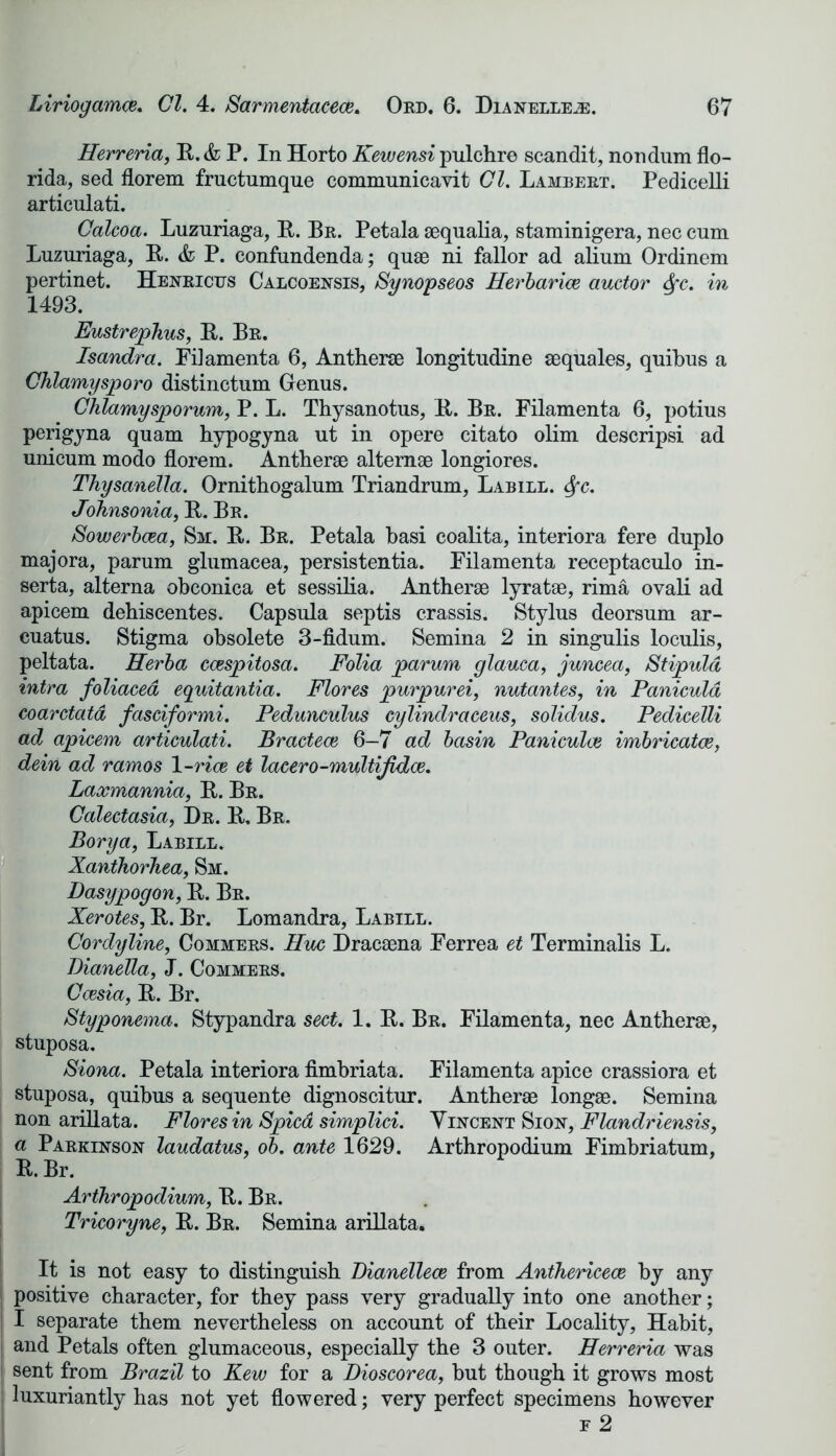 Herreria, R. & P. In Horto Kewensi pulchre scandit, nondum flo- rida, sed florem frnctumque communicavit Cl. Lambert. Pedicelli articulati. Calcoa. Luzuriaga, R. Be. Petala sequalia, staminigera, nec cum Luzuriaga, R. & P. confundenda; quae ni fallor ad alium Ordinem pertinet. Henricus Calcoensis, Synopseos Herbaria auctor See. in 1493. Eustrephus, R. Be. Isandra. Pi] amenta 6, Antherae longitudine sequales, quibus a Chlamysporo distinctum Genus. Chlamysporum, P. L. Thysanotus, R. Be. Filamenta 6, potius perigyna quam hypogyna ut in opere citato olim descripsi ad unicum modo florem. Antherae alternae longiores. Thysanella. Ornithogalum Triandrum, Labill. &fc. Johnsonia, R. Br. Sowerbaa, Sm. R. Be. Petala basi coalita, interiora fere duplo majora, parum glumacea, persistentia. Filamenta receptaculo in- serta, alterna obconica et sessilia. Antherae lyratae, rima ovali ad apicem dehiscentes. Capsula septis crassis. Stylus deorsum ar- cuatus. Stigma obsolete 3-fidum. Semina 2 in singulis loculis, peltata. Herba ccespitosa. Folia parum glauca, juncea, Stipuld intra foliacea equitantia. Flores purpurei, nutantes, in Panicula coarctatd fasciformi. Pedunculus cylindraceus, solidus. Pedicelli ad apicem articulati. Bractece 6-7 ad basin Panicula imbricata, dein ad ramos 1 -ria et lacero-multijida. Laxmannia, R. Be. Calectasia, Dr. R, Be. Borya, Labile. Xanthorhea, Sm. Dasypogon, R. Be. Xerotes, R. Br. Lomandra, Labile. Cordyline, Commers. Hue Dracaena Ferrea et Terminalis L. Bianella, J. Commers. Casia, R. Br. Styponema. Stypandra sect. 1. R. Br. Filamenta, nec Antherae, stuposa. Siona. Petala interiora fimbriata. Filamenta apice crassiora et stuposa, quibus a sequente dignoscitur. Antherae longae. Semina non arillata. Flores in Spied simplici. Vincent Sion, Flandriensis, a Parkinson laudatus, ob. ante 1629. Arthropodium Fimbriatum, R. Br. Arthropodium, R. Br. Tricoryne, R. Br. Semina arillata. It is not easy to distinguish Dianellea from Anthericea by any positive character, for they pass very gradually into one another; I separate them nevertheless on account of their Locality, Habit, and Petals often glumaceous, especially the 3 outer. Herreria was sent from Brazil to Kew for a Dioscorea, but though it grows most luxuriantly has not yet flowered; very perfect specimens however f 2