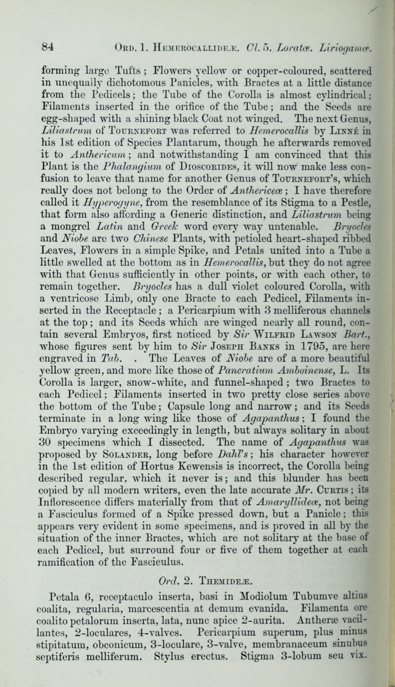 forming large Tufts ; Flowers yellow or copper-coloured, scattered in unequally dichotomous Panicles, with Bractes at a little distance from the Pedicels; the Tube of the Corolla is almost cylindrical; Filaments inserted in the orifice of the Tube; and the Seeds are egg-shaped with a shining black Coat not winged. The next Genus, Liliastrum of Tournefort was referred to Hemerocallis by Linne in his 1st edition of Species Plantarum, though he afterwards removed it to Anthericum; and notwithstanding I am convinced that this Plant is the Phalangium of Dioscorides, it will now make less con- fusion to leave that name for another Genus of Tournefort’s, which really does not belong to the Order of Anthericece ; I have therefore called it Hyperogyne, from the resemblance of its Stigma to a Pestle, that form also affording a Generic distinction, and Liliastrum being a mongrel Latin and Greek word every way untenable. Bryocles and Niobe are two Chinese Plants, with petioled heart-shaped ribbed Leaves, Flowers in a simple Spike, and Petals united into a Tube a little swelled at the bottom as in Hemerocallis, but they do not agree with that Genus sufficiently in other points, or with each other, to remain together. Bryocles has a dull violet coloured Corolla, with a ventricose Limb, only one Bracte to each Pedicel, Filaments in- serted in the Receptacle ; a Pericarpium with 3 melliferous channels at the top; and its Seeds which are winged nearly all round, con- tain several Embryos, first noticed by Sir Wilfrid Lawson Bart., whose figures sent by him to Sir Joseph Banks in 1795, are here engraved in Tab. . The Leaves of Niobe are of a more beautiful yellow green, and more like those of Pancratium Amboinense, L. Its Corolla is larger, snow-white, and funnel-shaped; two Bractes to each Pedicel; Filaments inserted in two pretty close series above the bottom of the Tube; Capsule long and narrow; and its Seeds terminate in a long wing like those of Agapanthus; I found the Embryo varying exceedingly in length, hut always solitary in about 30 specimens which I dissected. The name of Agapanthus was proposed by Solander, long before Dahl’s; his character however in the 1st edition of Hortus Kewensis is incorrect, the Corolla being described regular, which it never is; and this blunder has been copied by all modern writers, even the late accurate Mr. Curtis ; its Inflorescence differs materially from that of Amai'ylliclece, not being a Fasciculus formed of a Spike pressed down, but a Panicle; this appears very evident in some specimens, and is proved in all by the situation of the inner Bractes, which are not solitary at the base of each Pedicel, but surround four or five of them together at each ramification of the Fasciculus. Ord. 2. Themidkx. Petala 6, receptaculo inserta, basi in Modiolum Tubumve altius coalita, regularia, marcescentia at demum evanida. Filamenta ore coalito petalorum inserta, lata, nunc apice 2-aurita. Anther® vacil- lantes, 2-loculares, 4-valves. Pericarpium superum, plus minus stipitatum, obconicum, 3-loculare, 3-valve, membranaceum sinubus septiferis melliferum. Stylus erectus. Stigma 3-lobum seu vix.