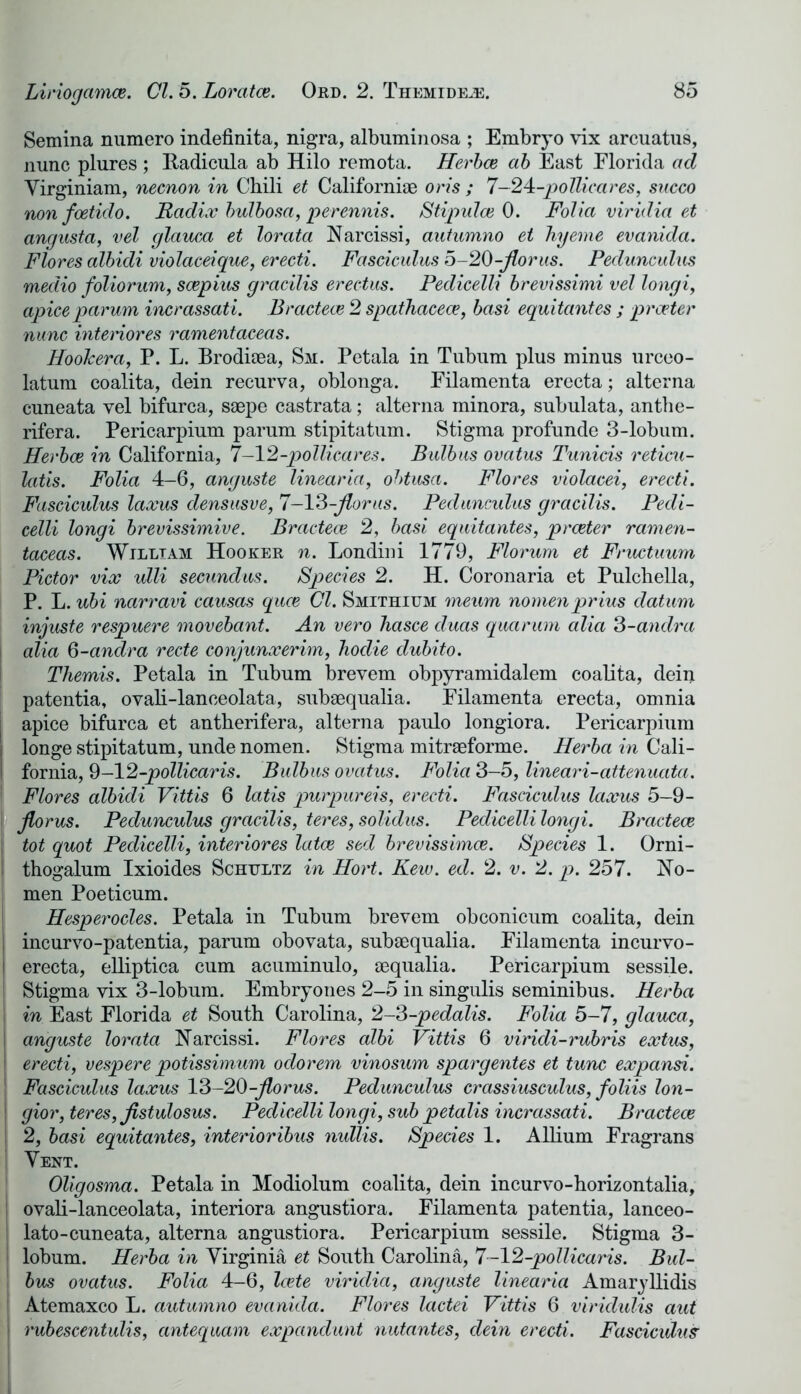 Semina numero indefinita, nigra, albuminosa ; Embryo vix arcuatus, nunc plures ; Kadicula ab Hilo remota. Herbce ctb East Elorida ad Yirginiam, necnon in Chili et Californiae oris ; 7-24-poUicares, succo nonfoetido. Radix bulbosa, perennis. Stipulce 0. Folia viridia et angusta, vel glauca et lorata Narcissi, autumno et hyeme evanida. Flores albidi violaceique, erecti. Fasciculus o-20-Jlorus. Pedunculus medio foliorum, scepius gracilis erectus. Pedicelli brevissimi vel longi, apiceparum incrassati. Bractece 2 spathacece, basi equitantes ; prceter nunc interiores ramentaceas. HooJcera, P. L. Brodiaea, Sm. Petala in Tubum plus minus urceo- latum coalita, dein recurva, oblonga. Eilamenta erecta; alterna cuneata vel bifurca, saepe castrata; alterna minora, subulata, anthe- rifera. Pericarpium parum stipitatum. Stigma profunde 3-lobum. Herbce in California, 7-12-pollicares. Bulbas ovatus Tunicis reticu- latis. Folia 4-6, anguste linearia, obtusa. Flores violacei, erecti. Fasciculus laxus densusve, 7-13-jlorus. Pedunculus gracilis. Pedi- celli longi brevissimive. Bractece 2, basi equitantes, prceter ramen- taceas. William Hooker n. Londini 1779, Florum et Fructuum Pictor vix ulli secundus. Species 2. H. Coronaria et Pulchella, P. L. ubi narravi causas quce Cl. Smithium meum nomenprius datum injuste respuere movebant. An vero hasce cluas quarum alia 3-andra \ alia 3-andra recte conjunxerim, hoclie dubito. Themis. Petala in Tubum brevem obpyramidalem coalita, dein I patentia, oyali-laneeolata, subaequalia. Eilamenta erecta, omnia apice bifurca et antherifera, alterna paulo longiora. Pericarpium longe stipitatum, unde nomen. Stigma mitraeforme. Herba in Cali- I fornia, 9-12-pollicaris. Bulbus ovatus. Folia 3-5, lineari-attenuata. \ Flores albidi Vittis 6 latis purpureis, erecti. Fasciculus laxus 5-9- jlorus. Pedunculus gracilis, teres, solidus. Pedicelli longi. Bractece I tot quot Pedicelli, interiores latce sed brevissimce. Species 1. Orni- I thogalum Ixioides Schultz in Hort. Kew. ed. 2. v. 2. p. 257. No- men Poeticum. Hesperocles. Petala in Tubum brevem obconicum coalita, dein j incurvo-patentia, parum obovata, subaequalia. Eilamenta incurvo- i erecta, elliptica cum acuminulo, aequalia. Pericarpium sessile, i Stigma vix 3-lobum. Embryones 2-5 in singulis seminibus. Herba i in East Elorida et South Carolina, 2-3-pedalis. Folia 5-7, glauca, anguste lorata Narcissi. Flores albi Vittis 6 viridi-rubris extus, erecti, vespere potissimum odorem vinosum spargentes et tunc expansi. \ Fasciculus laxus 13-20-jlorus. Pedunculus crassiusculus, foliis lon- j gior, teres, jistulosus. Pedicelli longi, sub petalis incrassati. Bractece 2, basi equitantes, interioribus nullis. Species 1. Allium Eragrans ; Vent. Oligosma. Petala in Modiolum coalita, dein incurvo-horizontalia, ovali-lanceolata, interiora angustiora. Eilamenta patentia, lanceo- lato-cuneata, alterna angustiora. Pericarpium sessile. Stigma 3- j lobum. Herba in Virginia et South Carolina, 7-12-pollicaris. Bul- bus ovatus. Folia 4—6, Icete viriclia, anguste linearia Amaryllidis ! Atemaxco L. autumno evanida. Flores lactei Vittis 6 viridulis aut | rubescentulis, antequam expandunt nutantes, dein erecti. Fasciculus