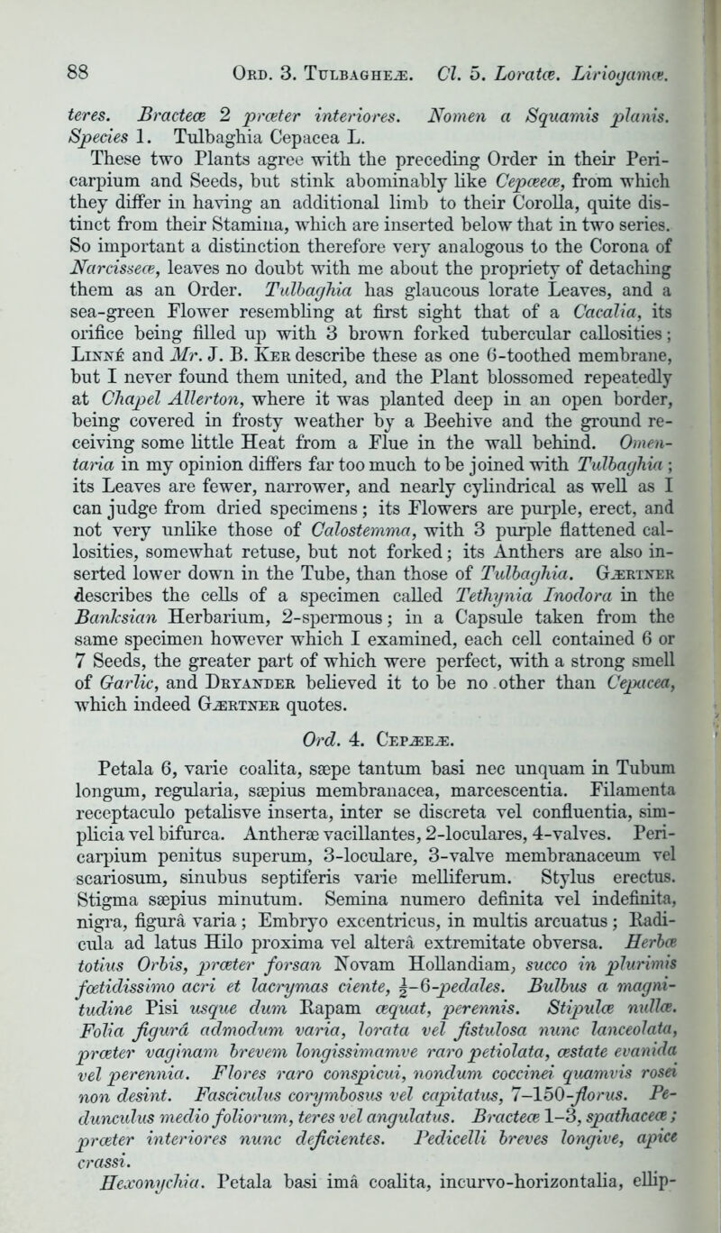 teres. Bractece 2 prceter interiores. Nomen a Squamis planis. Species 1. Tulbaghia Cepacea L. These two Plants agree with the preceding Order in their Peri- carpium and Seeds, but stink abominably like Cepceece, from which they differ in having an additional limb to their Corolla, quite dis- tinct from their Stamina, which are inserted below that in two series. So important a distinction therefore very analogous to the Corona of Narcissece, leaves no doubt with me about the propriety of detaching them as an Order. Tulbaghia has glaucous lorate Leaves, and a sea-green Plower resembling at first sight that of a Cacalia, its orifice being filled up with 3 brown forked tubercular callosities; and Mr. J. B. Ker describe these as one 6-toothed membrane, but I never found them united, and the Plant blossomed repeatedly at Chapel Allerton, where it was planted deep in an open border, being covered in frosty weather by a Beehive and the ground re- ceiving some little Heat from a Plue in the wall behind. Omen- taria in my opinion differs far too much to be joined with Tulbaghia ; its Leaves are fewer, narrower, and nearly cylindrical as well as I can judge from dried specimens; its Plowers are purple, erect, and not very unlike those of Calostemma, with 3 purple flattened cal- losities, somewhat retuse, but not forked; its Anthers are also in- serted lower down in the Tube, than those of Tulbaghia. Gartner describes the cells of a specimen called Tethynia Inodor a in the Banksian Herbarium, 2-spermous; in a Capsule taken from the same specimen however which I examined, each cell contained 6 or 7 Seeds, the greater part of which were perfect, with a strong smell of Garlic, and Dryander believed it to be no other than Cepacea, which indeed Gartner quotes. Ord. 4. Cep^e^:. Petala 6, varie coalita, saepe tantum basi nec unquam in Tubum longum, regularia, saepius membranacea, marcescentia. Filamenta receptaculo petalisve inserta, inter se discreta vel confluentia, sim- plicia vel bifurca. Antheras vacillantes, 2-loculares, 4-valves. Peri- carpium penitus superum, 3-loculare, 3-valve membranaceum vel scariosum, sinubus septiferis varie melliferum. Stylus erectus. Stigma saepius minutum. Semina numero definita vel indefinita, nigra, figura varia; Embryo excentricus, in multis arcuatus ; Badi- ciffa ad latus Hilo proxima vel altera extremitate obversa. Herbce totius Orbis, prceter forsan Novam Hollandiam, succo in plurimis fcetidissimo acri et lacrymas ciente, %-6-pedales. Bulhus a magni- tudine Pisi usque dum Bapam cequat, perennis. Stipulce mdlce. Folia jigurd admodum varia, lorata vel Jistulosa nunc lanceolata, prceter vaginam brevem longissimcimve raro petiolata, restate evanida vel perennia. Flores raro conspicui, nondum coccinei- quamvis rosei non desint. Fasciculus corymbosus vel capitatus, 7-150-jlorus. Pe- duncidus medio foliorum, teres vel angulatus. Bractece 1-3, spathacece ; prceter interiores nunc dejicientes. Pedicelli breves longive, apice crassi. Hexonychia. Petala basi ima coalita, incurvo-horizontalia, ellip-