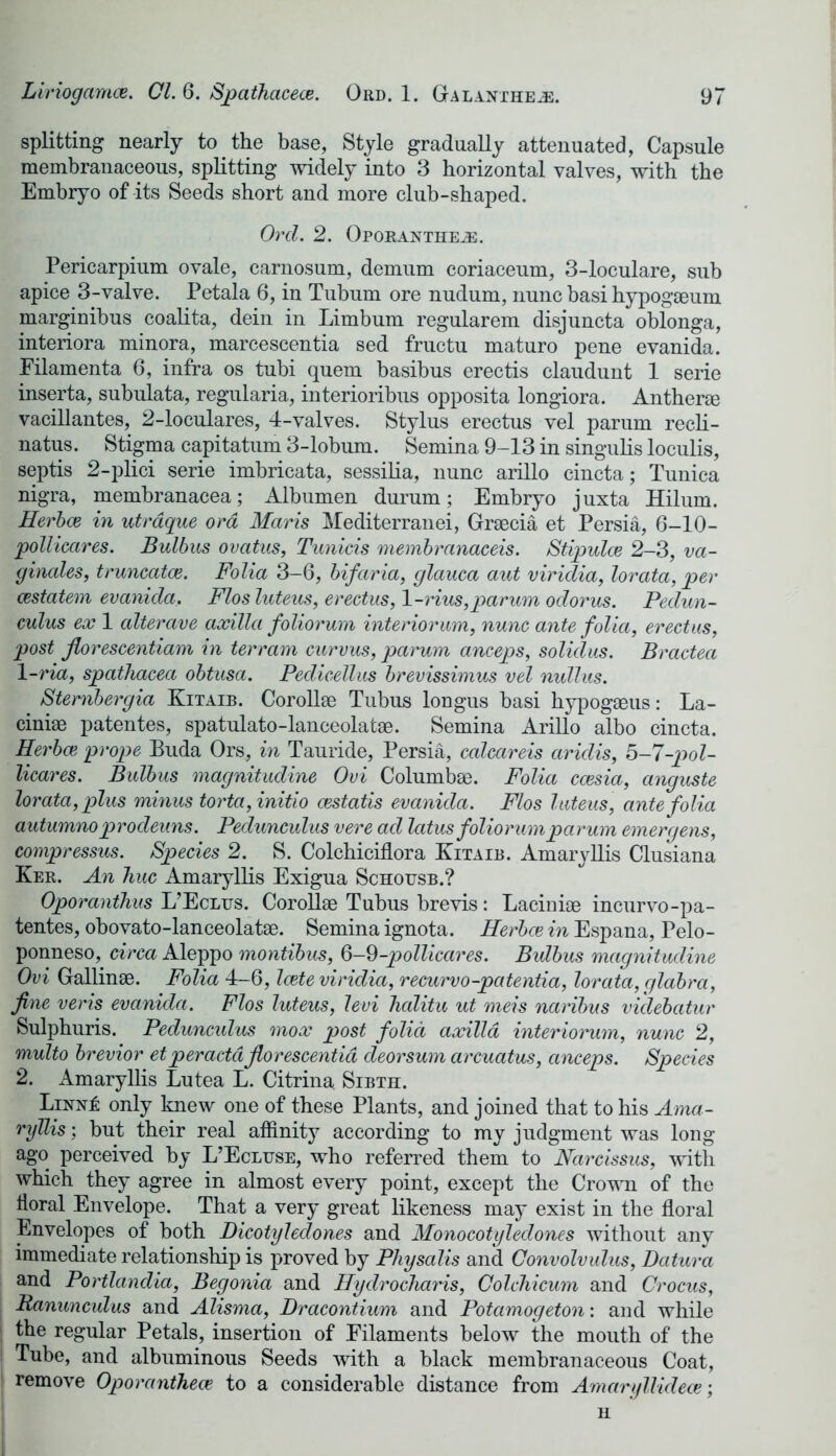 splitting nearly to the base, Style gradually attenuated, Capsule membranaceous, splitting widely into 3 horizontal valves, with the Embryo of its Seeds short and more club-shaped. Orel. 2. Oporanthe^;. Pericarpium ovale, carnosum, demum coriaceum, 3-loculare, sub apice 3-valve. Petala 6, in Tubum ore nudum, nunc basi hypogaeum marginibus coalita, dein in Limbum regularem disjuncta oblonga, interiora minora, marcescentia sed fructu maturo pene evanida. Eilamenta 6, infra os tubi quern basibus erectis claudunt 1 serie inserta, subulata, regularia, interioribus opposita longiora. Antherse vacillantes, 2-loculares, 4-valves. Stylus erectus vel parum recli- natus. Stigma eapitatum 3-lobum. Semina 9-13 in singulis loculis, septis 2-plici serie imbricata, sessilia, nunc arillo cincta; Tunica nigra, membranacea; Albumen durum; Embryo juxta Hilum. Herbal in utrdque ora Maris Mediterranei, Grsecia et Persia, 6-10- pollicares. Bulbus ovatus, Tunicis membranaceis. Stipulce 2-3, va- ginales, truncatce. Folia 3-6, bifaria, glauca ant viridia, lorata, per cestatem evanida. Flos luteus, erectus, 1-rius, parum odorus. Pedun- culus ex 1 alterave axilla foliorum interiorum, nunc ante folia, erectus, post Jlorescentiam in terram curvus, parum anceps, solidus. Bractea \-ria, spathacea obtusa. Pedicellus brevissimus vel nullus. Stembergia Kitaib. Corollae Tubus longus basi hypogaeus: La- ciniae patentes, spatulato-lanceolatae. Semina Arillo albo cincta. Herba prope Buda Ors, in Tauride, Persia, calcareis aridis, 5-7-pol- licares. Bulbus magnitudine Ovi Columbae. Folia ccesia, anguste lorata, plus minus torta, initio cestatis evanida. Flos luteus, ante folia autumnoprodeuns. Pedunculus vere ad latus foliorum parum emergens, compressus. Species 2. S. Colchiciflora Kitaib. Amaryllis Clusiana Ker. An hue Amaryllis Exigua Schousb.? Oporanthus L’Eclus. Corollae Tubus brevis: Laciniae incurvo-pa- tentes, obovato-lanceolatae. Semina ignota. Herbce in Espana, Pelo- ponneso, circa Aleppo montibus, 6-9-pollicares. Bulbus magnitudine Ovi Gallinae. Folia 4-6, Icete viridia, recurvo-patentia, lorata, glabra, fine vens evanida. Flos luteus, levi hdlitu ut meis naribus videbatur Sulphuris. Pedunculus mox post folia axilla interiorum, nunc 2, multo brevior et peractdflorescentia deorsum arcuatus, anceps. Species 2. Amaryllis Lutea L. Citrina. Sibth. Lixxi: only knew one of these Plants, and joined that to his Ama- ryllis : but their real affinity according to my judgment was long ago perceived by L’Ecluse, who referred them to Narcissus, with which they agree in almost every point, except the Crown of the floral Envelope. That a very great likeness may exist in the floral Envelopes of both Dicotyledones and Monocotyledones without any immediate relationship is proved by Pliysatis and Convolvulus, Datura and Portlandia, Begonia and Hydrocharis, Colchicum and Crocus, Ranunculus and Alisma, Dracontium and Potamogeton: and while the regular Petals, insertion of Filaments below the mouth of the Tube, and albuminous Seeds with a black membranaceous Coat, remove Oporantheai to a considerable distance from Amaryllideee; H