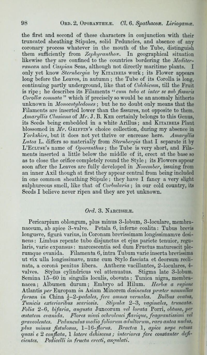 the first and second of these characters in conjunction with their truncated sheathing Stipules, solid Peduncles, and absence of any coronary process whatever in the mouth of the Tube, distinguish them sufficiently from Zephyrantheoe. In geographical situation likewise they are confined to the countries bordering the Mediter- ranean and Caspian Seas, although not directly maritime plants. I only yet know Sternbergia by Kitaibels work; its Flower appears long before the Leaves, in autumn; the Tube of its Corolla is long, continuing partly underground, like that of Colchicum, till the Fruit is ripe; he describes its Filaments “cum tubo et inter se subfissuris Corollce connata ” which if precisely so would be an anomaly hitherto unknown in Monocotyledones; but he no doubt only means that the Filaments are inserted lower than the fissures, not opposite to them. Amaryllis Clusiana of Mr. J. B. Ker certainly belongs to this Genus, its Seeds being embedded in a white Arillus; and Kitaibels Plant blossomed in Mr. Griffin’s choice collection, during my absence in Yorkshire, but it does not yet thrive or encrease here. Amaryllis Lutea L. differs so materially from Sternbergia that I separate it by L’Ecluse’s name of Oporanthus; the Tube is very short, and Fila- ments inserted a little below the middle of it, erect at the base so as to close the orifice completely round the Style; its Flowers appear soon after the Leaves are fully developed in November, issuing from an inner Axil though at first they appear central from being included in one common sheathing Stipule; they have I fancy a very slight sulphureous smell, like that of Corbularia; in our cold country, its Seeds I believe never ripen and they are yet unknown. Ord. 3. Narcisse^:. Pericarpium oblongum, plus minus 3-lobum, 3-loculare, membra- naceum, ab apice 3-valve. Petala 6, inferne coalita: Tubus brevis longusve, figura varius, in Coronam brevissimam longissimamve desi- nens: Limbus repente tubo disjunctus et ejus pariete tenuior, regu- laris, varie expansus: marcescentia sed dum Fructus maturescit ple- rumque evanida. Filamenta 6, intra Tubum varie inserta brevissima ut vix ulla longissimave, nunc cum Stylo fasciata et deorsum recli- nata, a corona penitus libera. Antherae vacillantes, 2-loculares, 4- valves. Stylus cylindricus vel attenuatus. Stigma late 3-lobum. Semina 15-60 in singulis loculis, obovata; Tunica nigra, membra- nacea; Albumen durum; Embryo ad Hilum. Herbce a regione Atlantis per Europam in Asiam Minorem desinentes prceter nonnullas forsan in China \-2-pedales, fere omnes vernales. Bulbus ovatus, Tunicis exterioribus scariosis. JStipulce 2-3, vaginales, truncate. Folia 2-6, bifaria, angusta Juncorum vel lorata Porri, obtusa, per cestatem evanida. Flores nivei ochroleuci Jlavique, fragrantissimi vel graveolentes. Pedunculus medio foliorum adultorum, raro antea nudus, plus minus Jistulosus, 1-16-Jlorus. Bractea 1, apice sape retusa quasi e 2 conjlata, 1 latere dehiscens; interiores fere constanter defi- cientes. Pedicelli in fructu erecti, angidati.