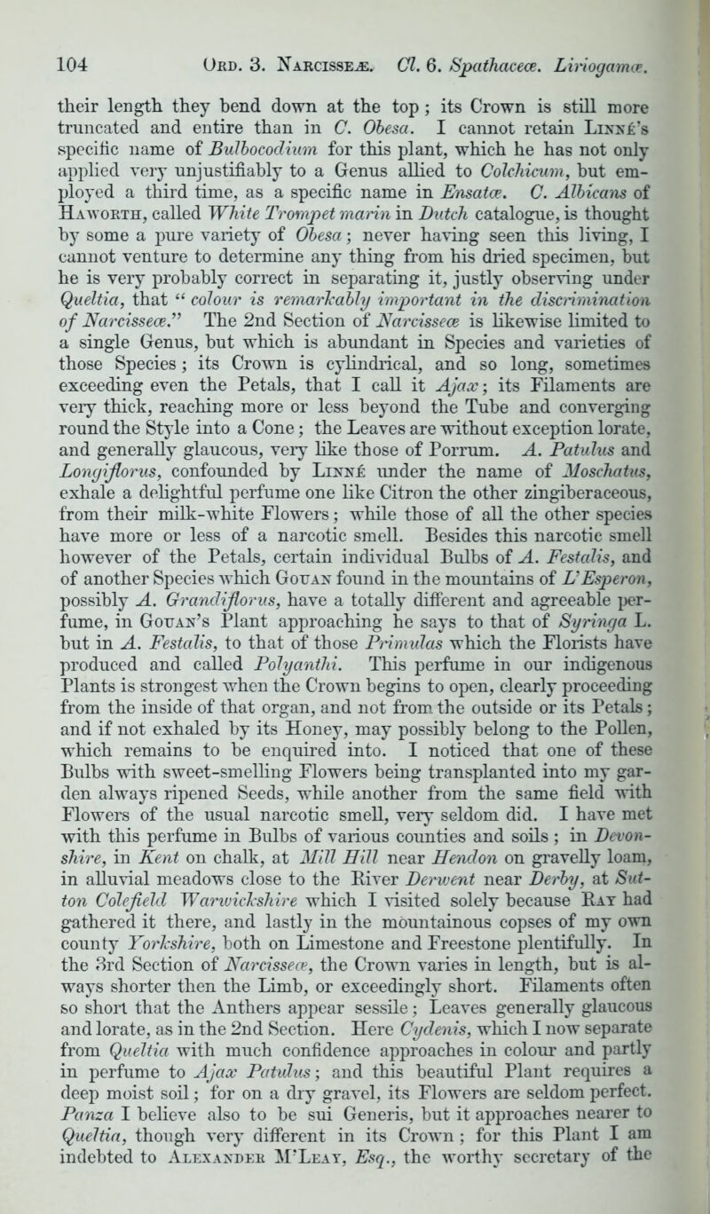 their length they bend down at the top; its Crown is still more truncated and entire than in C. Obesa. I cannot retain Lnrari’s specific name of Bulbococlium for this plant, which he has not only applied very unjustifiably to a Genus allied to Colchicum, but em- ployed a third time, as a specific name in Ensatce. C. Albicans of Haworth, called White Trompet marin in Dutch catalogue, is thought by some a pure variety of Obesa; never having seen this living, I cannot venture to determine any thing from his dried specimen, but he is very probably correct in separating it, justly observing under Queltia, that “ colour is remarkably important in the discrimination of Narcissece.” The 2nd Section of Narcissece is likewise limited to a single Genus, but which is abundant in Species and varieties of those Species; its Crown is cylindrical, and so long, sometimes exceeding even the Petals, that I call it Ajax; its Filaments are very thick, reaching more or less beyond the Tube and converging round the Style into a Cone; the Leaves are without exception lorate, and generally glaucous, very like those of Porrum. A. Patulus and Longijlorus, confounded by Lixxk under the name of Moschatus, exhale a delightful perfume one like Citron the other zingiberaceous, from their milk-white Flowers; while those of all the other species have more or less of a narcotic smell. Besides this narcotic smell however of the Petals, certain individual Bulbs of A. Festalis, and of another Species which Gouan found in the mountains of L’Esperon, possibly A. Grancliflorus, have a totally different and agreeable per- fume, in Gouan’s Plant approaching he says to that of Syringa L. but in A. Festcdis, to that of those Primulas which the Florists have produced and called Polyanthi. This perfume in our indigenous Plants is strongest when the Crown begins to open, clearly proceeding from the inside of that organ, and not from the outside or its Petals; and if not exhaled by its Honey, may possibly belong to the Pollen, which remains to be enquired into. I noticed that one of these Bulbs with sweet-smelling Flowers being transplanted into my gar- den always ripened Seeds, while another from the same field with Flowers of the usual narcotic smell, very seldom did. I have met with this perfume in Bulbs of various counties and soils; in Devon- shire, in Kent on chalk, at Mill Hill near Hendon on gravelly loam, in alluvial meadows close to the River Derwent near Derby, at Sut- ton Colefield Wanuickshire which I visited solely because Bat had gathered it there, and lastly in the mountainous copses of my own county Yorkshire, both on Limestone and Freestone plentifully. In the 3rd Section of Narcissece, the Crown varies in length, but is al- ways shorter then the Limb, or exceedingly short. Filaments often so short that the Anthers appear sessile; Leaves generally glaucous and lorate, as in the 2nd Section. Here Cydenis, which I now separate from Queltia with much confidence approaches in colour and partly in perfume to Ajax Patulus; and this beautiful Plant requires a deep moist soil; for on a dry gravel, its Flowers are seldom perfect. Panza I believe also to be sui Generis, but it approaches nearer to Queltia, though very different in its Crown; for this Plant I am indebted to Alexander M’Leay, Esq., the worthy secretary of the