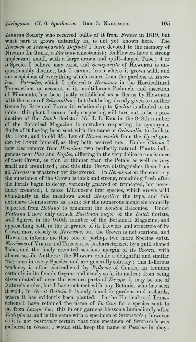 Linnean Society who received bulbs of it from France in 1819, but wbat part it grows naturally in, is not yet known here. The Nonsuch or Incomparable Daffodil I have devoted to the memory of Nicolas Le Quelt, a Parisian rhizotomist; its Flowers have a strong unpleasant smell, with a large crown and quill-shaped Tube ; 4 or 5 Species I believe may exist, and Semipartita of Haworth is un- | questionably distinct, but I cannot learn where it grows wild, and | am suspicious of everything which comes from the gardens at Haer- I lem. Patrocles, which I referred to Hermione in the Horticultural Transactions on account of its multiflorous Peduncle and insertion j of Filaments, has been justly established as a Genus by Haworth I with the name of Schizanthes; but that being already given to another Genus by Ruiz and Pavox its relationship to Qaeltia is alluded to in I mine; this plant I cannot help suspecting will turn out to be a pro- duction of the Dutch florists; Mr. J. B. Ker in the 948th number of the Botanical Magazine is mistaken respecting its synonyms. Bulbs of it having been sent with the name of Orientalis, to the late Dr. Hope, and to old Mr. Lee of Hammersmith from the Upsal gar- den by Lixx£ himself, as they both assured me. Under Chione I now also remove from Hermione two perfectly natural Plants indi- genous near Pisa and Naples, differing in the very delicate consistence of their Crown, as thin or thinner than the Petals, as well as very small and crenulated; and this thin Crown distinguishes them from all Narcissece whatever yet discovered. In Hermione on the contrary the substance of the Crown is thick and strong, remaining fresh after the Petals begin to decay, variously gnawed or truncated, but never finely crenated; I make L’Ecluse’s first species, which grows wild abundantly in the meadows about Monpellier the type, and this extensive Genus serves as a sink for the numerous mongrels annually i imported from Holland to ornament the London Balconies. Under Plateana I now only detach Baselman major of the Dutch florists, well figured in the 940th number of the Botanical Magazine, and approaching both in the fragrance of its Flowers and structure of its j Crown most closely to Narcissus, but the Crown is not scarious, and I Haworth informs me that one or perhaps two more Species exist. Narcissus of Virgil and Theocritus is characterized by a quill-shaped Tube, and the finely crenated scarious margin of its Crown, with j almost sessile Anthers ; the Flowers exhale a delightful and similar ! fragrance in every Species, and are generally solitary ; this 1-florous tendency is often contradicted by Biflorus of Curtis, an Eunuch [ certainly in its female Organs and nearly so in its males ; from being disseminated all over the western parts of Europe, it may be one of Nature’s mules, but I have not met with any Botanist who has seen it wild; in Great Britain it is only found in gardens and orchards, where it has evidently been planted. In the Horticultural Trans- actions I have retained the name of Poeticus for a species sent to me from Languedoc; this in our gardens blossoms immediately after ! Badlifiorus, and is the same with a specimen of Sherard’s ; however as it is not positively certain that this specimen of Sherard’s was gathered in Greece, I would still keep the name of Poeticus in abey-