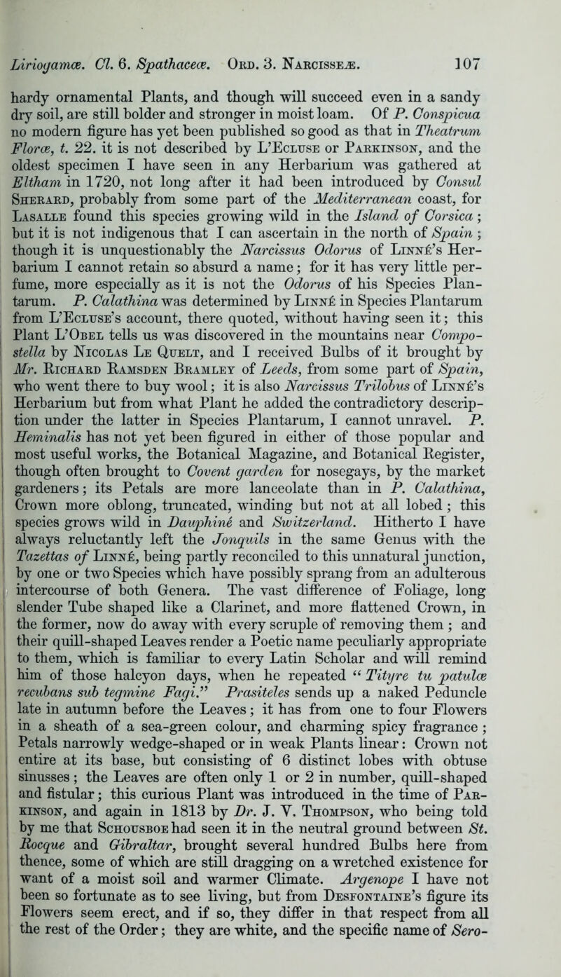hardy ornamental Plants, and though will succeed even in a sandy dry soil, are still bolder and stronger in moist loam. Of P. Conspicua no modern figure has yet been published so good as that in Theatrum Florae, t. 22. it is not described by L’Ecluse or Parkinson, and the oldest specimen I have seen in any Herbarium was gathered at Eltham in 1720, not long after it had been introduced by Consul Sherard, probably from some part of the Mediterranean coast, for Lasalle found this species growing wild in the Island of Corsica; but it is not indigenous that I can ascertain in the north of Spain ; though it is unquestionably the Narcissus Odorus of Linne’s Her- barium I cannot retain so absurd a name; for it has very little per- fume, more especially as it is not the Odorus of his Species Plan- tarum. P. Calathina was determined by Linn£ in Species Plantarum from L’Ecluse’s account, there quoted, without having seen it; this Plant L’Obel tells us was discovered in the mountains near Compo- j stella by Nicolas Le Quelt, and I received Bulbs of it brought by I Mr. Bichard Bamsden Bramlet of Leeds, from some part of Spain, who went there to buy wool; it is also Narcissus Trilobus of Linn£’s Herbarium but from what Plant he added the contradictory descrip- tion under the latter in Species Plantarum, I cannot unravel. P. Heminalis has not yet been figured in either of those popular and most useful works, the Botanical Magazine, and Botanical Begister, i though often brought to Covent garden for nosegays, by the market ! gardeners; its Petals are more lanceolate than in P. Calathina, \ Crown more oblong, truncated, winding but not at all lobed; this i species grows wild in Dauphine and Switzerland. Hitherto I have J always reluctantly left the Jonquils in the same Genus with the I Tazettas of Linnj6, being partly reconciled to this unnatural junction, ! by one or two Species which have possibly sprang from an adulterous intercourse of both Genera. The vast difference of Eoliage, long t slender Tube shaped like a Clarinet, and more flattened Crown, in the former, now do away with every scruple of removing them ; and their quill-shaped Leaves render a Poetic name peculiarly appropriate i to them, which is familiar to every Latin Scholar and will remind him of those halcyon days, when he repeated “ Tityre tu patulce | recubans sub tegmine Fagi.” Prasiteles sends up a naked Peduncle late in autumn before the Leaves; it has from one to four Flowers in a sheath of a sea-green colour, and charming spicy fragrance; Petals narrowly wedge-shaped or in weak Plants linear: Crown not i entire at its base, but consisting of 6 distinct lobes with obtuse ! sinusses; the Leaves are often only 1 or 2 in number, quill-shaped and fistular; this curious Plant was introduced in the time of Par- kinson, and again in 1813 by Dr. J. Y. Thompson, who being told by me that Schotjsboe had seen it in the neutral ground between St. Rocque and Gibraltar, brought several hundred Bulbs here from thence, some of which are still dragging on a wretched existence for want of a moist soil and warmer Climate. Argenope I have not been so fortunate as to see living, but from Desfontaine’s figure its Flowers seem erect, and if so, they differ in that respect from all the rest of the Order; they are white, and the specific name of Sero-