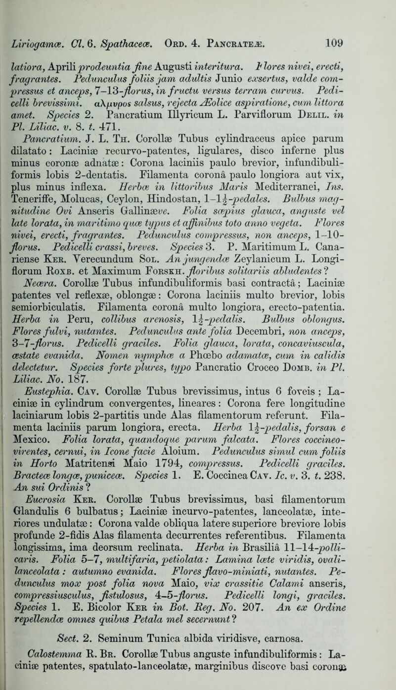 latiora, Aprili prodeuntia fine Augusti interitura. I1 lores nivei, erecti, fragrantes. Pedunculus foliis jam adultis Junio exsertus, valde com- pressus et anceps, 7—13 -fiorus, in fructu versus terram curvus. Pedi- celli brevissimi. aXgvpos salsus, rejecta JEolice aspiratione, cum littora amet. Species 2. Pancratium Illyricum L. Parvifiorum Delil. in PL Liliac. v. 8. t. 471. Pancratium. J. L. Th. Corollae Tubus cvlindraceus apice parum dilatato: Laciniae recurvo-patentes, ligulares, disco inferne plus minus coronee adnatae: Corona laciniis paulo brevior, infundibuli- formis lobis 2-dentatis. Pilamenta corona paulo longiora aut vix, plus minus inflexa. Herbce in littoribus Maris Mediterranei, Ins. Teneriffe, Molucas, Ceylon, Hindostan, 1-1 \-pedales. Bulbus mag- j nitudine Ovi Anseris Gallinaewe. Folia scepius glauca, anguste vel late lorata, in maritimo quae typus et ajfinibus toto anno vegeta. Flores nivei, erecti, fragrantes. Pedunculus compressus, non anceps, 1-10- fiorus. Pedicelli crassi, breves. Species 3. P. Maritimum L. Cana- riense Ker. Yerecundum Sol. An jungendce Zeylanicum L. Longi- florum Koxb. et Maximum Forskh. floribus solitariis abludentes ? Necera. Corollae Tubus infundibuliformis basi contracta; Laciniae patentes vel reflexae, oblongae: Corona laciniis multo brevior, lobis semiorbiculatis. Filamenta corona multo longiora, erecto-patentia. j Herba in Peru, collibus arenosis, \\-pedalis. Bulbus oblongus. Flores fulvi, nutantes. Pedunculus ante folia Decembri, non anceps, ! 3-7-florus. Pedicelli graciles. Folia glauca, lorata, concaviuscula, cestate evanida. Nomen nymphce a Phoebo adamatoe, cum in calidis delectetur. Species forte plures, typo Pancratio Croceo Domb. in PI. Liliac. No. 187. Eustephia. Cay. Corollae Tubus brevissimus, intus 6 foveis ; La- i ciniae in cylindrum convergentes, lineares : Corona fere longitudine , laciniarum lobis 2-partitis unde Alas filamentorum referunt. Fila- menta laciniis parum longiora, erecta. Herba \\-pedalis, forsan e Mexico. Folia lorata, quandoque parum falcata. Flores coccineo- virentes, cernui, in leone facie Aloium. Pedunculus simul cum foliis in Horto Matritensi Maio 1794, compressus. Pedicelli graciles. Bractece longce, punicece. Species 1. E. Coccinea Cay. Ic. v. 3. t. 238. An sui Ordinis ? Eucrosia Ker. Corollae Tubus brevissimus, basi filamentorum Glandulis 6 bulbatus; Laciniae incurvo-patentes, lanceolatae, inte- riors undulatae: Corona valde obliqua latere superiore breviore lobis : profunde 2-fidis Alas filamenta decurrentes referentibus. Filamenta 1 longissima, ima deorsum reclinata. Herba in Brasilia 11—14-jpoZZi- i carls. Folia 5-7, multifaria, petiolata: Lamina Icete viridis, ovali- ! lanceolata: autumno evanida. Flores fiavo-miniati, nutantes. Pe- | dunculus mox post folia nova Maio, vix crassitie Calami anseris, compressiusculus, fistulosus, 4-5-fiorus. Pedicelli longi, graciles. Species 1. E. Bicolor Ker in Bot. Beg. No. 207. An ex Ordine repellendce omnes quibus Petala mel secernunt ? Sect. 2. Seminum Tunica albida viridisve, carnosa. Calostemma R. Br. Corollae Tubus anguste infundibuliformis: La- ciniae patentes, spatulato-lanceolatae, marginibus discove basi coronga