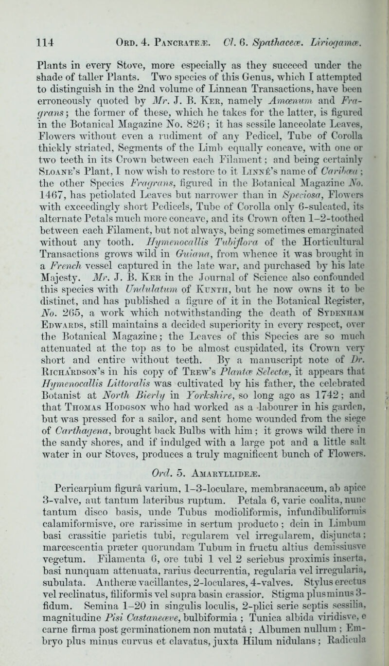 Plants in every Stove, more especially as they succeed under the shade of taller Plants. Two species of this Genus, which I attempted to distinguish in the 2nd volume of Linnean Transactions, have been erroneously quoted by Mr. J. B. Ker, namely Amcenum and Fra- grans; the former of these, which he takes for the latter, is figured in the Botanical Magazine No. 826; it has sessile lanceolate Leaves, Flowers without even a rudiment of any Pedicel, Tube of Corolla thickly striated, Segments of the Limb equally concave, with one or two teeth in its Crown between each Filament; and being certainly Sloane’s Plant, I now wish to restore to it Linn£’s name of Caribcea; the other Species Fragrcins, figured in the Botanical Magazine No. 1467, has petiolated Leaves but narrower than in Sjjeciosa, Flowers with exceedingly short Pedicels, Tube of Corolla only 6-sulcated, its alternate Petals much more concave, and its Crown often 1-2-toothed between each Filament, but not always, being sometimes emarginated without any tooth. Hymenocallis Tubijtorci of the Horticultural Transactions grows wild in Guiana, from whence it was brought in a French vessel captured in the late war, and purchased by his late Majesty. Mr. J. B. Ker in the Journal of Science also confounded this species with Undulatum of Ktjnth, but he now owns it to be distinct, and has published a figure of it in the Botanical Register, No. 265, a work which notwithstanding the death of Sydenham Edwards, still maintains a decided superiority in every respect, over the Botanical Magazine; the Leaves of this Species are so much attenuated at the top as to be almost cuspidated, its Crown very short and entire without teeth. By a manuscript note of Dr. Bjchardson’s in his copy of Trew’s Planter Selectee, it appears that Hymenocallis Littoralis was cultivated by his father, the celebrated Botanist at North Bierly in Yorkshire, so long ago as 1742; and that Thomas Hodgson who had worked as a labourer in his garden, but was pressed for a sailor, and sent home wounded from the siege of Carthagena, brought back Bulbs with him ; it grows wild there in the sandy shores, and if indulged with a large pot and a little salt water in our Stoves, produces a truly magnificent bunch of Flowers. Ord. 5. Amaryllide^e. Pericarpium figura varium, 1-3-loculare, membranaceum, ab apice 3-valve, aut tantum lateribus ruptum. Petala 6, varie coalita, nunc tantum disco basis, unde Tubus modioliformis, infundibuhforrais calamiformisve, ore rarissime in sertum producto; dein in Limbum basi crassitie parietis tubi, rcgularem vel irregularem, disjuncta; marcescentia praeter quorundam Tubum in fructu altius demissiusve vegetum. Filamenta 6, ore tubi 1 vel 2 seriebus proximis inserta, basi nunquam attenuata, rarius decurrentia, regularia vel irregularia, subulata. Antherae vacillantes, 2-loculares, 4-valves. Stylus erectus vel reclinatus, filiformis vel supra basin crassior. Stigma plus minus 3- fidum. Semina 1-20 in singulis loculis, 2-plici serie septis sessilia, magnitudine Pisi Castaneceve, bulbiformia ; Tunica albida viridisve, e carne firma post germinationem non mutata; Albumen nullum : Em- bryo plus minus enrvus et clavatus, juxta Hilum nidulans; Radieula