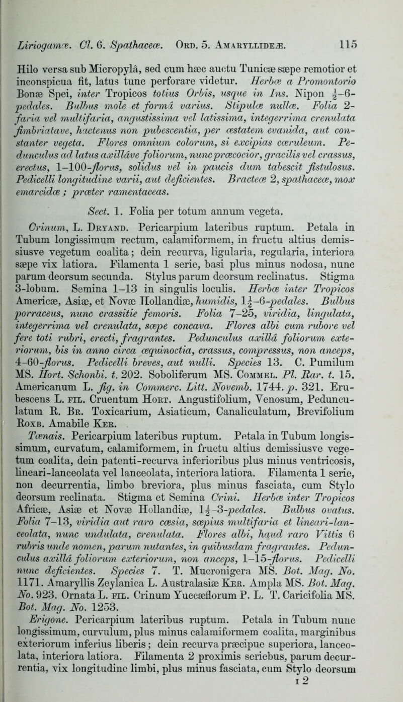 Hilo versa sub Micropyla, sed cum haec auetu Tunicae saepe remotior et inconspieua fit, latus tunc perforare videtur. Herbce a Promontorio Bonae Spei, inter Tropicos totius Orbis, usque in Ins. Nipon |-6- pedales. Bulbus mole et forma varius. Stipules nullce. Folia 2- faria vel multifaria, angustissima vel latissima, integerrima crenulata Jimbriatave, hactenus non pubescentia, per cestatem evanida, aut con- stanter vegeta. Flores omnium colorum, si excipias cceruleum. Pe- dunculus ad latus axillave foliorum, nuncprcecocior, gracilis vel crassus, erectus, 1-100-Jlorus, solidus vel in paucis dum tabescit Jistulosus. Pedicelli longitudine varii, aut dejidentes. Bractece 2, spathacece, mox emarddce ; prceter ramentaceas. Sect. 1. Folia per to turn annum vegeta. Crinum, L. Dryand. Pericarpium lateribus ruptum. Petala in Tubum longissimum rectum, calamiformem, in fructu altius demis- siusve vegetum coalita; dein recurva, ligularia, regularia, interiora saepe vix latiora. Filamenta 1 serie, basi plus minus nodosa, nunc parum deorsum secunda. Stylus parum deorsum reclinatus. Stigma 3- lobum. Semina 1-13 in singulis loculis. Herbce inter Tropicos Americae, Asiae, et Novae Hollandiae, humidis, 1^-6-pedales. Bulbus porraceus, nunc crassitie femoris. Folia 7-25, viridia, lingulata, integerrima vel crenulata, scope concava. Flores albi cum rubore vel fere toti rubri, erecti, fragrantes. Pedunculus axilla foliorum exte- rior um, bis in anno circa cequinoctia, crassus, compressus, non anceps, 4- 60-jlorus. Pedicelli breves, aut nulli. Species 13. C. Pumilum MS. Hort. Schonbi. t. 202. Soboliferum MS. Commel. PI. Bar. t. 15. Americanum L. Jig. in Commerc. Litt. Novernb. 1744. p. 321. Eru- bescens L. fil. Cruentum Hort. Angustifolium, Yenosum, Peduncu- latum R. Br. Toxicarium, Asiaticum, Canaliculatum, Brevifolium Roxb. Amabile Ker. Tcenais. Pericarpium lateribus ruptum. Petala in Tubum longis- simum, curvatum, calamiformem, in fructu altius demissiusve vege- tum coalita, dein patenti-recurva inferioribus plus minus ventricosis, lineari-lanceolata vel lanceolata, interiora latiora. Filamenta 1 serie, non decurrentia, limbo breviora, plus minus fasciata, cum Stylo deorsum reclinata. Stigma et Semina Crini. Herbce inter Tropicos Africee, Asiae et Novae Hollandiae, 1^-3-peddles. Bulbus ovatus. Folia 7-13, viridia aut raro ccesici, scepius multifaria et lineari-lan- ceolata, nunc undulata, crenulata. Flores albi, haud raro Vittis 6 rubris uncle nomen, parum nutantes, in quibusclam fragrantes. Pedun- culus axilla foliorum exteriorum, non anceps, 1-15-jlorus. Pedicelli nunc dejidentes. Species 7. T. Mucronigera MS. Bot. Mag. No. 1171. Amaryllis Zeylanica L. Australasiae Ker. Ampla MS. Bot. Mag. No. 923. Ornata L. fil. Crinum Yuccaeflorum P. L. T. Caricifolia MS. Bot. Mag. No. 1253. Erigone. Pericarpium lateribus ruptum. Petala in Tubum nunc longissimum, curvulum, plus minus calamiformem coalita, marginibus exteriorum inferius liberis; dein recurva praecipue superiora, lanceo- lata, interiora latiora. Filamenta 2 proximis seriebus, parum decur- rentia, vix longitudine limbi, plus minus fasciata, cum Stylo deorsum i 2
