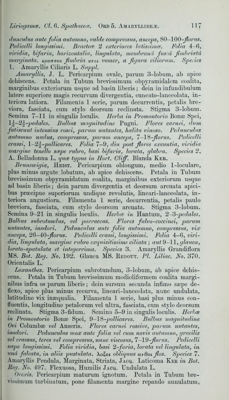 (lunculus ante folia autumno, valde compressus, anceps, 80-100-floras. Pedicelli longissimi. Bractece 2 exteriores latissimce. Folia 4-6, viridia, bifaria, horizontalia, lingulata, membrand fused Jimbriatd marginata. Kpoarros fimbria vets vomer, a Jigura ciliorum. Species 1. Amaryllis Ciliaris L. Suppl. Amaryllis, J. L. Pericarpium ovale, parum 3-lobum, ab apice dehiscens. Petala in Tubum brevissimum obpyramidalem coalita, marginibus exteriorum usque ad basin liberis; dein in infundibulum latere superiore magis recurvum divergentia, cuneato-laneeolata, in- teriora latiora. Filamenta 1 serie, parum decurrentia, petalis bre- viora, fasciata, cum stylo deorsum reclinata. Stigma 3-lobum. Semina 7-11 in singulis loculis. Herba in Promontorio Bona) Spei, 1 \-2\-pedcdes. Bulbus magnitudine Pugni. Flores carnei, dum \ fatiscunt intensius rosei, parum nutantes, halitu vinoso. Peduneulus autumno nudus, compressus, parum anceps, 7—18-floras. Pedicelli crassi, 1-2%-pollicares. Folia 7-9, diu post flores exeuntia, viridia margine tenello scepe rubro, basi bifaria, lorata, glabra. Species 2. A. Belladonna L. quee typus in Hort. Cliff. Blanda Ker. Brunswigia, Heist. Pericarpium oblongum, medio 1-loculare, plus minus argute lobatum, ab apice dehiscens. Petala in Tubum brevissimum obpyramidatum coalita, marginibus exteriorum usque ad basin liberis; dein parum divergentia et deorsum arcuata apici- bus praecipue superiorum undique revolutis, lineari-lanceolata, in- teriora angustiora. Pilamenta 1 serie, decurrentia, petalis paulo breviora, fasciata, cum stylo deorsum arcuata. Stigma 3-lobum. Semina 9-21 in singulis loculis. Herbce in Han turn, 2-3-pedales. Bulbus subrotundus, vel porraceus. Flores fulvo-coccinei, parum nutantes, inodori. Peduneulus ante folia autumno, compressus, vix j anceps, 26—40-jlorus. Pedicelli crassi, longissimi. Folia 4—6, viri- dia, lingulata, margine rubro exquisitissime ciliata; aut 9-11, glauca, lorato-spatulata et integerrima. Species 3. Amaryllis Grandiflora MS. Bot. Reg. No. 192. Glauca MS. Bedout. PI. Liliac. No. 370. Orientalis L. Loxanthes. Pericarpium subrotundum, 3-lobum, ab apice dehis- cens. Petala in Tubum brevissimum modioliformem coalita margi- nibus infra os parum liberis; dein sursum secunda infimo saepe de- flexo, apice plus minus recurva, lineari-lanceolata, nunc undulata, latitudine vix inaequalia. Filamenta 1 serie, basi plus minus con- fluentia, longitudine petalorum vel ultra, fasciata, cum stylo deorsum reclinata. Stigma 3-fidum. Semina 5—9 in singulis loculis. Herbce in Promontorio Bonae Spei, 9-18-pollicares. Bulbus magnitudine Ovi Columbae vel Anseris. Flores carnei roseive, parum nutantes, inodori. Peduneulus mox ante folia vel cum novis autumno, gracilis vel crassus, teres vel compressus, nunc viscosus, 7-19-jlorus. Pedicelli scepe longissimi. Folia viridia, basi 2-faria, lorata vel lingulata, in und falcata, in aliis pustulata. Xolos obliquus aedos jlos. Species 7. Amaryllis Pendula, Marginata, Striata, Jacq. Laticoma Ker in Bot. Reg. No. 497. Flexuosa, Humilis Jacq,. Undulata L. Orexis. Pericarpium maturum ignotum. Petala in Tubum bre- vissimum turbinatum, pone filamenta margine repando annulatum,