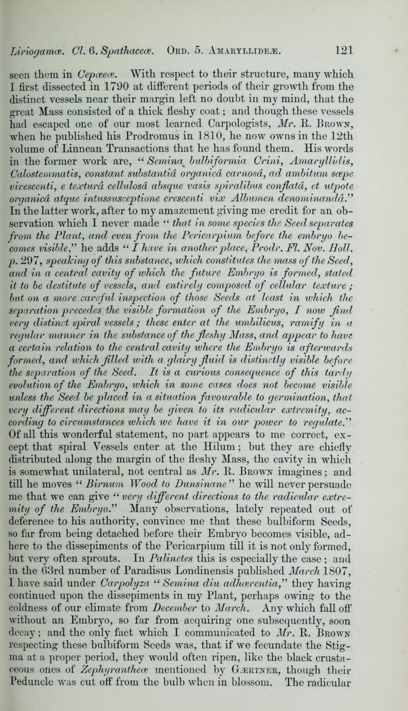 seen them in Cepceece. With respect to their structure, many which I first dissected in 1790 at different periods of their growth from the distinct vessels near their margin left no doubt in my mind, that the great Mass consisted of a thick fleshy coat; and though these vessels had escaped one of our most learned Carpologists, Mr. It. Brown, when he published his Prodromus in 1810, he now owns in the 12th volume of Linnean Transactions that he has found them. His words in the former work are, “ Seminak bulbiformia Crini, Amaryllidis, Calostemmatis, constant substantia organica carnosd, ad ambitum scepe vir.escenti, e textura cellulosd absque vasis spiralibus conflatd, et utpote organica atque intussusceptione crescenti vix Albumen denominandd.’’ In the latter work, after to my amazement giving me credit for an ob- servation which I never made “ that in some species the Seed separates from the Plant, and even from the Pericarpium before the embryo be- comes visible,” he adds “ I have in another place, Prodr. FI. Nov. Hold, p. 297, speaking of this substance, which constitutes the mass of the Seed, and in a central cavity of which the future Embryo is formed, stated it to be destitute of vessels, and entirely composed of cellular texture ; but on a more careful inspection of those Seeds at least in which the separation precedes the visible formation of the Embryo, I now find very distinct spiral vessels; these enter at the umbilicus, ramify in a regular manner in the substance of the fleshy Mass, and appear to have a certain relation to the central cavity where the Embryo is afterwards formed, and which filled with a glairy fluid is distinctly visible before the separation of the Seed. It is a curious consequence of this tardy evolution of the Embryo, which in some cases does not become visible unless the Seed be placed in a situation favourable to germination, that very different directions may be given to its radicular extremity, ac- cording to circumstances which we have it in our power to regulate.” Of all this wonderful statement, no part appears to me correct, ex- cept that spiral Vessels enter at the Hilum ; but they are chiefly distributed along the margin of the fleshy Mass, the cavity in which is somewhat unilateral, not central as Mr. It. Brown imagines; and till he moves “ Birnum Wood to Dunsinane ” he will never persuade me that we can give “ very different directions to the radicular extre- mity of the Embryo.” Many observations, lately repeated out of deference to his authority, convince me that these bulbiform Seeds, so far from being detached before their Embryo becomes visible, ad- here to the dissepiments of the Pericarpium till it is not only formed, but very often sprouts. In Palinetes this is especially the case ; and in the 63rd number of Paradisus Londinensis published March 1807, I have said under Carpolyza “ Semina diu adhcerentia,” they having continued upon the dissepiments in my Plant, perhaps owing to the coldness of our climate from December to March. Any which fall off without an Embryo, so far from acquiring one subsequently, soon decay; and the only fact which I communicated to Mr. It. Brown respecting these bulbiform Seeds was, that if we fecundate the Stig- ma at a proper period, they would often ripen, like the black crusta- ceous ones of Zephyranthece mentioned by G.ertner, though their Peduncle was cut off from the bulb when in blossom. The radicular