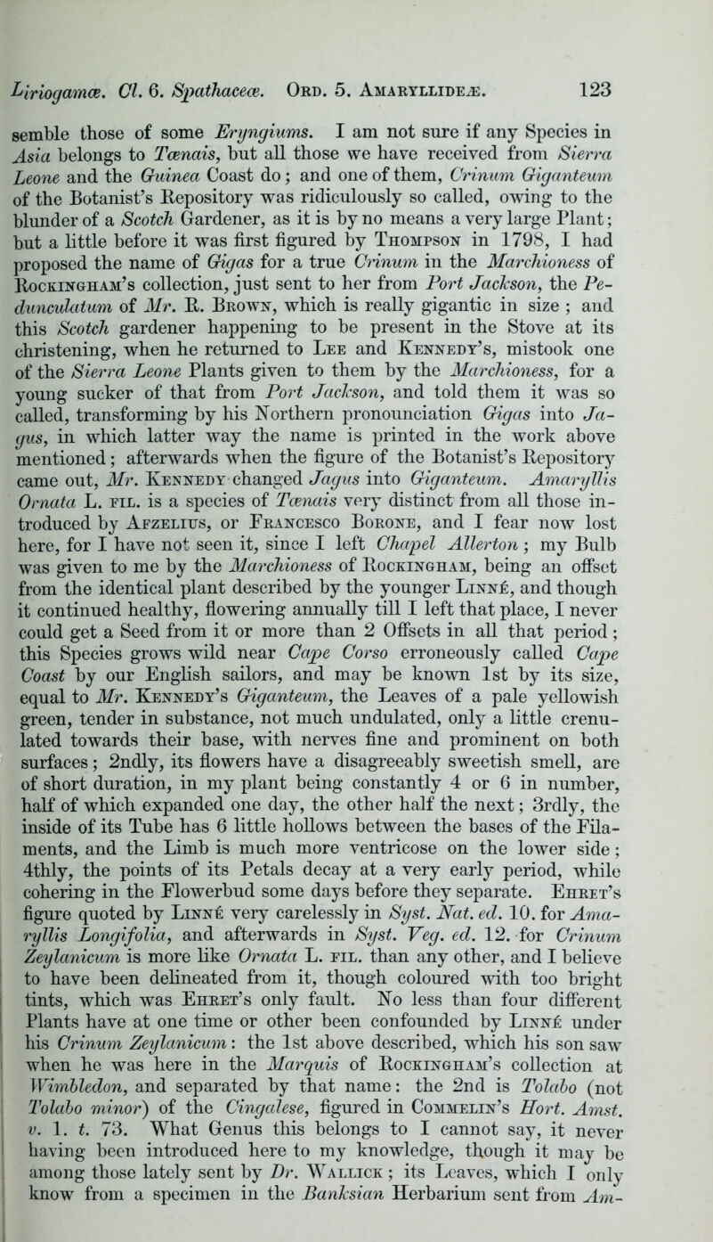 semble those of some Eryngiums. I am not sure if any Species in Asia belongs to Tcenais, but all those we have received from Sierra Leone and the Guinea Coast do; and one of them, Crinum Giganteum of the Botanist’s Repository was ridiculously so called, owing to the blunder of a Scotch Gardener, as it is by no means a very large Plant; but a little before it was first figured by Thompson in 1798, I had proposed the name of Gig as for a true Crinum in the Marchioness of Rockingham’s collection, just sent to her from Port Jackson, the Pe- dunculatum of Mr. R. Brown, which is really gigantic in size ; and this Scotch gardener happening to be present in the Stove at its christening, when he returned to Lee and Kennedy’s, mistook one of the Sierra Leone Plants given to them by the Marchioness, for a young sucker of that from Port Jackson, and told them it was so called, transforming by his Northern pronounciation Gigas into Ja- gus, in which latter way the name is printed in the work above mentioned; afterwards when the figure of the Botanist’s Repository came out, Mr. Kennedy changed Jagus into Giganteum. Amaryllis Ornata L. fil. is a species of Tcenais very distinct from all those in- troduced by Afzelius, or Francesco Borone, and I fear now lost here, for I have not seen it, since I left Chapel Allerton ; my Bulb was given to me by the Marchioness of Rockingham, being an offset from the identical plant described by the younger Linn!:, and though it continued healthy, flowering annually till I left that place, I never could get a Seed from it or more than 2 Offsets in all that period; this Species grows wild near Cape Corso erroneously called Cape Coast by our English sailors, and may be known 1st by its size, equal to Mr. Kennedy’s Giganteum, the Leaves of a pale yellowish green, tender in substance, not much undulated, only a little crenu- lated towards their base, with nerves fine and prominent on both surfaces; 2ndly, its flowers have a disagreeably sweetish smell, are of short duration, in my plant being constantly 4 or 6 in number, half of which expanded one day, the other half the next; 3rdly, the inside of its Tube has 6 little hollows between the bases of the Fila- ments, and the Limb is much more ventricose on the lower side; 4thly, the points of its Petals decay at a very early period, while cohering in the Flowerbud some days before they separate. Ehret’s figure quoted by Linne very carelessly in Syst. Nat. ed. 10. for Ama- ryllis Longifolia, and afterwards in Syst. Veg. ed. 12. for Crinum Zeylanicum is more like Ornata L. fil. than any other, and I believe to have been delineated from it, though coloured with too bright tints, which was Ehret’s only fault. No less than four different Plants have at one time or other been confounded by Linn£ under his Crinum Zeylanicum: the 1st above described, which his son saw when he was here in the Marquis of Rockingham’s collection at Wimbledon, and separated by that name: the 2nd is Toledo (not Tolabo minor) of the Cingcdese, figured in Commelin’s Hort. Amst. v. 1. t. 73. What Genus this belongs to I cannot say, it never having been introduced here to my knowledge, though it may be among those lately sent by Dr. Wallick ; its Leaves, which I only know from a specimen in the Banksian Herbarium sent from Am-