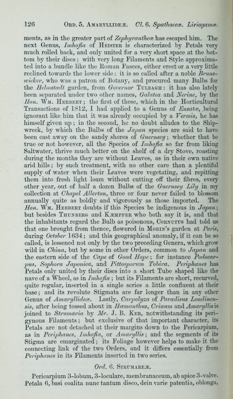 ments, as in the greater part of Zephyranthece has escaped him. The next Genus, Imhojia of Heister is characterized by Petals very much rolled back, and only united for a very short space at the bot- tom by their discs ; with very long Filaments and Style approxima- ted into a bundle like the Pom an Fasces, either erect or a very little reclined towards the lower side: it is so called after a noble Brutis- wicker, who was a patron of Botany, and procured many Bulbs for the Helmstadt garden, from Governor Ttjlbagh: it has also lately been separated under two other names, Galatea and Nerine, by the Hon. Wm. Herbert ; the first of these, which in the Horticultural Transactions of 1812, I had applied to a Genus of Ensatce, being ignorant like him that it was already occupied by a Vermis, he has himself given up; in the second, he no doubt alludes to the Ship- wreck, by which the Bulbs of the Japan species are said to have been cast away on the sandy shores of Guernsey; whether that be true or not however, all the Species of Imhojia so far from liking Saltwater, thrive much better on the shelf of a dry Stove, roasting during the months they are without Leaves, as in their own native arid hills; by such treatment, with no other care than a plentiful supply of water when their Leaves were vegetating, and repitting them into fresh light loam without cutting off their fibres, every other year, out of half a dozen Bulbs of the Guernsey Lily in my collection at Chapel Allerton, three or four never failed to blossom annually quite as boldly and vigorously as those imported. The Hon. Wh. Hebbert doubts if this Species be indigenous in Japan; but besides Thunberg and ILempfer who both say it is, and that the inhabitants regard the Bulb as poisonous, Corncjtus had told us that one brought from thence, flowered in Morin’s garden at Paris, during October 1634; and this geographical anomaly, if it can he so called, is lessened not only by the two preceding Genera, which grow wild in China, hut by some in other Orders, common to Japan and the eastern side of the Cape of Good Hope; for instance Podocar- pus, Sophora Japonica, and Pittosporum Tobira. Periphanes has Petals only united by their discs into a short Tube shaped like the nave of a Wheel, as in Imhojia ; but its Filaments are short, recurved, quite regular, inserted in a single series a little confluent at their base; and its revolute Stigmata are far longer than in any other Genus of Amaryllidece. Lastly, Carpolyza of Paradisus Londinen- sis, after being tossed about in Haemanthus, Crinum and Amaryllis is joined to Strumaria by Mr. J. B. Ker, notwithstanding its peri- gynous Filaments; but exclusive of that important character, its Petals are not detached at their margins down to the Pericarpium, as in Periphanes, Imhojia, or Amaryllis', and the segments of its Stigma are emarginated; its Foliage however helps to make it the connecting link of the two Orders, and it differs essentially from Periphanes in its Filaments inserted in two series. Ord. 6. Strfmare.®. Pericarpium 3-lobum, 3-loculare, membranaceum, ab apice 3-valve. Petala 6, basi coalita nunc tan turn disco, dein varie paten tia, oblonga,