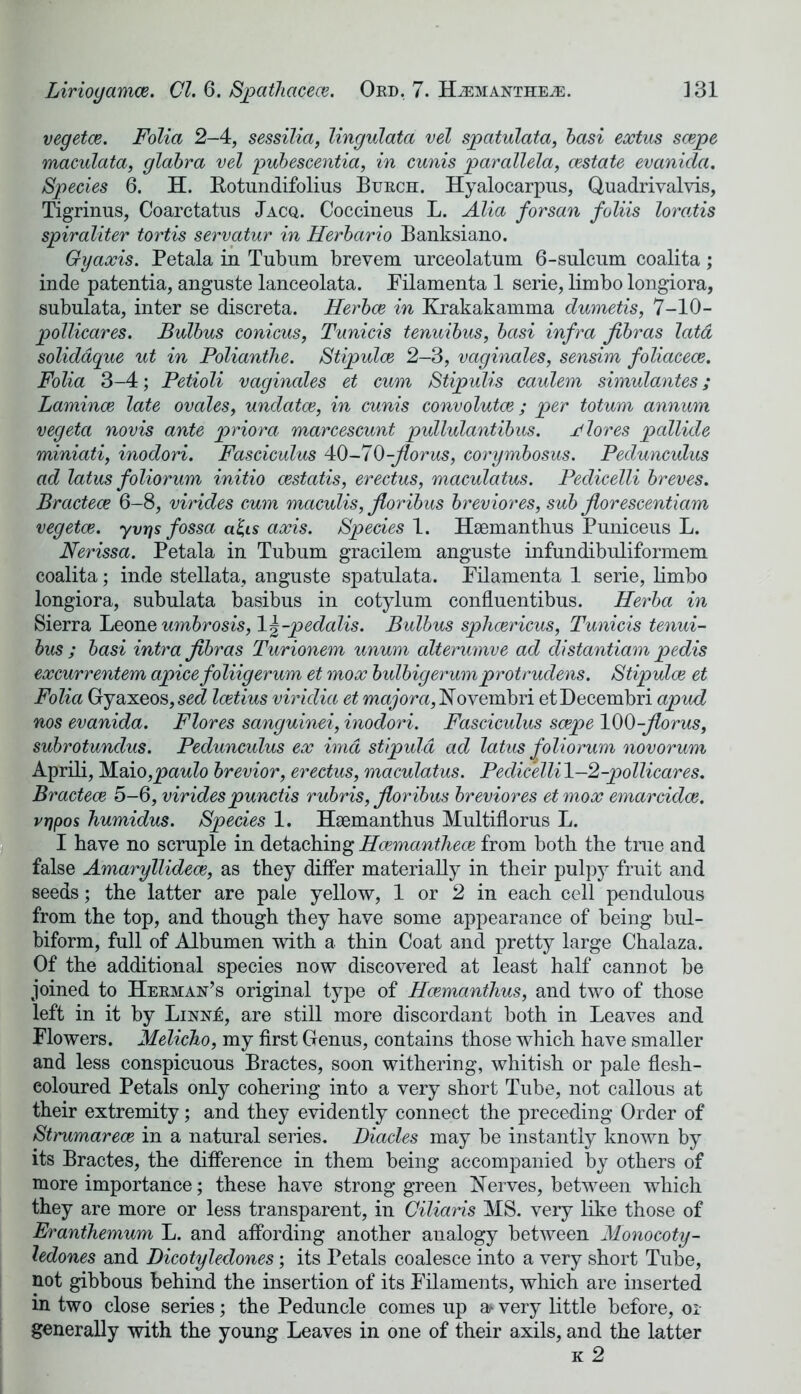 vegetce. Folia 2-4, sessilia, lingulata vel spatulata, basi eoctus scepe maculata, glabra vel pubescentia, in cunis parallela, cestate evanida. Species 6. H. Rotundifolius Burch. Hyalocarpus, Quadrivalvis, Tigrinus, Coarctatus Jacq. Coccineus L. Alia forsan foliis loratis spiraliter tortis servatur in Herbario Banksiano. Gyaxis. Petala in Tubum brevem urceolatum 6-sulcum coalita; inde patentia, anguste lanceolata. Filamenta 1 serie, limbo longiora, subulata, inter se discreta. Herbce in Krakakamma dumetis, 7-10- pollicares. Bulbus conicus, Tunicis tenuibus, basi infra Jibras lata soliddque ut in Polianthe. Stipulce 2—3, vaginales, sensim foliacece. Folia 3-4; Petioli vaginales et cum Stipulis caulem simulantes; Laminae late ovales, undatce, in cunis convolutce ; per totum annum vegeta novis ante priora marcescunt pullulantibus. Flores pallide miniati, inodori. Fasciculus 40-70-jlorus, corymbosus. Pedunculus ad latus foliorum initio cestatis, erectus, maculatus. Pedicelli breves. Bracteae 6-8, virides cum maculis, floribus breviores, sub florescentiam vegetce. yvrjs fossa a£is axis. Species 1. Hsemanthus Puniceus L. Nerissa. Petala in Tubum gracilem anguste infundibuliformem coalita; inde stellata, anguste spatulata. Pilamenta 1 serie, limbo longiora, subulata basibus in cotylum confluentibus. Herba in Sierra Leone umbrosis, \\-pedalis. Bulbus sphoericus, Tunicis tenui- bus ; basi intra jibras Turionem unum alterumve ad clistantiam pedis excurrentem apicefoliigerum et mox bulbigerumprotrudens. Stipulce et Folia Gyaxeos, sed Icetius viriclia et major a,IS ovembri etDecembri apud nos evanida. Flores sanguinei, inodori. Fasciculus scepe 100-jlorus, subrotundus. Pedunculus ex imd stipuld ad latus foliorum novorum Aprili, Maio,paulo brevior, erectus, maculatus. Pedicelli 1-2-pollicares. Bracteae 5-6, viridespunctis rubris, floribus breviores etmox emarcidae. vrjpos humidus. Species 1. Haemanthus Multiflorus L. I have no scruple in detaching Hcemanthece from both the true and false Amaryllidece, as they differ materially in their pulpy fruit and seeds; the latter are pale yellow, 1 or 2 in each cell pendulous from the top, and though they have some appearance of being bul- biform, full of Albumen with a thin Coat and pretty large Chalaza. Of the additional species now discovered at least half cannot be joined to Herman’s original type of Hcemanthus, and two of those left in it by Linn£, are still more discordant both in Leaves and Flowers. Melicho, my first Genus, contains those which have smaller and less conspicuous Bractes, soon withering, whitish or pale flesh- eoloured Petals only cohering into a very short Tube, not callous at their extremity; and they evidently connect the preceding Order of Strumarece in a natural series. Diacles may be instantly known by its Bractes, the difference in them being accompanied by others of more importance; these have strong green hierves, between which they are more or less transparent, in Ciliaris MS. very like those of Eranthemum L. and affording another analogy between Monocoty- ledones and Dicotyledones; its Petals coalesce into a very short Tube, not gibbous behind the insertion of its Filaments, which are inserted in two close series; the Peduncle comes up a* very little before, or generally with the young Leaves in one of their axils, and the latter k 2
