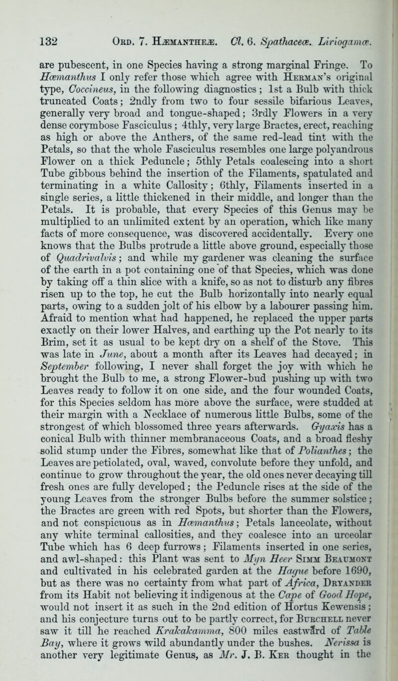 are pubescent, in one Species having a strong marginal Fringe. To Hcemanthus I only refer those which agree with Herman’s original type, Coccineus, in the following diagnostics; 1st a Bulb with thick truncated Coats; 2ndly from two to four sessile bifarious Leaves, generally very broad and tongue-shaped; 3rdly Flowers in a very- dense corymbose Fasciculus; 4thly, very large Bractes, erect, reaching as high or above the Anthers, of the same red-lead tint with the Petals, so that the whole Fasciculus resembles one large polyandrous Flower on a thick Peduncle; 5thly Petals coalescing into a short Tube gibbous behind the insertion of the Filaments, spatulated and terminating in a white Callosity; 6thly, Filaments inserted in a single series, a little thickened in their middle, and longer than the Petals. It is probable, that every Species of this Genus may be multiplied to an unlimited extent by an operation, which like many facts of more consequence, was discovered accidentally. Every one knows that the Bulbs protrude a little above ground, especially those of Quaclrivalvis; and while my gardener was cleaning the surface of the earth in a pot containing one of that Species, which was done by taking off a thin slice with a knife, so as not to disturb any fibres risen up to the top, he cut the Bulb horizontally into nearly equal parts, owing to a sudden jolt of his elbow by a labourer passing him. Afraid to mention what had happened, he replaced the upper parts exactly on their lower Halves, and earthing up the Pot nearly to its Brim, set it as usual to be kept dry on a shelf of the Stove. This was late in June, about a month after its Leaves had decayed; in September following, I never shall forget the joy with which he brought the Bulb to me, a strong Flower-bud pushing up with two Leaves ready to follow it on one side, and the four wounded Coats, for this Species seldom has more above the surface, were studded at their margin with a Necklace of numerous little Bulbs, some of the strongest of which blossomed three years afterwards. Gy axis has a eonical Bulb with thinner membranaceous Coats, and a broad fleshy solid stump under the Fibres, somewhat like that of Polianthes; the Leaves are petiolated, oval, waved, convolute before they unfold, and continue to grow throughout the year, the old ones never decaying till fresh ones are fully developed; the Peduncle rises at the side of the young Leaves from the stronger Bulbs before the summer solstice; the Bractes are green with red Spots, but shorter than the Flowers, and not conspicuous as in Hcemanthus; Petals lanceolate, without any white terminal callosities, and they coalesce into an urceolar Tube which has 6 deep furrows; Filaments inserted in one series, and awl-shaped: this Plant was sent to Myn Heer Simm Beaumont and cultivated in his celebrated garden at the Hague before 1690, but as there was no certainty from what part of Africa, Dryander from its Habit not believing it indigenous at the Cape of Good Hope, would not insert it as such in the 2nd edition of Hortus Kewensis; and his conjecture turns out to be partly correct, for Burchell never saw it till he reached KraJcaJcamma, 800 miles eastward of Table Bay, where it grows wild abundantly under the bushes. Nerissa is another very legitimate Genus, as Mr. J. B. Ker thought in the