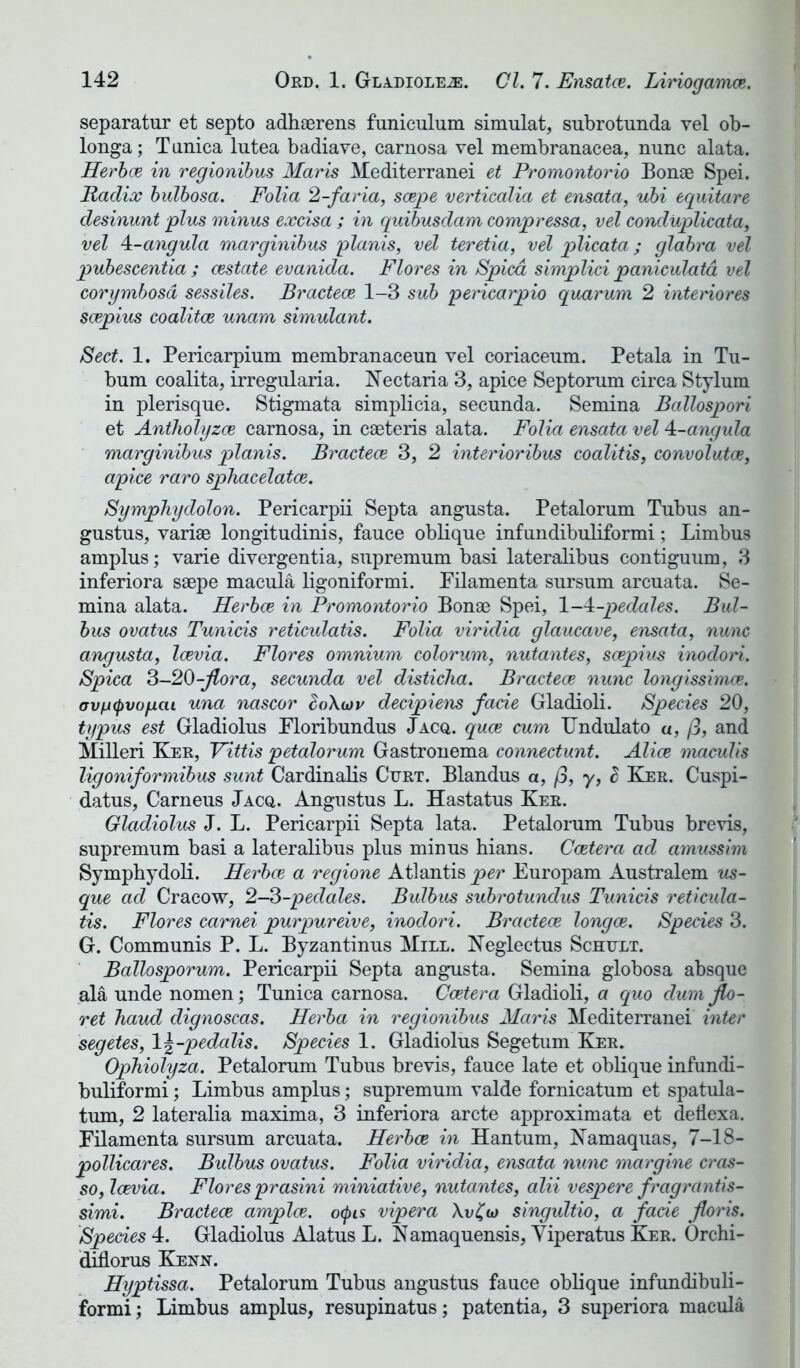 separatur et septo adhserens funiculum simulat, subrotunda vel ob- longa; Tunica lutea badiave, carnosa vel membranacea, nunc alata. Herbce in regionibus Maris Mediterranei et Promontorio Bonae Spei. Radix bulbosa. Folia 2-faria, scepe verticalia et ensata, ubi equitare desinunt plus minus excisa ; in quibusdam compressa, vel conduplicata, vel 4-angula marginibus planis, vel teretia, vel plicata; glabra vel pubescentia ; cestate evanida. Flores in Spied simplici pciniculata vel corymbosd sessiles. Bractece 1-3 sub pericarpio quarum 2 interiores scepius coalitce unam simulant. Sect. 1. Pericarpium membranaceun vel coriaceum. Petala in Tu- bum coalita, irregularia. Nectaria 3, apice Septorum circa Stylum in plerisque. Stigmata simplicia, secunda. Semina Ballospori et Antholyzoe carnosa, in caeteris alata. Folia ensata vel 4-angula marginibus planis. Bractece 3, 2 interioribus coalitis, convolutce, apice raro sphacelatce. Symphydolon. Pericarpii Septa angnsta. Petalorum Tubus an- gustus, variae longitudinis, fauce oblique infundibuliformi; Limbus amplus; varie divergentia, supremum basi lateralibus contiguum, 3 inferiora saepe macula ligoniformi. Pilamenta sursum arcuata. Se- mina alata. Herbce in Promontorio Bonae Spei, 1-4-pedales. Bul- bus ovatus Tunicis reticulatis. Folia viridia glaucave, ensata, nunc angusta, Icevia. Flores omnium colorum, nutantes, scepius inodori. Spica 3-20-flora, secunda vel disticha. Bractece nunc longissimce. avfjcpvofxai una nascor SoXor decipiens facie Gladioli. Species 20, typus est Gladiolus Floribundus Jacq. quee cum TJndulato a, ft, and Milleri Ker, Fittis petalorum Gastronema connectunt. Alice maculis ligoniformibus sunt Cardinalis Curt. Blandus a, fj, y, S Ker. Cuspi- datus, Carneus Jacq. Angustus L. Hastatus Ker. Gladiolus J. L. Pericarpii Septa lata. Petalorum Tubus brevis, supremum basi a lateralibus plus minus hians. Ccetera ad amussim Symphydoli. Herbce a regione Atlantis per Europam Australem us- que ad Cracow, 2-3-pedales. Bulbus subrotundus Tunicis reticula- tis. Flores carnei purpureive, inodori. Bractece longce. Species 3. G. Communis P. L. Byzantinus Mill. Neglectus Schult. Ballosporum. Pericarpii Septa angusta. Semina globosa absque ala unde nomen; Tunica carnosa. Ccetera Gladioli, a quo dum flo- ret haud dignoscas. Herba in regionibus Maris Mediterranei inter segetes, \\-pedalis. Species 1. Gladiolus Segetum Ker. Ophiolyza. Petalorum Tubus brevis, fauce late et oblique infundi- buliformi ; Limbus amplus; supremum valde fornicatum et spatula- tum, 2 lateralia maxima, 3 inferiora arete approximata et deflexa. Filamenta sursum arcuata. Herbce in Hantum, Kamaquas, 7-18- pollicares. Bulbus ovatus. Folia viridia, ensata nunc margine cras- so, Icevia. Flores prasini miniative, nutantes, alii vespere fragrantis- simi. Bractece amplce. ocpis vipera \v£io singultio, a facie floris. Species 4. Gladiolus Alatus L. Namaquensis, Yiperatus Ker. Orchi- diflorus Kenn. Hyptissa. Petalorum Tubus angustus fauce oblique infundibuli- formi; Limbus amplus, resupinatus; patentia, 3 superiora macula