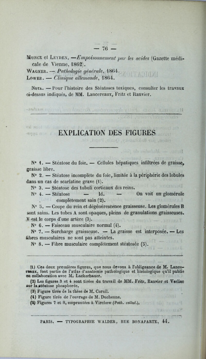 Munck et Leiden. —Empoisonnement par les acides (Gazette médi- cale de Vienne, 1862). Wagner. — Pathologie générale, 1864, Lower. — Clinique allemande, 1864. Nota. — Pour l’histoire des Stéatoses toxiques, consulter les travaux ci-dessus indiqués, de MM. Lancereaux, Fritz et Ranvier. EXPLICATION DES FIGURES N® 1. — Stéatose du foie. — Cellules hépatiques infiltrées de graisse, graisse libre. N° 2. — Stéatose incomplète du foie, limitée à la périphérie des lobules dans un cas de scarlatine grave (1). N° 3. — Stéatose des tubuli corticaux des reins. N° 4. - Stéatose — Id. — On voit un glomérule complètement sain (2). N° 5. — Coupe du rein et dégénérescence graisseuse. Les glomérules B sont sains. Les tubes A sont opaques, pleins de granulations graisseuses. V est le corps d’une artère (3). N° 6. — Faisceau musculaire normal (4). N° 7. — Surcharge graisseuse. — La graisse est interposée. — Les fibres musculaires ne sont pas atteintes. N° 8. — Fibre musculaire complètement stéatosée (3). (1) Ces deux premières figures, que nous devons à l’obligeance de M. Lance- reaux, font partie de l’atla3 d’anatomie pathologique et histologique qu’il publie en collaboration avec M. Lackerbauer. (2) Les figures 3 et 4 sont tirées du travail de MM. Fritz, Ranvier et Verliac sur la stéatose phospborée. (3) Figure tirée de la thèse de M. Cornil. (4) Figure tirée de l’ouvrage de M. Duchenne. (5) Figures 7 et 8, empruntées à Virchow (Path. cellul.). PARIS. — TYPOGRAPHIE WALDER, RUE BONAPARTE, M