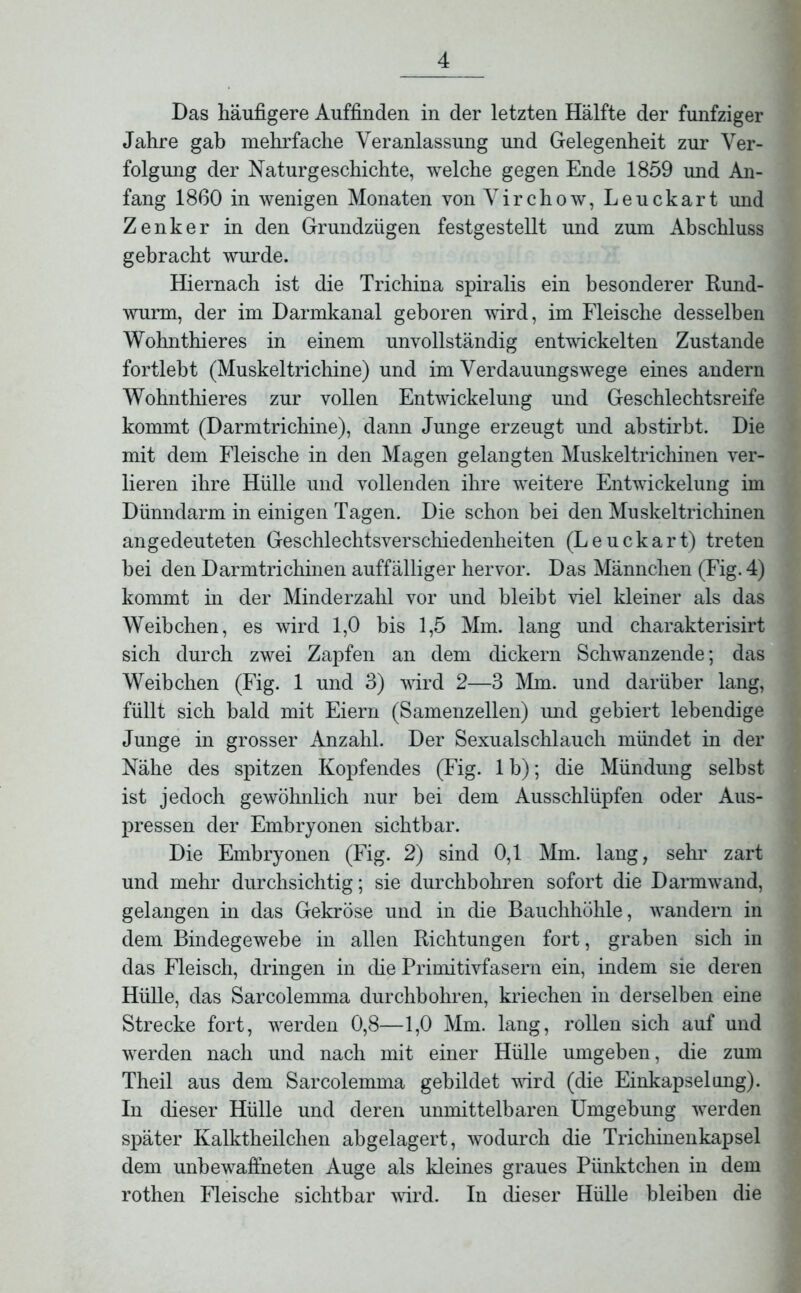 Das häufigere Auffinden in der letzten Hälfte der fünfziger Jahre gab mehrfache Veranlassung und Gelegenheit zur Ver- folgung der Naturgeschichte, welche gegen Ende 1859 und An- fang 1860 in wenigen Monaten von Virchow, Leuckart und Zenker in den Grundzügen festgestellt und zum Abschluss gebracht wurde. Hiernach ist die Trichina spiralis ein besonderer Rund- wurm, der im Darmkanal geboren wird, im Fleische desselben Wohnthieres in einem unvollständig entwickelten Zustande fortlebt (Muskeltrichine) und im Verdauungswege eines andern Wohnthieres zur vollen Entwickelung und Geschlechtsreife kommt (Darm trichine), dann Junge erzeugt und ab stirbt. Die mit dem Fleische in den Magen gelangten Muskeltrichinen ver- lieren ihre Hülle und vollenden ihre weitere Entwickelung im Dünndarm in einigen Tagen. Die schon bei den Muskeltrichinen angedeuteten Geschlechtsverschiedenheiten (Leuckart) treten bei den Darmtrichinen auffälliger hervor. Das Männchen (Fig. 4) kommt in der Minderzahl vor und bleibt viel kleiner als das Weibchen, es wird 1,0 bis 1,5 Mm. lang und charakterisirt sich durch zwei Zapfen an dem dickem Schwanzende; das Weibchen (Fig. 1 und 3) wird 2—3 Mm. und darüber lang, füllt sich bald mit Eiern (Samenzellen) imd gebiert lebendige Junge in grosser Anzahl. Der Sexualschlauch mündet in der Nähe des spitzen Kopfendes (Fig. 1 b); die Mündung selbst ist jedoch gewöhnlich nur bei dem Ausschlüpfen oder Aus- pressen der Embryonen sichtbar. Die Embryonen (Fig. 2) sind 0,1 Mm. lang, sehr zart und mehr durchsichtig; sie durchbohren sofort die Darmwand, gelangen in das Gekröse und in die Bauchhöhle, wandern in dem Bindegewebe in allen Richtungen fort, graben sich in das Fleisch, dringen in die Primitivfasern ein, indem sie deren Hülle, das Sarcolemma durchbohren, kriechen in derselben eine Strecke fort, werden 0,8—1,0 Mm. lang, rollen sich auf und werden nach und nach mit einer Hülle umgeben, die zum Theil aus dem Sarcolemma gebildet wird (die Einkapselung). In dieser Hülle und deren unmittelbaren Umgebung werden später Kalktkeilclien abgelagert, wodurch die Trichinenkapsel dem unbewaffneten Auge als kleines graues Pünktchen in dem rothen Fleische sichtbar wird. In dieser Hülle bleiben die