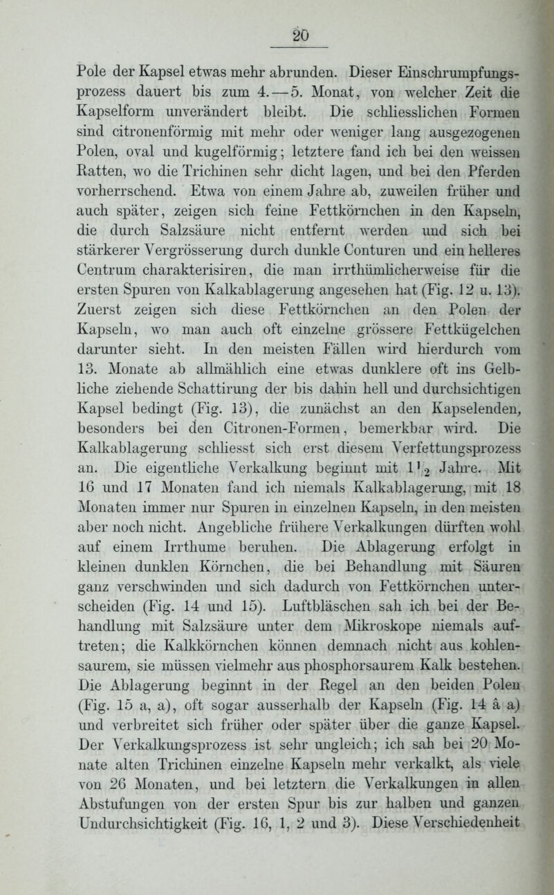 Pole der Kapsel etwas mehr abrunden. Dieser Einschrumpfungs- prozess dauert bis zum 4. — 5. Monat, von welcher Zeit die Kapselform unverändert bleibt. Die schliesslichen Formen sind citronenförmig mit mehr oder weniger lang ausgezogenen Polen, oval und kugelförmig; letztere fand ich bei den weissen Ratten, wo die Trichinen sehr dicht lagen, und bei den Pferden vorherrschend. Etwa von einem Jahre ab, zuweilen früher und auch später, zeigen sich feine Fettkörnchen in den Kapseln, die durch Salzsäure nicht entfernt werden und sich bei stärkerer Vergrösserung durch dunkle Conturen und ein helleres Centrum charakterisiren, die man irrthiimlicherweise für die ersten Spuren von Kalkablagerung angesehen hat (Fig. 12 u. 13). Zuerst zeigen sich diese Fettkörnchen an den Polen der Kapseln, wo man auch oft einzelne grössere Fettkügelchen darunter sieht. In den meisten Fällen wird hierdurch vom 13. Monate ab allmählich eine etwas dunklere oft ins Gelb- liche ziehende Schattirung der bis dahin hell und durchsichtigen Kapsel bedingt (Fig. 13), die zunächst an den Kapselenden, besonders bei den Citronen-Formen, bemerkbar wird. Die Kalkablagerung schliesst sich erst diesem Yerfettungsprozess an. Die eigentliche Verkalkung beginnt mit Vi2 Jahre. Mit 16 und 17 Monaten fand ich niemals Kalkablagerung, mit 18 Monaten immer nur Spuren in einzelnen Kapseln, in den meisten aber noch nicht. Angebliche frühere Verkalkungen dürften wohl auf einem Irrthume beruhen. Die Ablagerung erfolgt in kleinen dunklen Körnchen, die bei Behandlung mit Säuren ganz verschwänden und sich dadurch von Fettkörnchen unter- scheiden (Fig. 14 und 15). Luftbläschen sah ich bei der Be- handlung mit Salzsäure unter dem Mikroskope niemals auf- treten; die Kalkkörnchen können demnach nicht aus kohlen- saurem, sie müssen vielmehr aus phosphorsaurem Kalk bestehen. Die Ablagerung beginnt in der Regel an den beiden Polen (Fig. 15 a, a), oft sogar ausserhalb der Kapseln (Fig. 14 ä a) und verbreitet sich früher oder später über die ganze Kapsel. Der Verkalkungsprozess ist sehr ungleich; ich sah bei 20 Mo- nate alten Trichinen einzelne Kapseln mehr verkalkt, als viele von 26 Monaten, und bei letztem die Verkalkungen in allen Abstufungen von der ersten Spur bis zur halben und ganzen Undurchsichtigkeit (Fig. 16, 1, 2 und 3). Diese Verschiedenheit