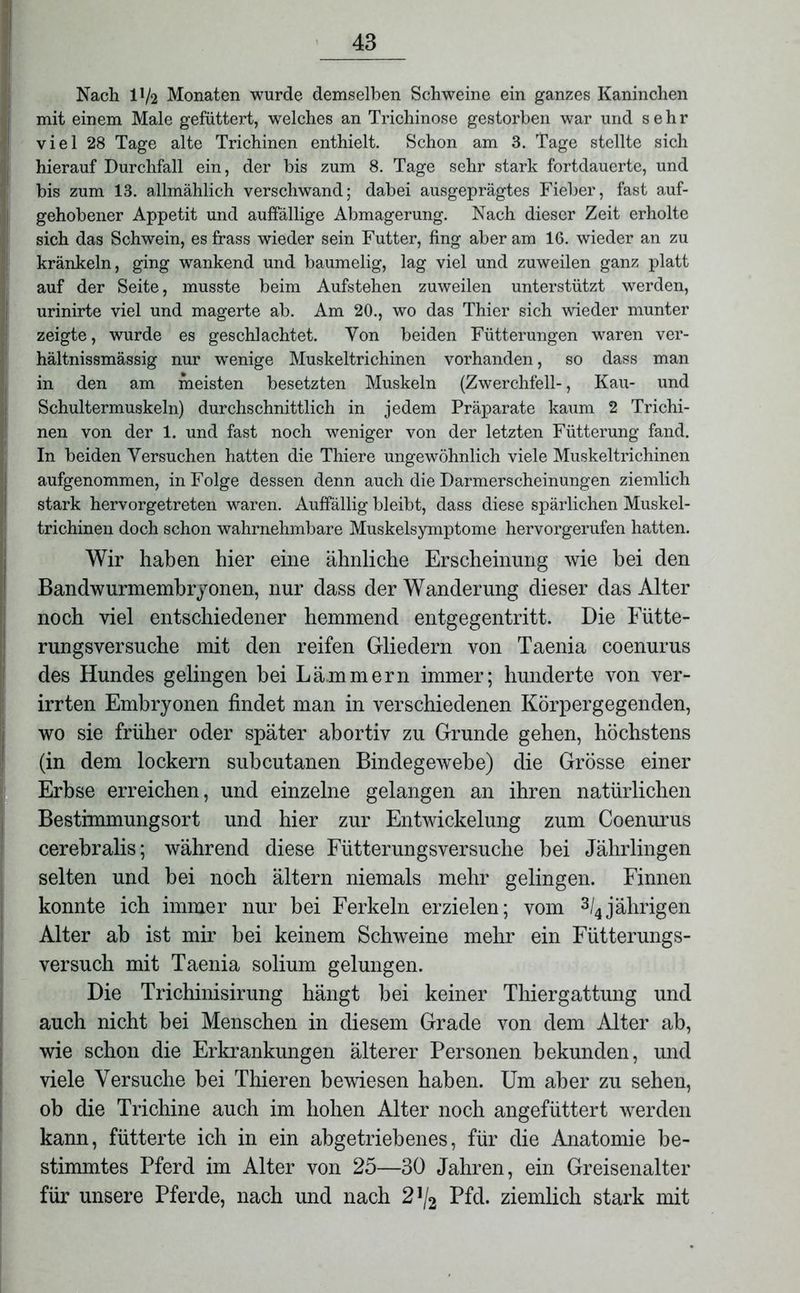 Nach 11/2 Monaten wurde demselben Schweine ein ganzes Kaninchen mit einem Male gefüttert, welches an Trichinose gestorben war und sehr viel 28 Tage alte Trichinen enthielt. Schon am 3. Tage stellte sich hierauf Durchfall ein, der bis zum 8. Tage sehr stark fortdauerte, und bis zum 13. allmählich verschwand; dabei ausgeprägtes Fieber, fast auf- gehobener Appetit und auffällige Abmagerung. Nach dieser Zeit erholte sich das Schwein, es frass wieder sein Futter, fing aber am 16. wieder an zu kränkeln, ging wankend und baumelig, lag viel und zuweilen ganz platt auf der Seite, musste beim Aufstehen zuweilen unterstützt werden, urinirte viel und magerte ab. Am 20., wo das Thier sich wieder munter zeigte, wurde es geschlachtet. Von beiden Fütterungen waren ver- hältnissmässig nur wenige Muskeltrichinen vorhanden, so dass man in den am meisten besetzten Muskeln (Zwerchfell-, Kau- und Schultermuskeln) durchschnittlich in jedem Präparate kaum 2 Trichi- nen von der 1. und fast noch weniger von der letzten Fütterung fand. In beiden Versuchen hatten die Thiere ungewöhnlich viele Muskeltrichinen aufgenommen, in Folge dessen denn auch die Darmerscheinungen ziemlich stark hervorgetreten waren. Auffällig bleibt, dass diese spärlichen Muskel- trichinen doch schon wahrnehmbare Muskelsymptome hervorgerufen hatten. Wir haben hier eine ähnliche Erscheinung wie bei den Bandwurmembryonen, nur dass der Wanderung dieser das Alter noch viel entschiedener hemmend entgegentritt. Die Fütte- rungsversuche mit den reifen Gliedern von Taenia coenurus des Hundes gelingen bei Lämmern immer; hunderte von ver- irrten Embryonen findet man in verschiedenen Körpergegenden, wo sie früher oder später abortiv zu Grunde gehen, höchstens (in dem lockern subcutanen Bindegewebe) die Grösse einer Erbse erreichen, und einzelne gelangen an ihren natürlichen Bestimmungsort und hier zur Entwickelung zum Coenurus cerebralis; während diese Fütterungsversuche bei Jährlingen selten und bei noch ältern niemals mehr gelingen. Finnen konnte ich immer nur bei Ferkeln erzielen; vom 3/4jährigen Alter ab ist mir bei keinem Schweine mehr ein Fütterungs- versuch mit Taenia solium gelungen. Die Trichinisirung hängt bei keiner Thiergattung und auch nicht bei Menschen in diesem Grade von dem Alter ab, wie schon die Erkrankungen älterer Personen bekunden, und viele Versuche bei Thieren bewiesen haben. Um aber zu sehen, ob die Trichine auch im hohen Alter noch angefüttert werden kann, fütterte ich in ein abgetriebenes, für die Anatomie be- stimmtes Pferd im Alter von 25—30 Jahren, ein Greisenalter für unsere Pferde, nach und nach 2J/2 Pfd. ziemlich stark mit
