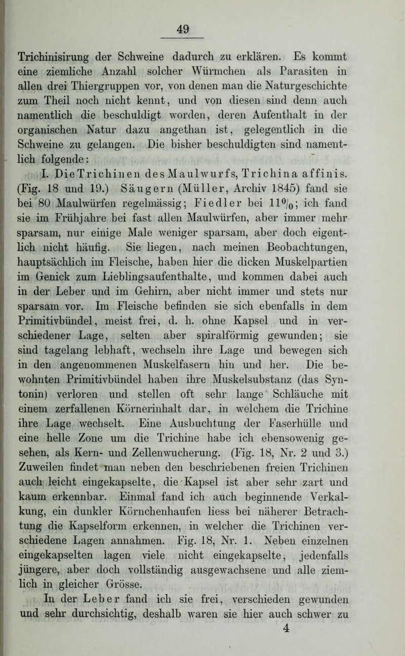 Trichinisirung der Schweine dadurch zu erklären. Es kommt eine ziemliche Anzahl solcher Würmchen als Parasiten in allen drei Thiergruppen vor, von denen man die Naturgeschichte zum Theil noch nicht kennt, und von diesen sind denn auch namentlich die beschuldigt worden, deren Aufenthalt in der organischen Natur dazu angethan ist, gelegentlich in die Schweine zu gelangen. Die bisher beschuldigten sind nament- lich folgende: I. Die Trichinen des Maulwurfs, Trichina affinis. (Fig. 18 und 19.) Säugern (Müller, Archiv 1845) fand sie bei 80 Maulwürfen regelmässig; Fiedler bei ll°/0; ich fand sie im Frühjahre bei fast allen Maulwürfen, aber immer mehr sparsam, nur einige Male weniger sparsam, aber doch eigent- lich nicht häufig. Sie liegen, nach meinen Beobachtungen, hauptsächlich im Fleische, haben hier die dicken Muskelpartien im Genick zum Lieblingsaufenthalte, und kommen dabei auch in der Leber und im Gehirn, aber nicht immer und stets nur sparsam vor. Im Fleische befinden sie sich ebenfalls in dem Primitivbündel, meist frei, d. h. ohne Kapsel und in ver- schiedener Lage, selten aber spiralförmig gewunden; sie sind tagelang lebhaft, wechseln ihre Lage und bewegen sich in den angenommenen Muskelfasern hin und her. Die be- wohnten Primitivbündel haben ihre Muskelsubstanz (das Syn- tonin) verloren und stellen oft sehr lange Schläuche mit einem zerfallenen Körnerinhalt dar, in welchem die Trichine ihre Lage wechselt. Eine Ausbuchtung der Faserhülle und eine helle Zone um die Trichine habe ich ebensowenig ge- sehen, als Kern- und Zellenwucherung. (Fig. 18, Nr. 2 und 3.) Zuweilen findet man neben den beschriebenen freien Trichinen auch leicht eingekapselte, die Kapsel ist aber sehr zart und kaum erkennbar. Einmal fand ich auch beginnende Verkal- kung, ein dunkler Körnchenhaufen liess bei näherer Betrach- tung die Kapselform erkennen, in welcher die Trichinen ver- schiedene Lagen amiahmen. Fig. 18, Nr. 1. Neben einzelnen eingekapselten lagen viele nicht eingekapselte, jedenfalls jüngere, aber doch vollständig ausgewachsene und alle ziem- lich in gleicher Grösse. In der Leber fand ich sie frei, verschieden gewunden und sehr durchsichtig, deshalb waren sie liier auch schwer zu 4