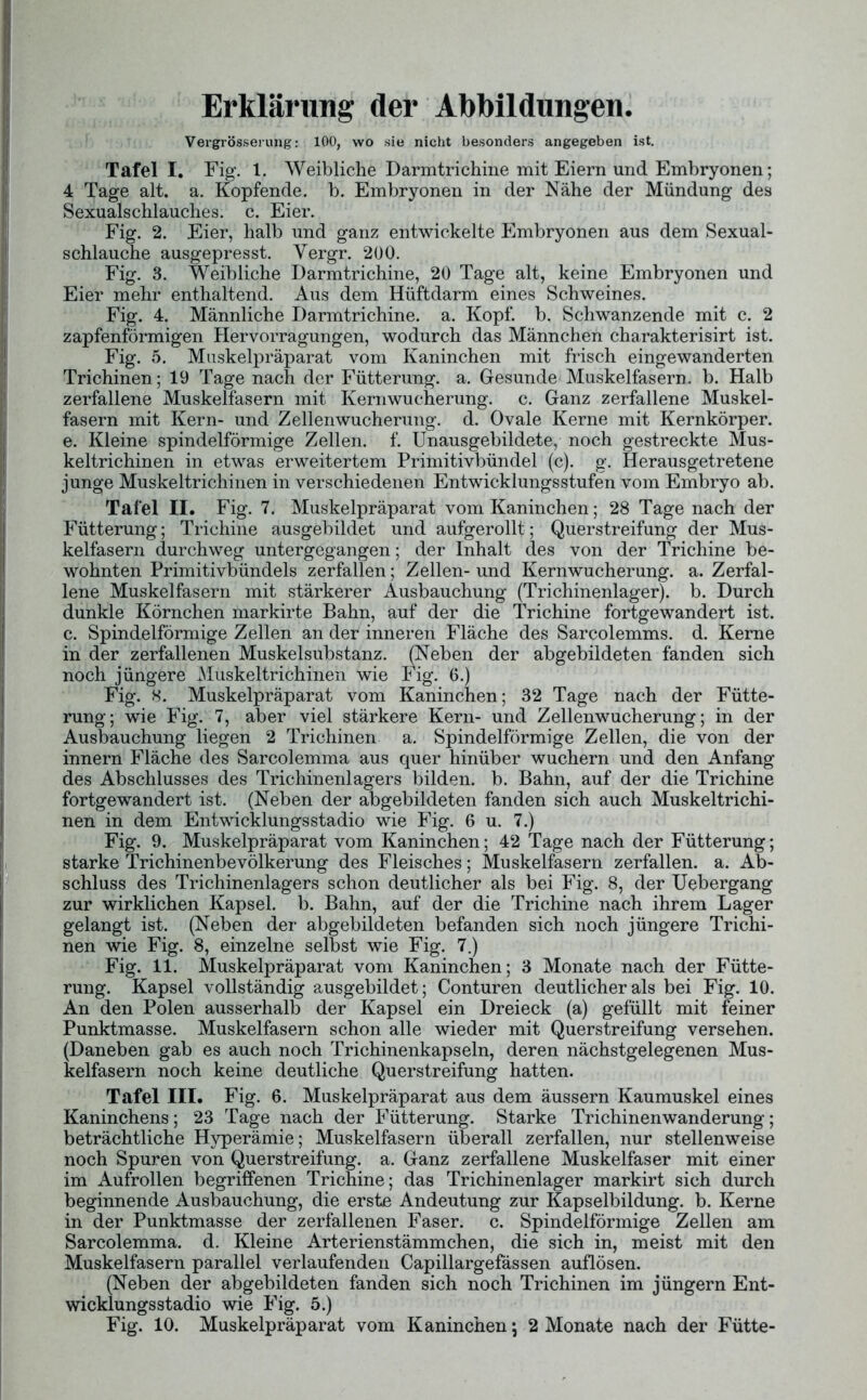 Erklärung der Abbildungen. Vergrösserung: 100, wo sie nicht besonders angegeben ist. Tafel I. Fig. 1. Weibliche Darmtrichine mit Eiern und Embryonen; 4 Tage alt. a. Kopfende, b. Embryonen in der Nähe der Mündung des Sexualschlauches, c. Eier. Fig. 2. Eier, halb und ganz entwickelte Embryonen aus dem Sexual- schlauche ausgepresst. Yergr. 200. Fig. 3. Weibliche Darmtrichine, 20 Tage alt, keine Embryonen und Eier mehr enthaltend. Aus dem Hüftdarm eines Schweines. Fig. 4. Männliche Darmtrichine, a. Kopf. b. Schwanzende mit c. 2 zapfenförmigen Hervorragungen, wodurch das Männchen charakterisirt ist. Fig. 5. Muskelpräparat vom Kaninchen mit frisch eingewanderten Trichinen; 19 Tage nach der Fütterung, a. Gesunde Muskelfasern, b. Halb zerfallene Muskelfasern mit Kernwucherung, c. Ganz zerfallene Muskel- fasern mit Kern- und Zellenwucherung, d. Ovale Kerne mit Kernkörper, e. Kleine spindelförmige Zellen, f. Unausgebildete, noch gestreckte Mus- keltrichinen in etwas erweitertem Primitivbündel (c). g. Herausgetretene junge Muskeltrichinen in verschiedenen Entwicklungsstufen vom Embryo ab. Tafel II. Fig. 7. Muskelpräparat vom Kaninchen; 28 Tage nach der Fütterung; Trichine ausgebildet und aufgerollt; Querstreifung der Mus- kelfasern durchweg untergegangen; der Inhalt des von der Trichine be- wohnten Primitivbündels zerfallen; Zellen- und Kernwucherung, a. Zerfal- lene Muskelfasern mit stärkerer Ausbauchung (Trichinenlager), b. Durch dunkle Körnchen markirte Bahn, auf der die Trichine fortgewandert ist. c. Spindelförmige Zellen an der inneren Fläche des Sarcolemms. d. Kerne in der zerfallenen Muskelsubstanz. (Neben der abgebildeten fanden sich noch jüngere Muskeltrichinen wie Fig. 6.) Fig. 8. Muskelpräparat vom Kaninchen; 32 Tage nach der Fütte- rung; wie Fig. 7, aber viel stärkere Kern- und Zellenwucherung; in der Ausbauchung liegen 2 Trichinen a. Spindelförmige Zellen, die von der innern Fläche des Sarcolemma aus quer hinüber wuchern und den Anfang des Abschlusses des Trichinenlagers bilden, b. Bahn, auf der die Trichine fortgewandert ist. (Neben der abgebildeten fanden sich auch Muskeltrichi- nen in dem Entwicklungsstadio wie Fig. 6 u. 7.) Fig. 9. Muskelpräparat vom Kaninchen; 42 Tage nach der Fütterung; starke Trichinenbevölkerung des Fleisches; Muskelfasern zerfallen, a. Ab- schluss des Trichinenlagers schon deutlicher als bei Fig. 8, der Uebergang zur wirklichen Kapsel, b. Bahn, auf der die Trichine nach ihrem Lager gelangt ist. (Neben der abgebildeten befanden sich noch jüngere Trichi- nen wie Fig. 8, einzelne selbst wie Fig. 7.) Fig. 11. Muskelpräparat vom Kaninchen; 3 Monate nach der Fütte- rung. Kapsel vollständig ausgebildet; Conturen deutlicher als bei Fig. 10. An den Polen ausserhalb der Kapsel ein Dreieck (a) gefüllt mit feiner Punktmasse. Muskelfasern schon alle wieder mit Querstreifung versehen. (Daneben gab es auch noch Trichinenkapseln, deren nächstgelegenen Mus- kelfasern noch keine deutliche Querstreifung hatten. Tafel III. Fig. 6. Muskelpräparat aus dem äussern Kaumuskel eines Kaninchens; 23 Tage nach der Fütterung. Starke Trichinenwanderung; beträchtliche Hyperämie; Muskelfasern überall zerfallen, nur stellenweise noch Spuren von Querstreifung, a. Ganz zerfallene Muskelfaser mit einer im Aufrollen begriffenen Trichine; das Trichinenlager markirt sich durch beginnende Ausbauchung, die erste Andeutung zur Kapselbildung, b. Kerne in der Punktmasse der zerfallenen Faser, c. Spindelförmige Zellen am Sarcolemma. d. Kleine Arterienstämmchen, die sich in, meist mit den Muskelfasern parallel verlaufenden Capillargefässen auflösen. (Neben der abgebildeten fanden sich noch Trichinen im jüngern Ent- wicklungsstadio wie Fig. 5.) Fig. 10. Muskelpräparat vom Kaninchen \ 2 Monate nach der Fütte-