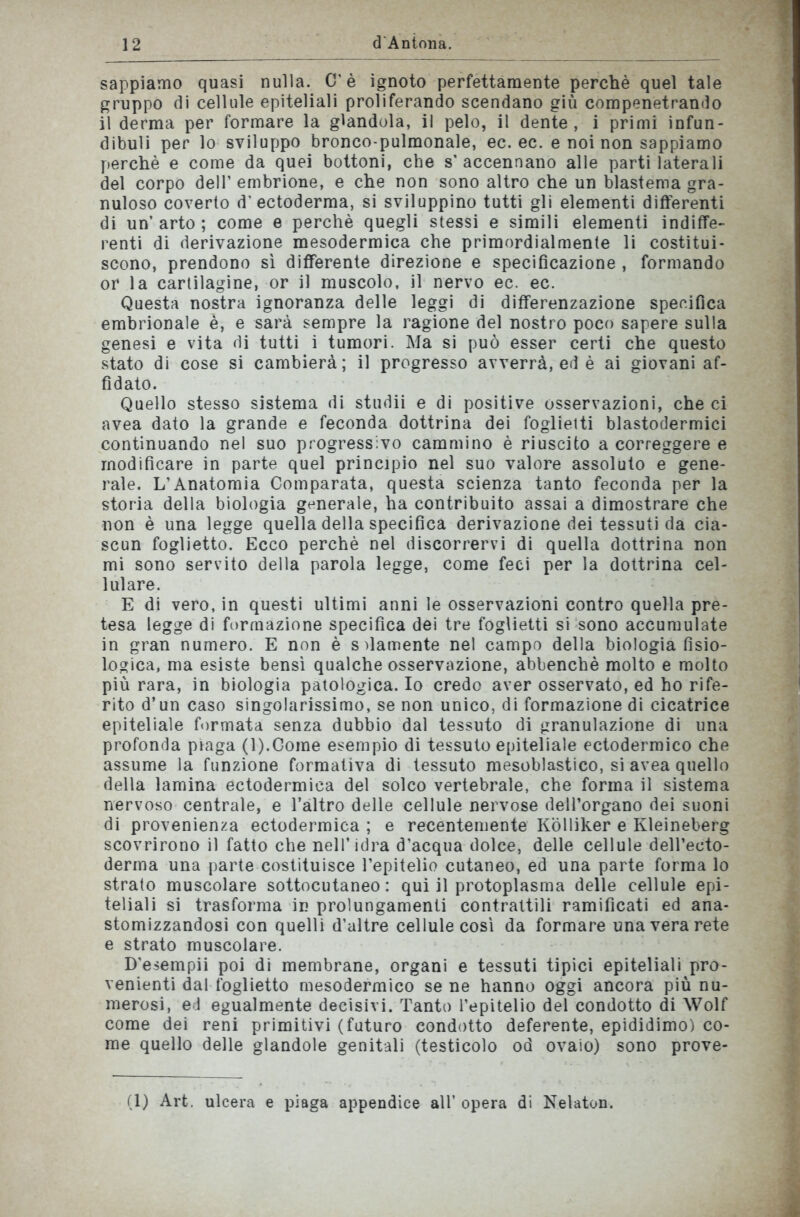 sappiamo quasi nulla. C'è ignoto perfettamente perchè quel tale gruppo di cellule epiteliali proliferando scendano giù compenetrando il derma per formare la glandola, il pelo, il dente , i primi infun- dibuli per lo sviluppo bronco-pulmonale, ec. ec. e noi non sappiamo perchè e come da quei bottoni, che s' accennano alle parti laterali del corpo dell’ embrione, e che non sono altro che un blastema gra- nuloso coverto d'ectoderma, si sviluppino tutti gli elementi differenti di un’ arto ; come e perchè quegli stessi e simili elementi indiffe- renti di derivazione mesodermica che primordialmente li costitui- scono, prendono sì differente direzione e specificazione , formando or la cartilagine, or il muscolo, il nervo ec. ec. Questa nostra ignoranza delle leggi di differenzazione specifica embrionale è, e sarà sempre la ragione del nostro poco sapere sulla genesi e vita di tutti i tumori. Ma si può esser certi che questo stato di cose si cambierà; il progresso avverrà, ed è ai giovani af- fidato. Quello stesso sistema di studii e di positive osservazioni, che ci avea dato la grande e feconda dottrina dei foglietti blastodermici continuando nel suo progressivo cammino è riuscito a correggere e modificare in parte quel principio nel suo valore assoluto e gene- rale. L’Anatomia Comparata, questa scienza tanto feconda per la storia della biologia generale, ha contribuito assai a dimostrare che non è una legge quella della specifica derivazione dei tessuti da cia- scun foglietto. Ecco perchè nel discorrervi di quella dottrina non mi sono servito della parola legge, come feci per la dottrina cel- lulare. E di vero, in questi ultimi anni le osservazioni contro quella pre- tesa legge di formazione specifica dei tre foglietti si sono accumulate in gran numero. E non è sdamente nel campo della biologia fisio- logica, ma esiste bensì qualche osservazione, abbenchè molto e molto più rara, in biologia patologica. Io credo aver osservato, ed ho rife- rito d’un caso singolarissimo, se non unico, di formazione di cicatrice epiteliale formata senza dubbio dal tessuto di granulazione di una profonda piaga (l).Come esempio di tessuto epiteliale ectodermico che assume la funzione formativa di tessuto mesoblastico, si avea quello della lamina ectodermica del solco vertebrale, che forma il sistema nervoso centrale, e l’altro delle cellule nervose dell’organo dei suoni di provenienza ectodermica ; e recentemente Kolliker e Kleineberg scovrirono il fatto che nell’idra d’acqua dolce, delle cellule dell’eeto- derma una parte costituisce l’epitelio cutaneo, ed una parte forma lo strato muscolare sottocutaneo: qui il protoplasma delle cellule epi- teliali si trasforma in prolungamenti contrattili ramificati ed ana- stomizzandosi con quelli d’altre cellule così da formare una vera rete e strato muscolare. D'esempii poi di membrane, organi e tessuti tipici epiteliali pro- venienti dal foglietto mesodermico se ne hanno oggi ancora più nu- merosi, ed egualmente decisivi. Tanto l’epitelio del condotto di Wolf come dei reni primitivi (futuro condotto deferente, epididimo) co- me quello delle glandole genitali (testicolo od ovaio) sono prove- fi) Art. ulcera e piaga appendice all’ opera di Nelaton.