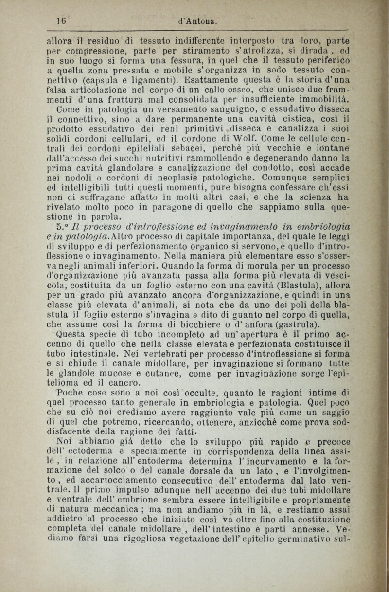 allora il residuo di tèssuto indifferente interposto tra loro, parte per compressione, parte per stiramento s’atrofizza, si dirada , ed in suo luogo si forma una fessura, in quel che il tessuto periferico a quella zona pressata e mobile s’organizza in sodo tessuto con- nettivo (capsula e ligamenti). Esattamente questa è la storia d’una falsa articolazione nel corpo di un callo osseo, che unisce due fram- menti d’una frattura mal consolidata per insufficiente immobilità. Come in patologia un versamento sanguigno, o essudativo disseca il connettivo, sino a dare permanente una cavità cistica, così il prodotto essudativo dei reni primitivi disseca e canalizza i suoi solidi cordoni cellulari, ed il cordone di Wolf. Come le cellule cen- trali dei cordoni epiteliali sebacei, perchè più vecchie e lontane dall’accesso dei succhi nutritivi rammollendo e degenerando danno la prima cavità glandolare e canalizzazione del condotto, così accade nei nodoli o cordoni di neoplasie patologiche. Comunque semplici ed intelligibili tutti questi momenti, pure bisogna confessare ch’essi non ci suffragano affatto in molti altri casi, e che la scienza ha rivelato molto poco in paragone di quello che sappiamo sulla que- stione in parola. 5.° Il processo <Xintroflessione ed invaginamento in embriologia e in patologia. Altro processo di capitale importanza, del quale le leggi di sviluppo e di perfezionamento organico si servono, è quello d’intro- flessione o invaginamento. Nella maniera più elementare esso s’osser- va negli animali inferiori. Quando la forma di morula per un processo d’organizzazione più avanzata passa alla forma più elevata di vesci- cola, costituita da un foglio esterno con una cavità (Blastula), allora per un grado più avanzato ancora d’organizzazione, e quindi in una classe più elevata d’animali, si nota che da uno dei poli della bla- stula il foglio esterno s’invagina a dito di guanto nel corpo di quella, che assume così la forma di bicchiere o d’anfora (gastrula). Questa specie di tubo incompleto ad un’ apertura è il primo ac- cenno di quello che nella classe elevata e perfezionata costituisce il tubo intestinale. Nei vertebrati per processo d’introflessione si forma e si chiude il canale midollare, per invaginazione si formano tutte le glandole mucose e cutanee, come per invaginazione sorge l’epi- telioma ed il cancro. Poche cose sono a noi così occulte, quanto le ragioni intime di quel processo tanto generale in embriologia e patologia. Quel poco che su ciò noi crediamo avere raggiunto vale più come un saggio di quel che potremo, ricercando, ottenere, anzicchè come prova sod- disfacente della ragione dei fatti. Noi abbiamo già detto che lo sviluppo più rapido e precoce dell’ ectoderma e specialmente in corrispondenza della linea assi- le , in relazione all’ entoderma determina l’incurvamento e la for- mazione del solco o del canale dorsale da un lato , e l’involgimen- to , ed accartocciamento consecutivo dell' entoderma dal lato ven- trale. 11 primo impulso adunque nell’ accenno dei due tubi midollare e ventrale dell’embrione sembra essere intelligibile e propriamente di natura meccanica ; ma non andiamo più in là, e restiamo assai addietro al processo che iniziato così va oltre fino alla costituzione completa del canale midollare , dell’intestino e parti annesse. Ve- diamo farsi una rigogliosa vegetazione dell’epitelio germinativo sul-