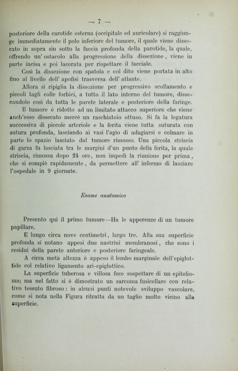 posteriore della carotide esterna (occipitale ed auricolare) si raggiun- ge immediatamente il polo inferiore del tumore, il quale viene disse- cato in sopra sin sotto la faccia profonda della parotide, la quale, offrendo un’ ostacolo alla progressione della dissezione, viene in parte incisa e poi lacerata per rispettare il tacciale. Così la dissezione con spatola e col dito viene portata in alto fino al livello dell’ apofìsi trasversa dell’ atlante. Allora si ripiglia la dissezione per progressivo scollamento e piccoli tagli colle forbici, a tutto il lato interno del tumore, disse- candolo così da tutta le parete laterale e posteriore della faringe. Il tumore è ridotto ad un limitato attacco superiore che viene anch’esso dissecato mercè un raschiatoio ottuso. Si fa la legatura successiva di piccole arteriole e la ferita viene tutta suturata con sutura profonda, lasciando ai vasi l’agio di adagiarsi e colmare in parte lo spazio lasciato dal tumore rimosso. Una piccola striscia di garza fu lasciata tra le margini d’un punto della ferita, la quale striscia, rimossa dopo 24 ore, non impedì la riunione per prima, che si compiè rapidamente, da permettere all’ infermo di lasciare l’ospedale in 9 giornate. Esame anatomico Presento qui il primo tumore—Ha le apperenze di un tumore papillare. E lungo circa nove centimetri, largo tre. Alla sua superficie profonda si notano appesi due nastrini membranosi, che sono i residui della parete anteriore e posteriore faringeale. A circa metà altezza è appeso il lembo marginale dell’epiglot- tide col relativo ligamento ari-epiglottico. La superficie tuberosa e villosa fece sospettare di un epitelio- ma; ma nel fatto si è dimostrato un sarcoma fusicellare con rela- tivo tessuto fibroso : in alcuni punti notevole sviluppo vascolare, come si nota nella Figura ritratta da un taglio molto vicino alla superfìcie.