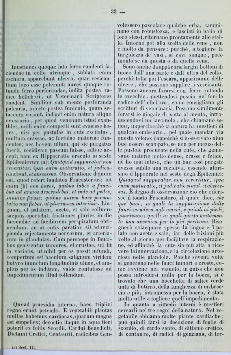 Inustiones quoque lato ferro candenti fa- ciendae in collo utrinque , sublata enim eschara, apparebunt ulcera, quae vesican- trum loco esse poterunt; aures quoque ro- tundo ferro perforandae, indita postea ra- dice hellebori, ut Veterinarii Scriptores suadent. Similiter sub mento perforanda palearia, injecto postea funiculo, quam se- taceum vocant, indiget enim natura aliquo emissario , per quod venenum istud exan- tlilet; nulli enim coinperti sunt evasisse bo- ves , nisi per pustulas in cute excitatas , multimi crassae, ac foetidae materiae fun- dentes; nec bovem ullum, qui sic purgatus fuerit, recidivain passum fuisse, adirne ac- cepi; nam ex Hippocratis oraculo in sexto Epidemiorum (a): Quidquid suppuratur non revertitur; ipsa enim maturatio, et judica- tio simili, et abscessus. Observatione dignum est, quod refert laudatus Fracastorius; ait enim (b) eos boves, quibus labes a fauci- bus ad armos descendebat, et inde ad pedes, sanatos fuisse; quibus autem haec permu- talio non fiebat,utplurimum interiisse. Lin- guam, et palatum, aceto, et sale colluere saepius oportebit, frictiones pluries in die faeiendae ad faciliorem perspiratum obti- nendum, ac ut cutis paratior sit ad reci- pienda rejectamenta nervorum, et arteria- rum in glandulas. Cum persaepe in fauci- bus generentur tumores, et crustae, uti fit in variolis, ut nihil per os possit infundi, compertum est baculum salignum viridem butyro inunctum longitudinis ulnae, et am- plius per os inditum, valde contulisse ad impedirnentum illxid tollendum. Quoad praesidia interna, liaec triplici regno erunt petenda. E vegetabili plantas multas habemus cardiacas, quarum magna est suppellex; decoctio itaque in aqua fieri poterit ex foliis Scordii, Cardili Benedicti, Dictami Eretici, Centaurii, radicibus Gen- volessero pascolare qualche erba, cammi- nano con robustezza, e lasciati in balìa di loro stessi, ritornano prontamente alle stal- le. Intorno poi alla scelta delle vene , non è molto da pensare : purché, a togliere la turgidezza de’ vasi , si cavi sangue , poco monta se da questa o da quella vena. Sono anche da applicarsi larghi bottoni di fuoco dall’ una parte e dall’ altra del collo, perchè tolta poi l’escara, appariranno delle ulcere , che possono supplire i vescicanti. Possono ancora forarsi con ferro rotondo le orecchie , mettendosi poscia ne’ fori la radice dell’ elleboro , come consigliano gli scrittori di veterinaria. Possono similmente forarsi le giogaie di sotto al mento, intro- ducendovi un lacciuolo , che chiamano se- tone, imperciocché la natura ha mestieri di qualche emissario , pel quale mandar via questo veleno; dappoiché si è osservato niun bue essere scampato, se non per mezzo del- le pustole procurate nella cute, che geme- vano materie molto dense, crasse e fetide, nè ho mai inteso, che un bue così purgato avesse subito una recidiva, essendo afori- smo d’Ippocrate nel sesto degli Epidemici: Quidquid suppuratur, non revertitur, ipsa enim maturatio, et judicatio simul, et absces- sus. È degno di osservazione ciò che riferi- sce il lodato Fracastoro, il quale dice, che que’ buoi, ai quali la suppurazione dalle fauci scendeva agli omeri, e quindi ai piedi, guarivano ; quelli ai quali questo mutamen- to non avveniva per lo più perivano. Biso- gnerà sciacquare spesso la lingua e ’1 pa- lato con aceto e sale, far delle frizioni più volte al giorno per facilitare la respirazio- ne, ed affinchè la cute sia più atta a rice- vere la innervazione, e la circolazione arte- riosa nelle glandole. Poiché soventi volte si generano nelle fauci tumori e croste, co- me avviene nel vaiuolo, in guisa che non possa introdursi nulla per la bocca, si è trovato che una bacchetta di salice verde unta di butirro, della lunghezza di un brac- cio e più, intromessa per la bocca, è stata molto utile a togliere quell’impedimento. In quanto a rimedii interni è mestieri cercarli ne’ tre regni della natura. Nel ve- getabile abbiamo molte piante cardiache ; può quindi farsi la decozione di foglie di scordio, di cardo santo, di dittamo eretico, di centauro, di radici di genziana, di tor- 00 Sect. III.