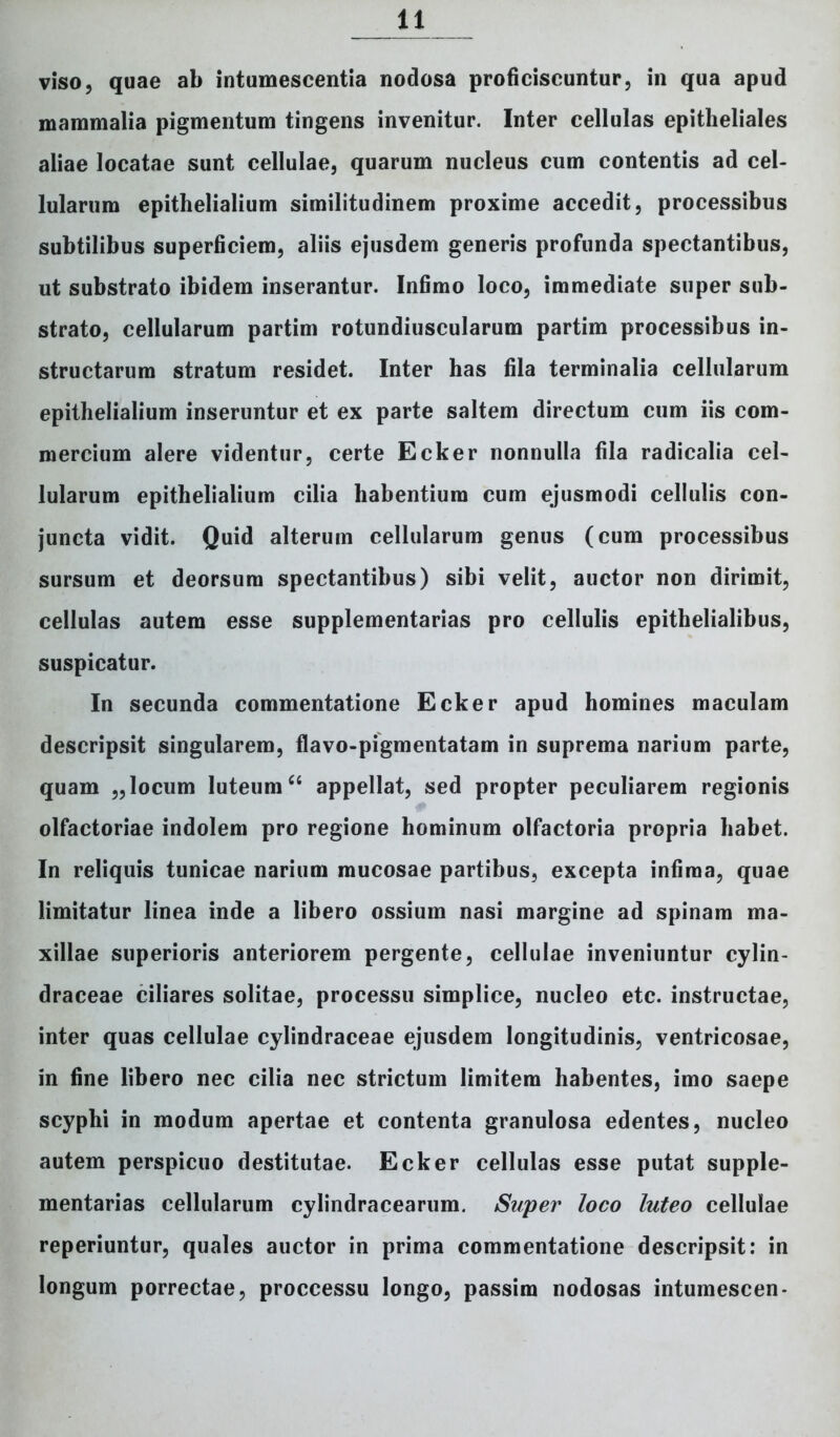 viso, quae ab intumescentia nodosa proficiscuntur, in qua apud mammalia pigmentum tingens invenitur. Inter cellulas epitheliales aliae locatae sunt cellulae, quarum nucleus cum contentis ad cel- lularum epithelialium similitudinem proxime accedit, processibus subtilibus superficiem, aliis ejusdem generis profunda spectantibus, ut substrato ibidem inserantur. Infimo loco, immediate super sub- strato, cellularum partim rotundiuscularum partim processibus in- structarum stratum residet. Inter has fila terminalia cellularum epithelialium inseruntur et ex parte saltem directum cum iis com- mercium alere videntur, certe Ecker nonnulla fila radicalia cel- lularum epithelialium cilia habentium cum ejusmodi cellulis con- juncta vidit. Quid alterum cellularum genus (cum processibus sursum et deorsum spectantibus) sibi velit, auctor non dirimit, cellulas autem esse supplementarias pro cellulis epithelialibus, suspicatur. In secunda commentatione Ecker apud homines maculam descripsit singularem, flavo-pigmentatam in suprema narium parte, quam ,, locum luteum “ appellat, sed propter peculiarem regionis olfactoriae indolem pro regione hominum olfactoria propria habet. In reliquis tunicae narium mucosae partibus, excepta infima, quae limitatur linea inde a libero ossium nasi margine ad spinam ma- xillae superioris anteriorem pergente, cellulae inveniuntur cylin- draceae ciliares solitae, processu simplice, nucleo etc. instructae, inter quas cellulae cylindraceae ejusdem longitudinis, ventricosae, in fine libero nec cilia nec strictum limitem habentes, imo saepe scyphi in modum apertae et contenta granulosa edentes, nucleo autem perspicuo destitutae. Ecker cellulas esse putat supple- mentarias cellularum cylindracearum. Super loco luteo cellulae reperiuntur, quales auctor in prima commentatione descripsit: in longum porrectae, proccessu longo, passim nodosas intumescen*