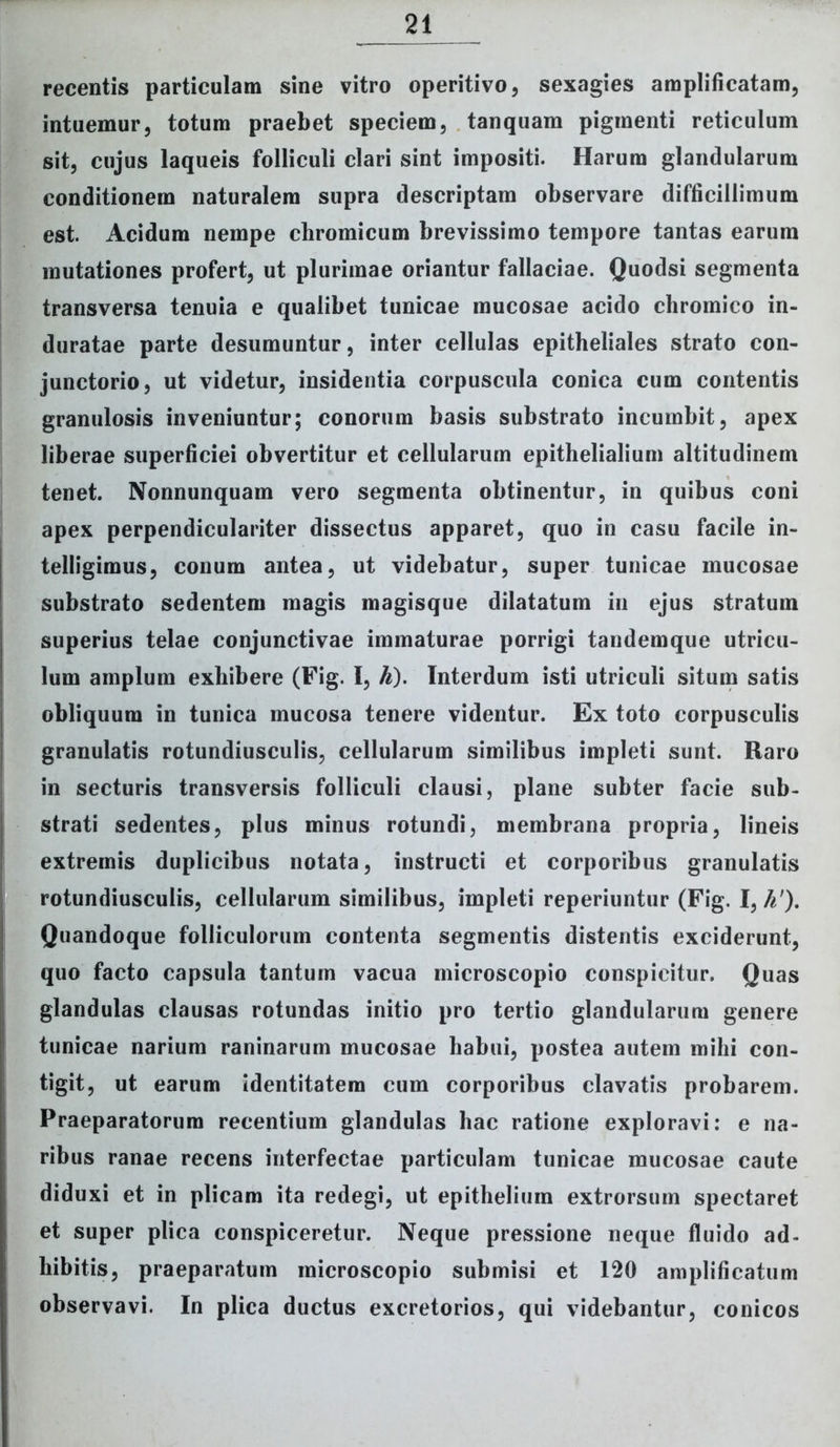 recentis particulam sine vitro operitivo, sexagies amplificatam, intuemur, totum praebet speciem, tanquam pigmenti reticulum sit, cujus laqueis folliculi clari sint impositi. Harum glandularum conditionem naturalem supra descriptam observare difficillimum est. Acidum nempe cliromicum brevissimo tempore tantas earum mutationes profert, ut plurimae oriantur fallaciae. Quodsi segmenta transversa tenuia e qualibet tunicae mucosae acido chromico in- duratae parte desumuntur, inter cellulas epitheliales strato con- junctorio, ut videtur, insidentia corpuscula conica cum contentis granulosis inveniuntur; conorum basis substrato incumbit, apex liberae superficiei obvertitur et cellularum epithelialium altitudinem tenet. Nonnunquam vero segmenta obtinentur, in quibus coni apex perpendiculariter dissectus apparet, quo in casu facile in- telligimus, conum antea, ut videbatur, super tunicae mucosae substrato sedentem magis magisque dilatatum in ejus stratum superius telae conjunctivae immaturae porrigi tandemque utricu- lum amplum exhibere (Fig. I, h). Interdum isti utriculi situm satis obliquum in tunica mucosa tenere videntur. Ex toto corpusculis granulatis rotundiusculis, cellularum similibus impleti sunt. Raro in secturis transversis folliculi clausi, plane subter facie sub- strati sedentes, plus minus rotundi, membrana propria, lineis extremis duplicibus notata, instructi et corporibus granulatis rotundiusculis, cellularum similibus, impleti reperiuntur (Fig. I, h'). Quandoque folliculorum contenta segmentis distentis exciderunt, quo facto capsula tantum vacua rnicroscopio conspicitur. Quas glandulas clausas rotundas initio pro tertio glandularum genere tunicae narium raninarum mucosae habui, postea autem mihi con- tigit, ut earum identitatem cum corporibus clavatis probarem. Praeparatorum recentium glandulas hac ratione exploravi: e na- ribus ranae recens interfectae particulam tunicae mucosae caute diduxi et in plicam ita redegi, ut epithelium extrorsum spectaret et super plica conspiceretur. Neque pressione neque fluido ad- hibitis, praeparatum rnicroscopio submisi et 120 amplificatum observavi. In plica ductus excretorios, qui videbantur, conicos