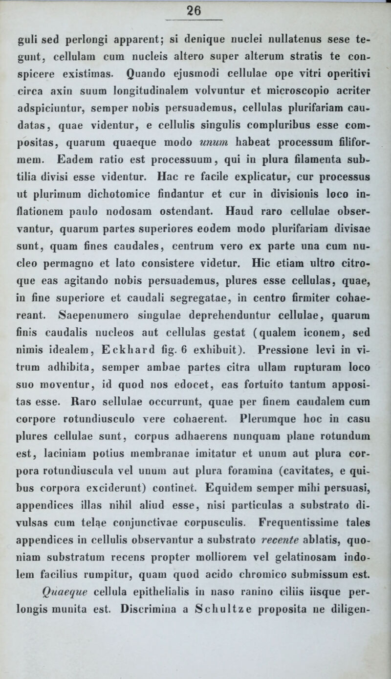 guli sed perlongi apparent; si denique nuclei nullatenus sese te- gunt, cellulam cum nucleis altero super alterum stratis te con- spicere existimas. Quando ejusmodi cellulae ope vitri operitivi circa axin suum longitudinalem volvuntur et microscopio acriter adspiciuntur, semper nobis persuademus, cellulas plurifariam cau- datas, quae videntur, e cellulis singulis compluribus esse com- positas, quarum quaeque modo unum habeat processum filifor- mem. Eadem ratio est processuum, qui in plura filamenta sub- tilia divisi esse videntur. Hac re facile explicatur, cur processus ut plurimum dichotomice findantur et cur in divisionis loco in- flationem paulo nodosam ostendant. Haud raro cellulae obser- vantur, quarum partes superiores eodem modo plurifariam divisae sunt, quam fines caudales, centrum vero ex parte una cum nu- cleo permagno et lato consistere videtur. Hic etiam ultro citro- que eas agitando nobis persuademus, plures esse cellulas, quae, in fine superiore et caudali segregatae, in centro firmiter cohae- reant. Saepenumero singulae deprehenduntur cellulae, quarum finis caudalis nucleos aut cellulas gestat (qualem iconem, sed nimis idealem, Eckhard fig. 6 exhibuit). Pressione levi in vi- trum adhibita, semper ambae partes citra ullam rupturam loco suo moventur, id quod nos edocet, eas fortuito tantum apposi- tas esse. Raro sellulae occurrunt, quae per finem caudalem cum corpore rotundiusculo vere cohaerent. Plerumque hoc in casu plures cellulae sunt, corpus adhaerens nunquam plane rotundum est, laciniam potius membranae imitatur et unum aut plura cor- pora rotundiuscula vel unum aut plura foramina (cavitates, e qui- bus corpora exciderunt) continet. Equidem semper mihi persuasi, appendices illas nihil aliud esse, nisi particulas a substrato di- vulsas cum telae conjunctivae corpusculis. Frequentissime tales appendices in cellulis observantur a substrato recente ablatis, quo- niam substratum recens propter molliorem vel gelatinosam indo- lem facilius rumpitur, quam quod acido chromico submissum est. Quaeque cellula epithelialis in naso ranino ciliis iisque per- longis munita est. Discrimina a Schultze proposita ne diligen-
