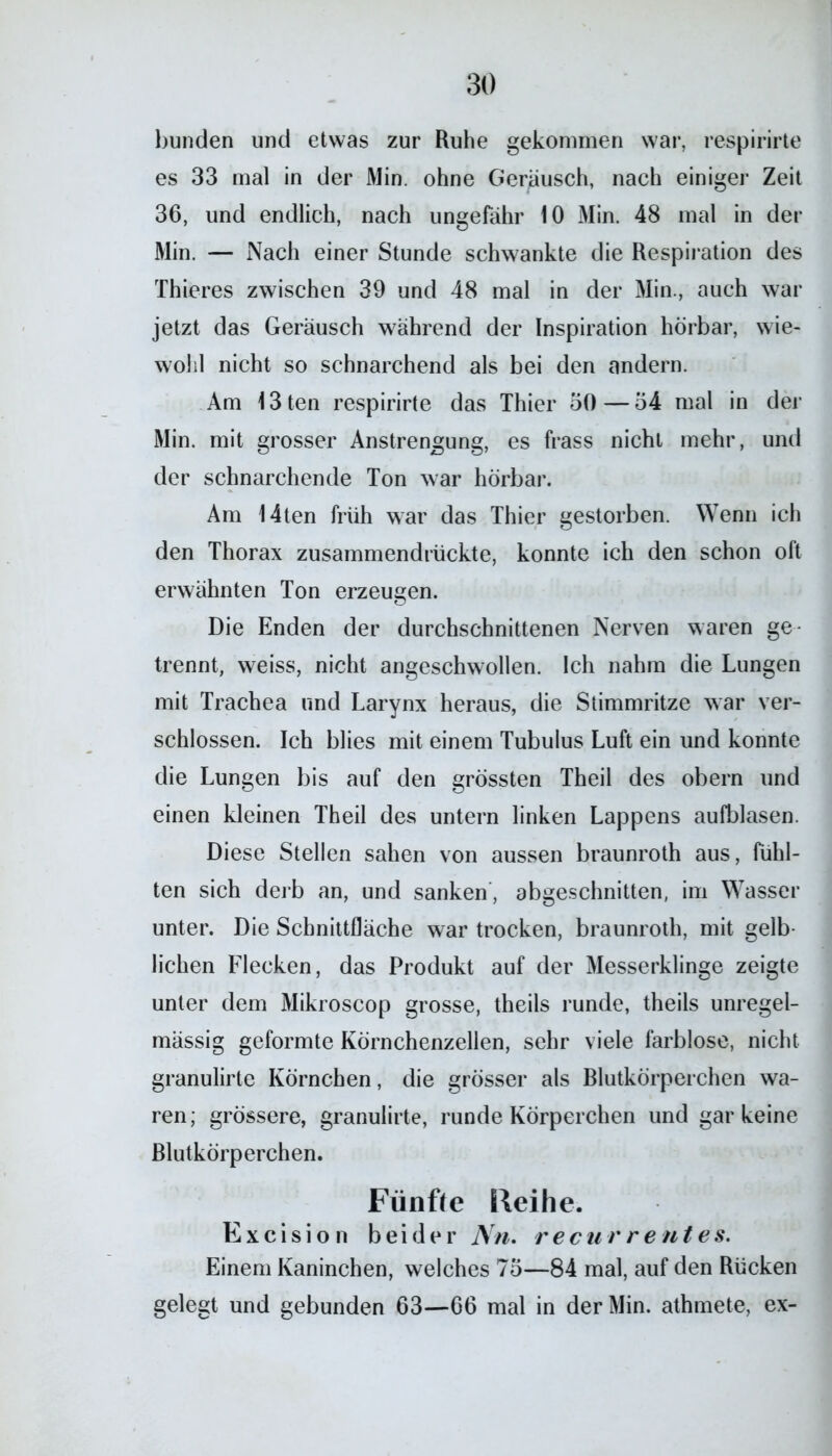 bunden und etwas zur Ruhe gekommen war, respirirte es 33 mal in der Min. ohne Geräusch, nach einiger Zeit 36, und endlich, nach ungefähr 10 Min. 48 mal in der Min. — Nach einer Stunde schwankte die Respiration des Thieres zwischen 39 und 48 mal in der Min., auch war jetzt das Geräusch während der Inspiration hörbar, wie- wohl nicht so schnarchend als bei den andern. Am 13ten respirirte das Thier 30—34 mal in der Min. mit grosser Anstrengung, es frass nicht mehr, und der schnarchende Ton war hörbar. Am 14ten früh war das Thier gestorben. Wenn ich den Thorax zusammendrückte, konnte ich den schon oft erwähnten Ton erzeugen. Die Enden der durchschnittenen Nerven waren ge- trennt, weiss, nicht angeschwollen. Ich nahm die Lungen mit Trachea und Larynx heraus, die Stimmritze war ver- schlossen. Ich blies mit einem Tubulus Luft ein und konnte die Lungen bis auf den grössten Theil des obern und einen kleinen Theil des untern linken Lappens aufblasen. Diese Stellen sahen von aussen braunroth aus, fühl- ten sich derb an, und sanken, abgeschnitten, im Wasser unter. Die Schnittfläche war trocken, braunroth, mit gelb- lichen Flecken, das Produkt auf der Messerklinge zeigte unter dem Mikroscop grosse, theils runde, theils unregel- mässig geformte Körnchenzellen, sehr viele farblose, nicht granulirte Körnchen, die grösser als Blutkörperchen wa- ren; grössere, granulirte, runde Körperchen und gar keine Blutkörperchen. Fünfte lleihe. Excision beider Nn. recnr re ntes. Einem Kaninchen, welches 73—84 mal, auf den Rücken gelegt und gebunden 63—66 mal in der Min. athmete, ex-