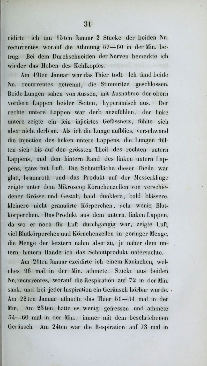 3t cidirte ich am löten Januar 2 Stücke der beiden Nn. recurrentes, worauf die Athmung 57—60 in der Min. be- trug. Bei dem Durchschneiden der Nerven bemerkte ich wieder das Heben des Kehlkopfes. Am 19ten Januar war das Thier todt. Ich fand beide Nn. recurrentes getrennt, die Stimmritze geschlossen. Beide Lungen sahen von Aussen, mit Ausnahme der obern vordem Lappen beider Seiten, hyperämisch aus. Der rechte untere Lappen war derb anzufühlen, der linke untere zeigte ein fein injicirtes Gefassnetz, fühlte sich aber nicht derb an. Als ich die Lunge aufblies, verschwand die Injection des linken untern Lappens, die Lungen füll- ten sich bis auf den grössten Theil des rechten untern Lappens, und den hintern Band des linken untern Lap- pens, ganz mit Luft. Die Schnittfläche dieser Theile war glatt, braunroth und das Produkt auf der Messerklinge zeigte unter dem Mikroscop Körnchenzellen von verschie- dener Grösse und Gestalt, bald dunklere, bald blässere, kleinere nicht granulirte Körperchen, sehr wenig Blut- körperchen. Das Produkt aus dem untern, linken Lappen, da wo er noch für Luft durchgängig war, zeigte Luft, viel Blutkörperchen uud Körnchenzellen in geringer Menge, die Menge der letztem nahm aber zu, je näher dem un- tern, hintern Rande ich das Schnittprodukt untersuchte. Am 2Iten Januar excidirte ich einem Kaninchen, wel- ches 96 mal in der Min. athmete, Stücke aus beiden Nn. recurrentes, worauf die Respiration auf 72 in der Min. sank, und bei jeder Inspiration ein Geräusch hörbar wurde. ♦ Am 22ten Januar athmete das Thier 51—54 mal in der Min. Am 23ten hatte es wenig gefressen und athmete 54—60 mal in der Min., immer mit dem beschriebenen Geräusch. Am 24ten war die Respiration auf 73 mal in